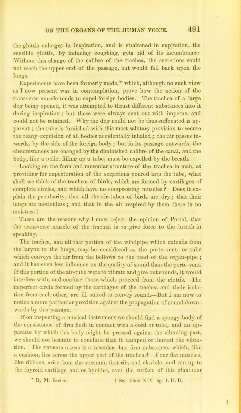 tbe glottis enlarges in inspiration, and is straitened in expiration, the sensible glottis, by inducing coughing, gets rid of its incumbrance. Without this change of the calibre of the trachea, the secretions could not reach the upper end of the passage, but would fall back upon the lungs. Experiments have been formerly made,* which, although no such view as I now present was in contemplation, prove how the action of the transverse muscle tends to expel foreign bodies. The trachea of a large dog being opened, it was attempted to thrust different substances into it during inspiration; but these were always sent out with impetus, and could not be retained. Why the dog could not be thus suffocated is ap- parent ; the tube is furnished with this most salutary provision to secure the ready expulsion of all bodies accidentally inhaled; the air passes in- wards, by the side of the foreign body; but in its passage outwards, the circumstances are changed by the diminished calibre of the canal, and the body, like a pellet filling up a tube, must be expelled by the breath. Looking on the form and muscular structure of the trachea in man, as providing for expectoration of the secretions poured into the tube, what 6hall we think of the tracheae of birds, which are formed by cartilages of complete circles, and which have no compressing muscles ? Does it ex- plain the peculiarity, that all the air-tubes of birds are dry; that their lungs are motionless ; and that in the air respired by them there is no moisture ? These are the reasons why I must reject the opinion of Portal, that the transverse muscle of the trachea is to give force to the breath in speaking. The trachea, and all that portion of the windpipe which extends from the larynx to the lungs, may be considered as the porte-vent, or tube which conveys the air from the bellows to the reed of the organ-pipe ; and it has even less influence on the quality of sound than the porte-vent. If this portion of the air-tube were to vibrate and give out sounds, it would interfere with, and confuse those which proceed from the glottis. The imperfect circle formed by the cartilages of the trachea and their isola- tion from each other, arc ill suited to convey sound.—But I am now to notice a more particular provision against the propagation of sound down- wards by this passage. If on inspecting a musical instrument we should find a spongy body of the consistence of firm flesh in contact with a cord or tube, and an ap- paratus by which this body might be pressed against the vibrating part, we should not hesitate to conclude that it damped or limited the vibra- tion. The thyroid gland is a vascular, but firm substance, which, like a cushion, lies across the upper part of the trachea.t Four flat muscles, like ribbons, arise from the sternum, first rib, and clavicle, and run up to the thyroid cartilage and os liyoidcs, over the surface of this glandular * By M. Favier. t Set) Plato XIV. tig. 1. D. 1).
