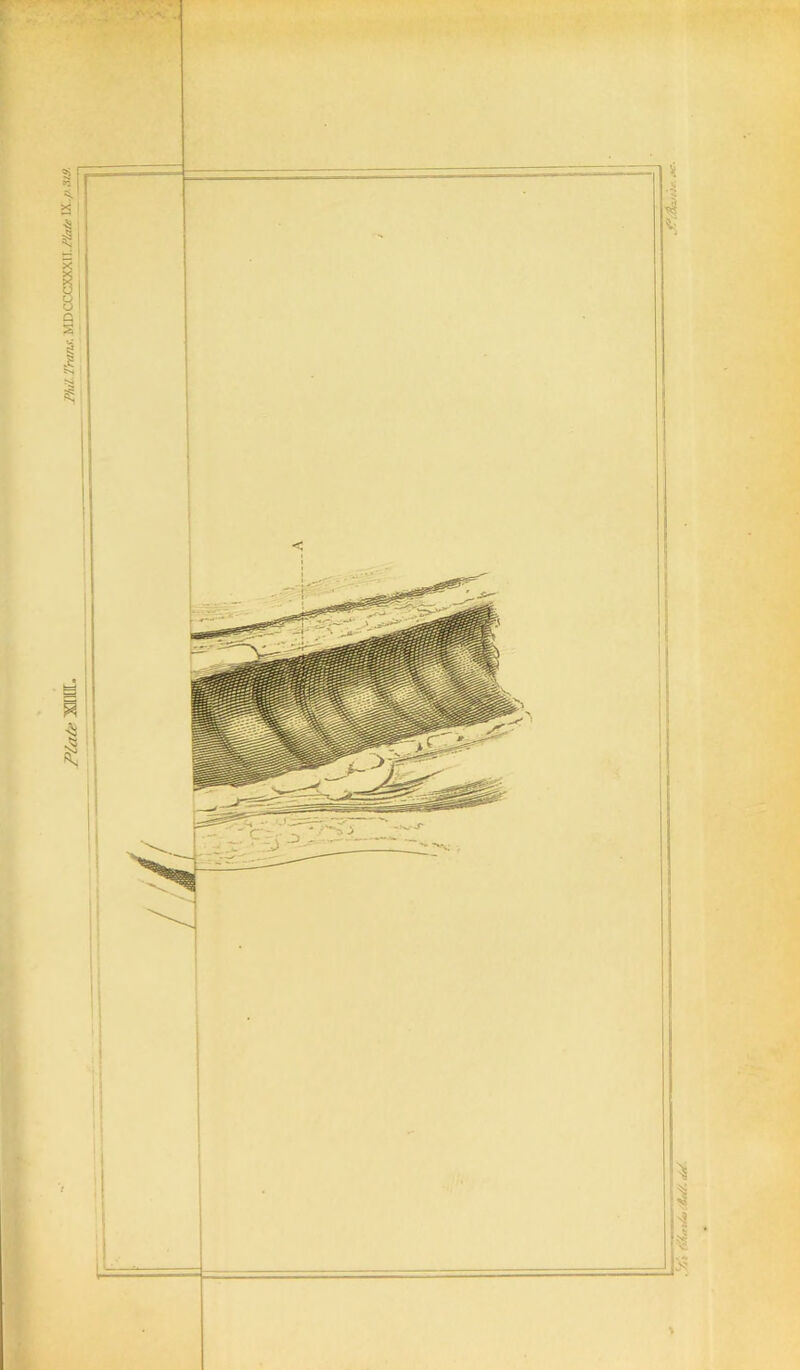 . *ft1 ftAniAu: &<//. &/.