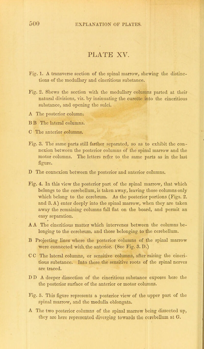 PLATE XV. Fig. 1. A transverse section of the spinal marrow., shewing the distinc- tions of the medullary and cineritious substance. Fig. 2. Shews the section with the medullary columns parted at their natural divisions, viz. by insinuating the curette into the cineritious substance, and opening the sulci. A The posterior column; B B The lateral columns. C The anterior columns. Fig. 3. The same parts still farther separated, so as to exhibit the con- nexion between the posterior columns of the spinal marrow and the motor columns. The letters refer to the same parts as in the last figure. D The connexion between the posterior and anterior columns. Fig. 4. In this view the posterior part of the spinal marrow, that which belongs to the cerebellum, is taken away, leaving those columns only which belong to the cerebrum. As the posterior portions (Figs. 2. and 3. A) enter deeply into the spinal marrow, when they are taken away the remaining columns fall flat on the board, and permit an easy separation. A A The cineritious matter which intervenes between the columns be- longing to the cerebrum, and those belonging to the cerebellum. B Projecting lines where the posterior columns of the spinal marrow were connected with, the anterior. (See Fig. 3. D.) C C The lateral columns, or sensitive columns, after raising the cineri- tious substance. Into these the sensitive roots of the spinal nerves are traced. D D A deeper dissection of the cineritious substance exposes here the the posterior surface of the anterior or motor columns. Fig. 5. This figure represents a posterior view of the upper part of the spinal marrow, and the medulla oblongata. A The two posterior columns of the spinal marrow being dissected up, they are here represented diverging towards the cerebellum at G.