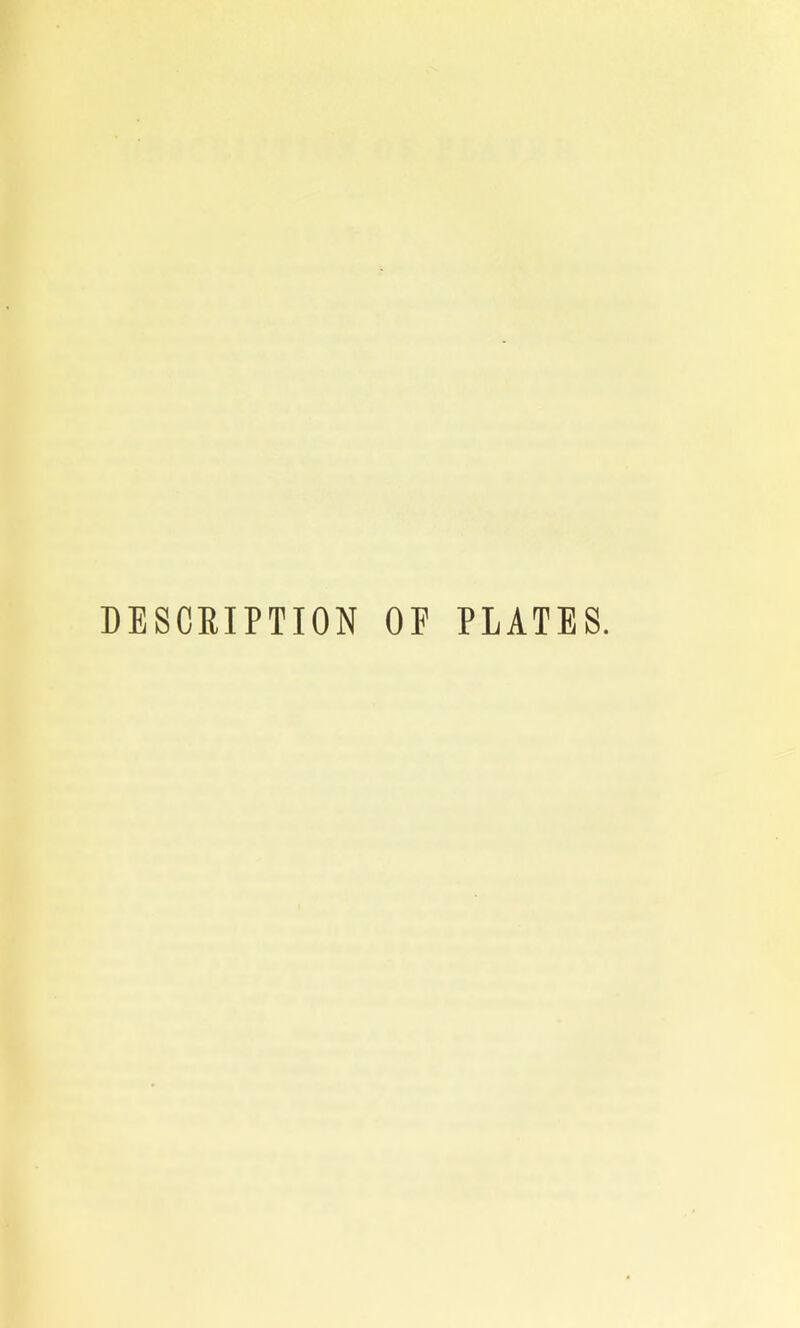 DESCRIPTION OF PLATES.