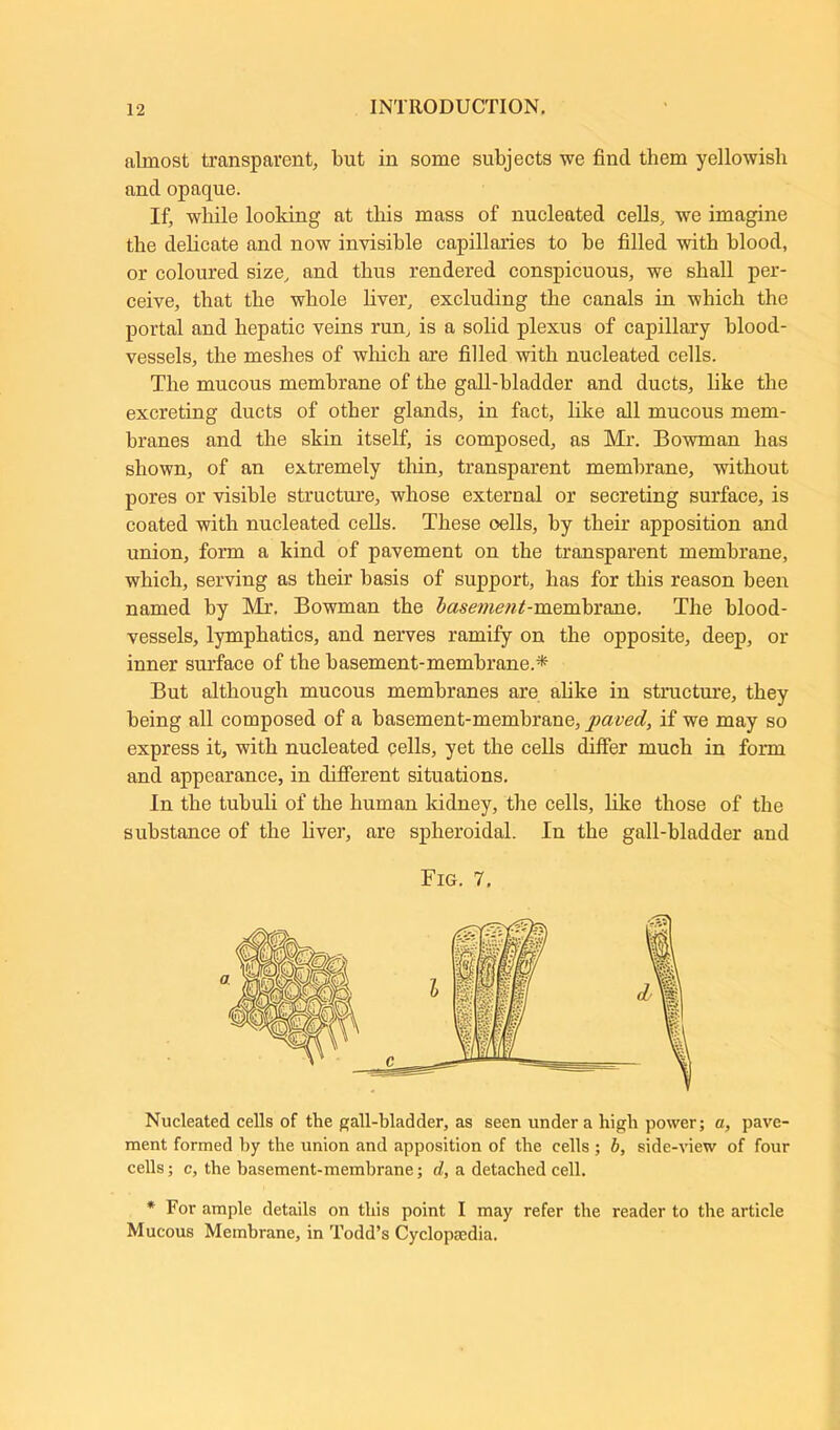 almost transparent, but in some subjects we find them yellowish and opaque. If, while looking at this mass of nucleated cells, we imagine the delicate and now invisible capillaries to be filled with blood, or coloured size, and thus rendered conspicuous, we shall per- ceive, that the whole liver, excluding the canals in which the portal and hepatic veins run, is a solid plexus of capillary blood- vessels, the meshes of which are filled with nucleated cells. The mucous membrane of the gall-bladder and ducts, like the excreting ducts of other glands, in fact, like all mucous mem- branes and the skin itself, is composed, as Mr. Bowman has shown, of an extremely thin, transparent membrane, without pores or visible structure, whose external or secreting surface, is coated with nucleated cells. These oells, by their apposition and union, form a kind of pavement on the transparent membrane, which, serving as their basis of support, has for this reason been named by Mr. Bowman the base7nent-mQmbmn.e. The blood- vessels, lymphatics, and nerves ramify on the opposite, deep, or inner surface of the basement-membrane.* But although mucous membranes are alike in structure, they being all composed of a basement-membrane, paved, if we may so express it, with nucleated cells, yet the cells differ much in form and appearance, in different situations. In the tubuli of the human kidney, the cells, like those of the substance of the liver, are spheroidal. In the gall-bladder and Fig. 7. Nucleated cells of the gall-bladder, as seen under a high power; a, pave- ment formed by the union and apposition of the cells ; b, side-view of four cells; c, the basement-membrane; d, a detached cell. * For ample details on this point I may refer the reader to the article Mucous Membrane, in Todd’s Cyclopaedia.