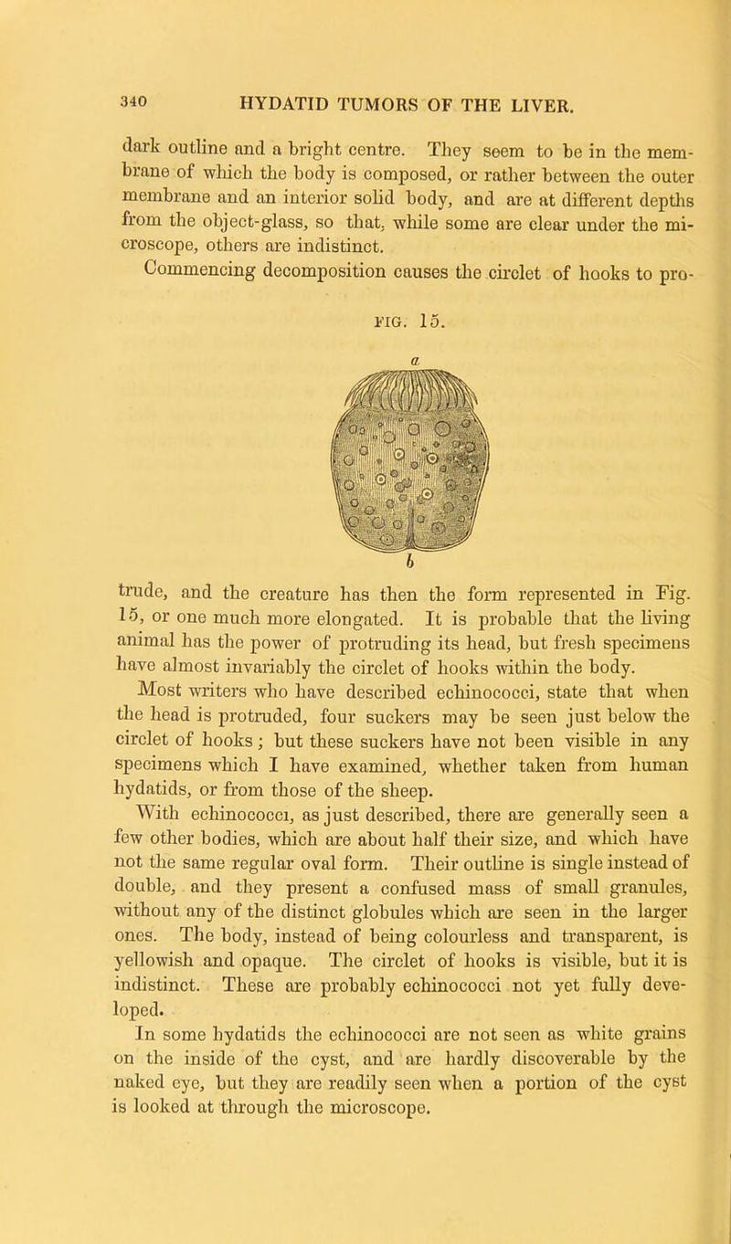 dark outline ancl a bright centre. They seem to be in the mem- brane of which the body is composed, or rather between the outer membrane and an interior solid body, and are at different depths from the object-glass, so that, while some are clear under the mi- croscope, others are indistinct. Commencing decomposition causes the circlet of hooks to pro- fig. 15. a trade, and the creature has then the form represented in Fig. 1-5, or one much more elongated. It is probable that the living animal has the power of protruding its head, but fresh specimens have almost invariably the circlet of hooks within the body. Most writers who have described echinococci, state that when the head is protruded, four suckers may be seen just below the circlet of hooks; but these suckers have not been visible in any specimens which I have examined, whether taken from human hydatids, or from those of the sheep. With echinococci, as just described, there are generally seen a few other bodies, which are about half their size, and which have not the same regular oval form. Their outline is single instead of double, and they present a confused mass of small granules, without any of the distinct globules which are seen in the larger ones. The body, instead of being colourless and transparent, is yellowish and opaque. The circlet of hooks is visible, but it is indistinct. These are probably echinococci not yet fully deve- loped. In some hydatids the echinococci are not seen as white grains on the inside of the cyst, and are hardly discoverable by the naked eye, but they are readily seen when a portion of the cyst is looked at through the microscope.