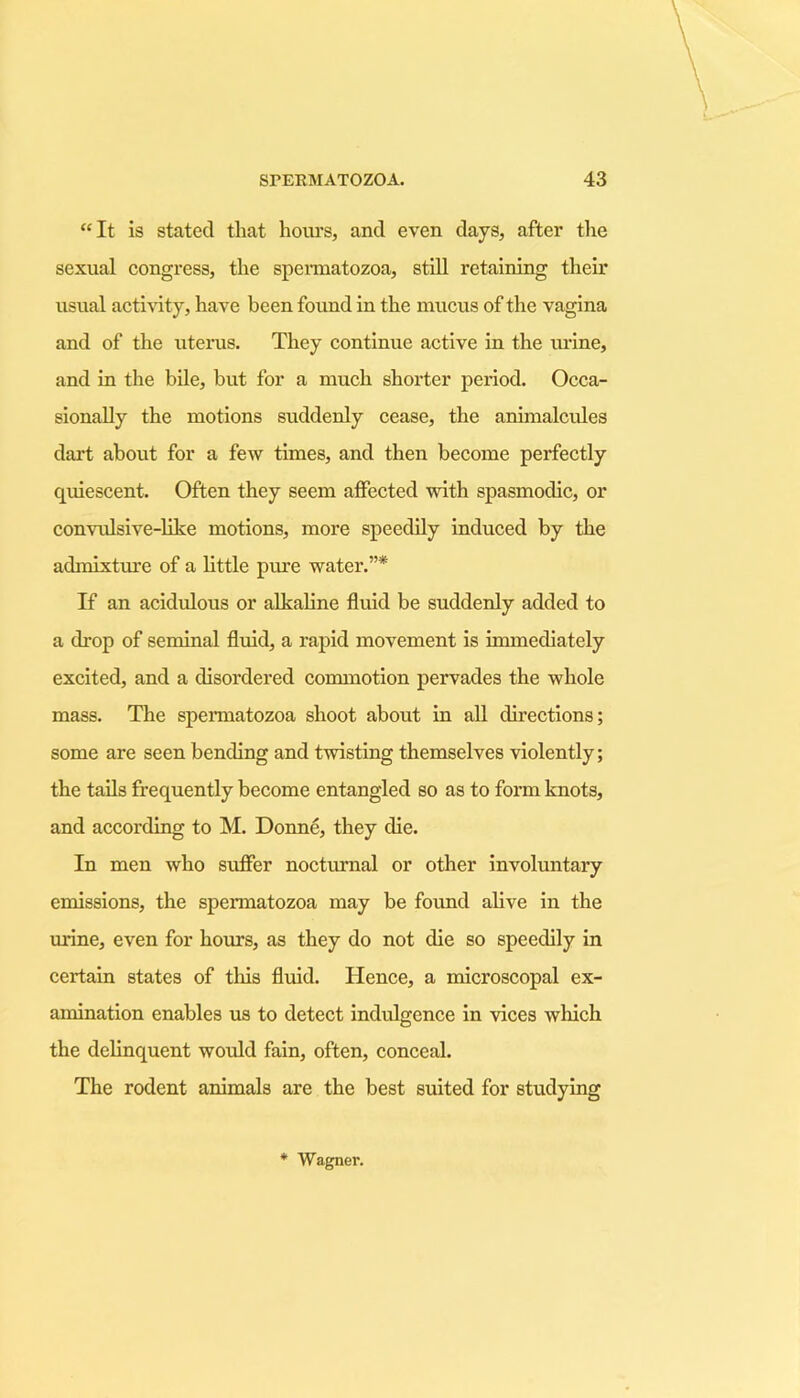 “It is stated that hours, and even days, after the sexual congress, the spermatozoa, still retaining their usual activity, have been found in the mucus of the vagina and of the uterus. They continue active in the urine, and in the bile, but for a much shorter period. Occa- sionally the motions suddenly cease, the animalcules dart about for a few times, and then become perfectly quiescent. Often they seem affected with spasmodic, or convulsive-like motions, more speedily induced by the admixture of a little pure water.”* If an acidulous or alkaline fluid be suddenly added to a drop of seminal fluid, a rapid movement is immediately excited, and a disordered commotion pervades the whole mass. The spermatozoa shoot about in all directions; some are seen bending and twisting themselves violently; the tails frequently become entangled so as to form knots, and according to M. Donne, they die. In men who suffer nocturnal or other involuntary emissions, the spermatozoa may be found alive in the mine, even for hours, as they do not die so speedily in certain states of this fluid. Hence, a microscopal ex- amination enables us to detect indulgence in vices which the delinquent would fain, often, conceal. The rodent animals are the best suited for studying * Wagner.