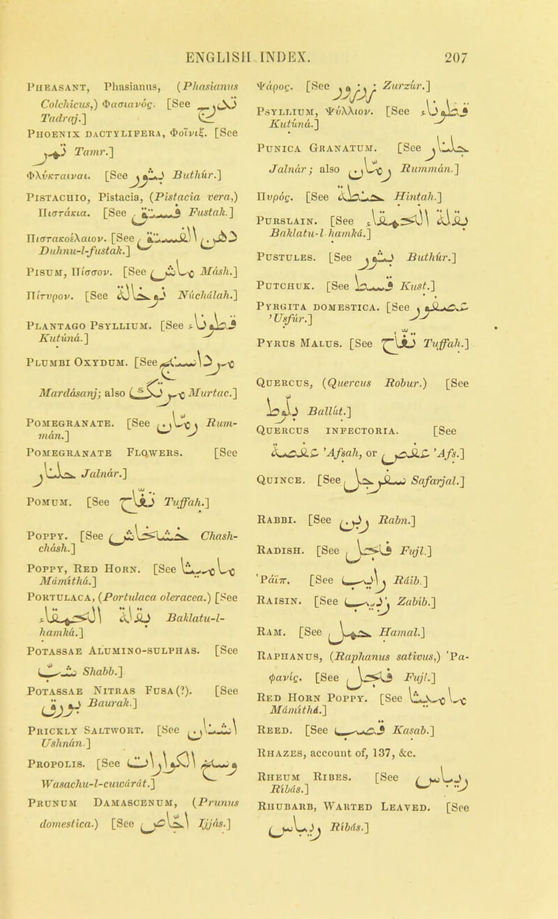1‘iiEASANT, Plmsiiiniis, {Phas'umns Colchicuxt,) ^aaiavog. [See ^ Ttidraj.^ PiiOENTX dactvlifera, <I>oTvt5. [See Tamr.'] <l>\vKran>ai. [Seej|^’I*_' JBiitMir.] PiSTACUio, Pistacia, {Pistacia vera,) JharaKia. [See . Fustak.] O niirratcoIXatoF. [SeC/ Duhnu-l-fustak.'] ^ ^ PisuM, ITi'crffov. [See ^ Mdsh.] Uirvpov. [See Nuchdlah.^ P1.ANTAG0 Psyllium. [Seeilj^.j Kutuna.~\ Plumbi OxYDUM. [See^U.«*;\.^^ Mardasanji also i v-'C 3Iurt(tc.] Pomegranate. [See / Rum- 7/idw.] ^ > Pomegranate Flqwers. [See Jalndr.] PoMDM. [See Tvffah.'\ Poppy. [See ^ Chash- chdsh.'] Poppy, Red Horn. [See Mdmitha.'\ PoKTULACA, {Portulaca oleracea.) [See Bahlatu-l- PoTAssAE Alumino-sulphas. [See Shahb.] PoTASSAE Nitras Fdsa(?). [See , i , aJ Buuralt.'] Prickly Saltwort. [See Uslindn-I \ Propolis. [See WasacJiu-l-cmodrdt.^ Prcnd.m Damascenum, {Prunus domeslica.) [See 'Fdpoe. [See .^•.•Zurzur.] 1 . I . .. Psyllium, ^aXXiop. [See f.Uai:X3 Kutuna.^ PuNicA Granatum. [See^llA.2v Jalndr; also Bumindn.] Pvpog. [See Hintah.~\ PuRSLAiN. [See *<Uib Baklatii-l haniM.'] Pustules. [See > Buthdr.'] PuTCHUK. [See !b-wi Kust.~\ PVRGITA DOMESTICA. [See 4 tSLf.CS- ’ Usfur.~\ Pyrus Malus. [See Ttiffah.] Quercus, {Quercus Robur.) [See BalUit.] _/ • Quercus infectoria. [See 'Afsali, or 'Afs.'] Quince. [See Safarjal.'] Rabbi. [See Rabn.'] Radish. [See Fuji.'] 'Pdi-rr, [See Rdlb.] Raisin. [See Zabib.] Ram. [See Hamah] Rapiianus, (Raplianus sativum,) 'Pa- (pav'ig. [See i>?^ Fuji.] Red Horn Poppy. [See Mdinithd.] Reed. [See Kasab.] Rhazes, account of, 137, &c. Rheum Ribes. [See / **jl.>j4 R'lbds.] Rhubarb, Wahted Leaved. [See Ribds.]