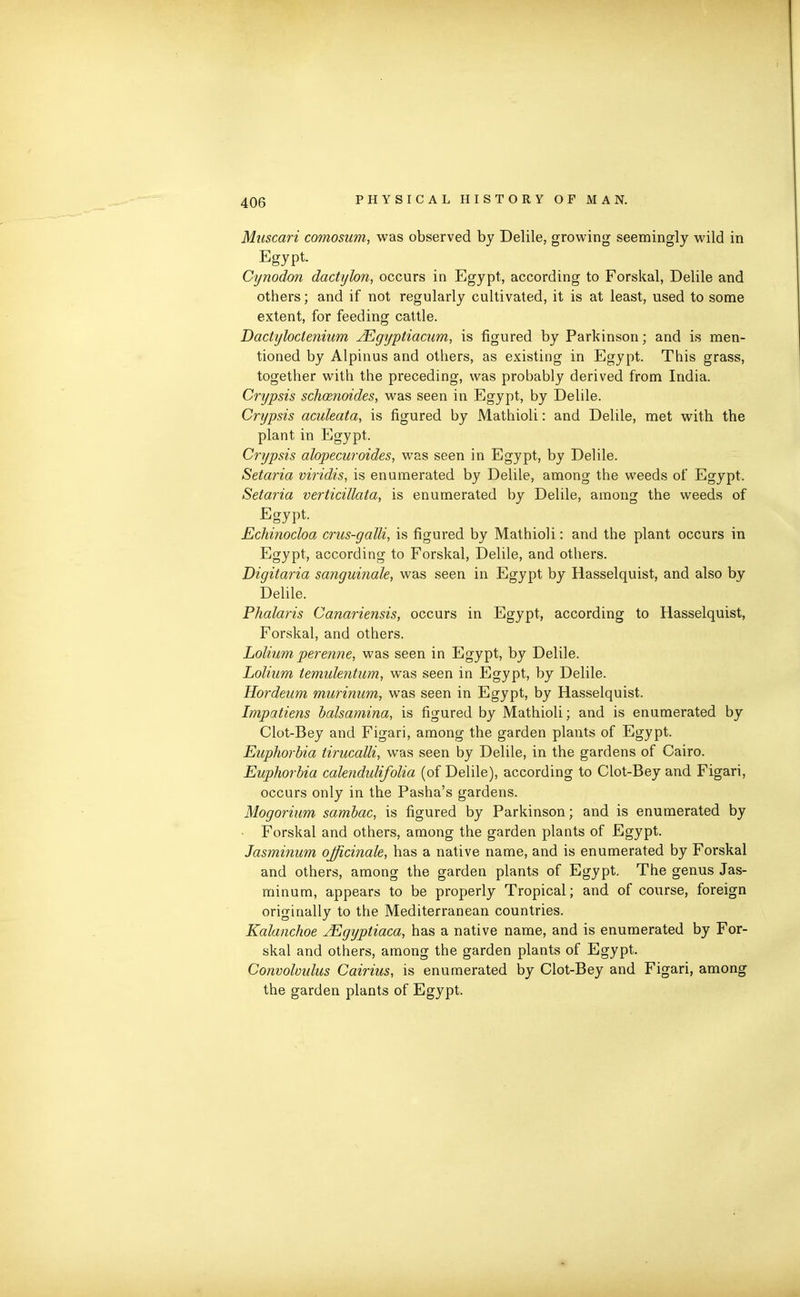 Muscari comosum, was observed by Delile, growing seemingly wild in Egypt. Cynodon dactylon, occurs in Egypt, according to Forskal, Delile and others; and if not regularly cultivated, it is at least, used to some extent, for feeding cattle. Dactyloclenium JEgyptiacum, is figured by Parkinson; and is men- tioned by Alpinus and others, as existing in Egypt. This grass, together with the preceding, was probably derived from India. Crypsis schoenoides, was seen in Egypt, by Delile. Crypsis aculeata, is figured by Mathioli: and Delile, met with the plant in Egypt. Crypsis alopecuroides, was seen in Egypt, by Delile. Setaria viridis, is enumerated by Delile, among the weeds of Egypt. Setaria verticillata, is enumerated by Delile, among the weeds of Egypt. Echinocloa crus-galli, is figured by Mathioli: and the plant occurs in Egypt, according to Forskal, Delile, and others. Digitaria sanguinale, was seen in Egypt by Hasselquist, and also by Delile. Phalaris Canariensis, occurs in Egypt, according to Hasselquist, Forskal, and others. Lolium perenne, was seen in Egypt, by Delile. Lolium temulentum, was seen in Egypt, by Delile. Hordeum murinum, was seen in Egypt, by Hasselquist. Impatiens balsamina, is figured by Mathioli; and is enumerated by Clot-Bey and Figari, among the garden plants of Egypt. Euphorbia tirucalli, was seen by Delile, in the gardens of Cairo. Euphorbia calendulifolia (of Delile), according to Clot-Bey and Figari, occurs only in the Pasha’s gardens. Mogorium sambac, is figured by Parkinson ; and is enumerated by ■ Forskal and others, among the garden plants of Egypt. Jasminum officinale, has a native name, and is enumerated by Forskal and others, among the garden plants of Egypt, The genus Jas- minum, appears to be properly Tropical; and of course, foreign originally to the Mediterranean countries. Kalanchoe JEgyptiaca, has a native name, and is enumerated by For- skal and others, among the garden plants of Egypt. Convolvulus Cairius, is enumerated by Clot-Bey and Figari, among the garden plants of Egypt.