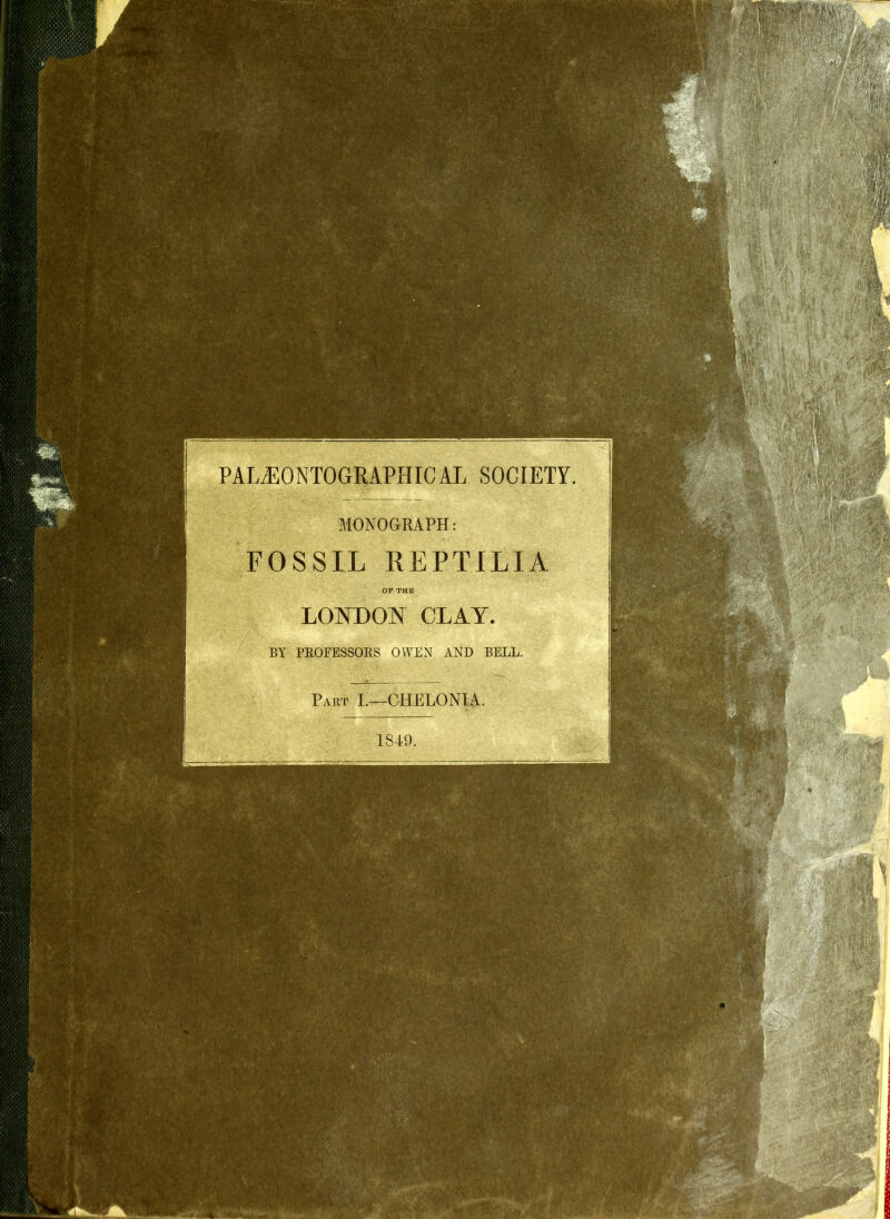 MONOGRAPH FOSSIL REPTILIA OF THE LONDON CLAY BY PROEESSOBS OWEN AND BELL, Part I.—CHELONIA