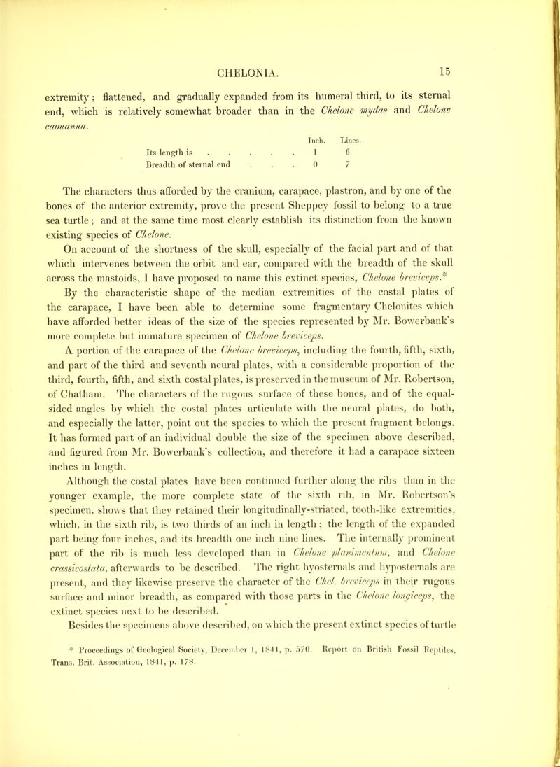 extremity ; flattened, and gradually expanded from its humeral third, to its sternal end, which is relatively somewhat broader than in the Chelone my das and Clidone caouanna. Inch. Lines. Its length is ..... 1 6 Breadth of sternal end ... 0 7 The characters thus afforded by the cranium, carapace, plastron, and by one of the bones of the anterior extremity, prove the present Sheppey fossil to belong to a true sea turtle; and at the same time most clearly establish its distinction from the known existing species of Chelone. On account of the shortness of the skull, especially of the facial part and of that which intervenes between the orbit and ear, compared with the breadth of the skull across the mastoids, I have proposed to name this extinct species, Chelone hremceps. By the characteristic shape of the median extremities of the costal plates of the carapace, I have been able to determine some fragmentary Chelonites which have afforded better ideas of the size of the species represented by Mr. Bowerbank’s more complete but immature specimen of Chelone hreviceps. A portion of the carapace of the Chelone hreviceps, including the fourth, fifth, sixth, and part of the third and seventh neural plates, with a considerable proportion of the third, fourth, fifth, and sixth costal plates, is preserved in the museum of Mr. Robertson, of Chatham. The characters of the rugous surface of these bones, and of the ecpial- sided angles by which the costal plates articulate with the neural plates, do both, and especially the latter, point out the species to which the present fragment belongs. It has formed part of an individual double the size of the specimen above described, and figured from Mr. Bowerhank’s collection, and therefore it had a carapace sixteen inches in length. Although the costal plates have been continued further along the ribs than in the younger example, the more complete state of the sixth rib, in Mr, Robertson’s specimen, shows that they retained their longitudinally-striated, tooth-like extremities, which, in the sixth rib, is two thirds of an inch in length ; the length of the expanded part being four inches, and its breadth one inch nine lines. The internally prominent part of the rib is much less developed than in Chelone planimentim, and Chelone crassicosfata, afterwards to he described. The right hyosternals and hyposternals are present, and they likewise preserve the character of the Chel. hreviceps in their rugous surface and minor breadth, as compared with those parts in the Chelone lonyiceps, the extinct species next to be descril)ed. Besides the specimens above descril^ed, on which the present extinct species of turtle * Proceedings of Geological Society, December 1, 1841, p. 5/0. Report on British Fossil Reptiles, Trans. Brit. Association, 1841, p. 1/8.