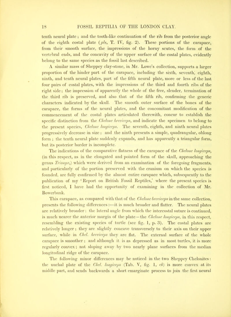 tenth neural plate ; and the tooth-like continuation of the rib from the posterior angle of the eighth costal plate (jy/s, T. IV, fig. 2). These portions of the carapace, from their smooth surface, the impressions of the horny scutes, the form of the vertebral ends, and the concavity of the upper surface of the costal plates, evidently belong to the same species as the fossil last described. A similar mass of Sheppey clay-stone, in Mr. Lowe’s collection, supports a larger proportion of the hinder part of the carapace, including the sixth, seventh, eighth, ninth, and tenth neural plates, part of the fifth neural plate, more or less of the last four pairs of costal plates, with the impressions of the third and fourth ribs of the right side; the impression of apparently the whole of the free, slender, termination of the third rib is preserved, and also that of the fifth rib, confirming the generic characters indicated by the skull. The smooth outer surface of the bones of the carapace, the forms of the neural plates, and the concomitant modification of the commeneement of the costal plates articulated therewith, concur to establish the specific distinction from the Chelone hrevicejjs, and indicate the specimen to belong to the present speeies, Chelone longlceps. The seventh, eighth, and ninth neural plates progressively deerease in size ; and the ninth presents a simple, quadrangular, oblong form ; the tenth neural plate suddenly expands, and has apparently a triangular form, but its posterior border is incomplete. The indications of the comparative flatness of the carapace of the Chelone lonpiceps, (in this respect, as in the elongated and pointed form of the skull, approaching the genus Trionyx^ which were derived from an examination of the foregoing fragments, and particularly of the portion preserved with the cranium on which the species is founded, are fully confirmed by the almost entire carapace which, subsequently to the publication of my ‘ Report on British Fossil Reptiles,’ where the present species is first noticed, I have had the opportunity of examining in the collection of Mr. Bowerbank. This carapace, as compared with that of the Chelone hreviceps in the same colleetion, presents the followfing differenees:—it is much Ijroader and flatter. The neural plates are relatively broader ; the lateral angle from which the intercostal suture is continued, is much nearer the anterior margin of the plate —the Chelone longiceps, in this respect, resembling the existing species of turtle (see fig. 1, p. 3). The costal plates are relatively longer ; they are slightly concave transversely to their axis on their upper surface, while in Chel. hreviceps they are flat. The external surface of the whole carapace is smoother ; and although it is as depressed as in most turtles, it is more regularly convex; not sloping away by two nearly plane surfaces from the median longitudinal ridge of the carapace. The following minor differences may be noticed in the two Sheppey Chelonites; the nuehal plate of the Chel. lonyiceps (Tab. V, fig. 1, chi) is more convex at its middle part, and sends backwards a short emarginate process to join the first neural