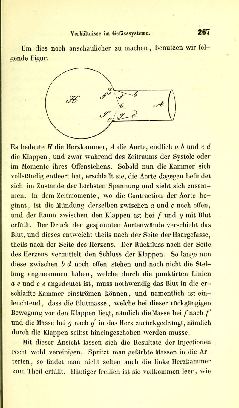 Um dies noch anschaulicher zu machen, benutzen wir fol- gende Figur. Es bedeute H die Herzkammer, A die Aorte, endlich a b und c d die Klappen, und zwar während des Zeitraums der Systole oder im Momente ihres Offenstehens. Sobald nun die Kammer sich vollständig entleert hat, erschlafft sie, die Aorte dagegen befindet sich im Zustande der höchsten Spannung und zieht sich zusam- men. In dem Zeitmomente, wo die Gontraction der Aorte be- ginnt, ist die Mündung derselben zwischen a und c noch offen, und der Raum zwischen den Klappen ist bei f und g mit Blut erfüllt. Der Druck der gespannten Aortenwände verschiebt das Blut, und dieses entweicht theils nach der Seite der Haargefässe, theils nach der Seite des Herzens. Der Rückfluss nach der Seite des Herzens vermittelt den Schluss der Klappen. So lange nun diese zwischen b d noch offen stehen und noch nicht die Stel- lung angenommen haben, welche durch die punktirten Linien a e und c e angedeutet ist, muss nothwendig das Blut in die er- schlaffte Kammer einströmen können, und namentlich ist ein- leuchtend , dass die Blutmasse , welche bei dieser rückgängigen Bewegung vor den Klappen liegt, nämlich die Masse bei fnach f' und die Masse bei g nach g in das Herz zurückgedrängt, nämlich durch die Klappen selbst hineingeschoben werden müsse. Mit dieser Ansicht lassen sich die Resultate der Injectionen recht wohl vereinigen. Spritzt man gefärbte Massen in die Ar- terien , so findet man nicht selten auch die linke Herzkammer zum Theil erfüllt. Häufiger freilich ist sie vollkommen leer, wie