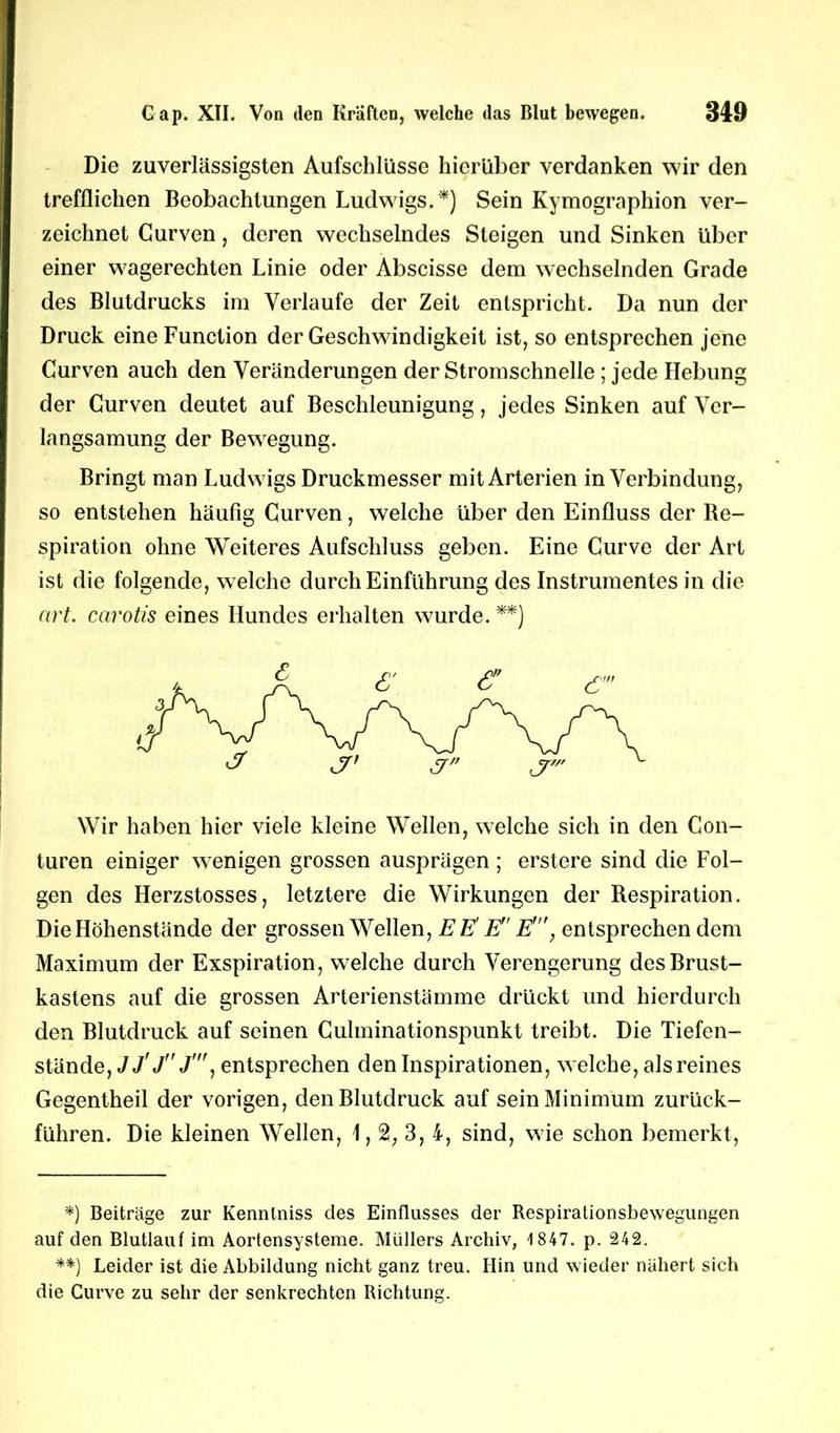 Die zuverlässigsten Aufschlüsse hierüber verdanken wir den trefflichen Beobachtungen Ludwigs.*) Sein Kymographion ver- zeichnet Curven, deren wechselndes Steigen und Sinken über einer wagerechten Linie oder Abscisse dem wechselnden Grade des Blutdrucks im Verlaufe der Zeit entspricht. Da nun der Druck eine Function der Geschwindigkeit ist, so entsprechen jene Curven auch den Veränderungen der Stromschnelle; jede Hebung der Curven deutet auf Beschleunigung, jedes Sinken auf Ver- langsamung der Bewegung. Bringt man Ludwigs Druckmesser mit Arterien in Verbindung, so entstehen häufig Curven, welche über den Einfluss der Be- spiration ohne Weiteres Aufschluss geben. Eine Curve der Art ist die folgende, welche durch Einführung des Instrumentes in die nrt. carotis eines Hundes erhalten wurde. **) Wir haben hier viele kleine Wellen, welche sich in den Con- turen einiger wenigen grossen ausprägen ; erstere sind die Fol- gen des Herzstosses, letztere die Wirkungen der Respiration. Die Höhenstände der grossen Wellen, E E' E E\ entsprechen dem Maximum der Exspiration, welche durch Verengerung des Brust- kastens auf die grossen Arterienstämme drückt und hierdurch den Blutdruck auf seinen Culminationspunkt treibt. Die Tiefen- stände, JJ'J' Jentsprechen den Inspirationen, welche, als reines Gegentheil der vorigen, den Blutdruck auf sein Minimum zurück- führen. Die kleinen Wellen, 1,2, 3, 4, sind, wie schon bemerkt, *) Beiträge zur Kennlniss des Einflusses der Respirationsbewegungen auf den Blutlauf im Aortensysteme. Müllers Archiv, 1 847. p. 242. **) Leider ist die Abbildung nicht ganz treu. Hin und wieder nähert sich die Curve zu sehr der senkrechten Richtung.