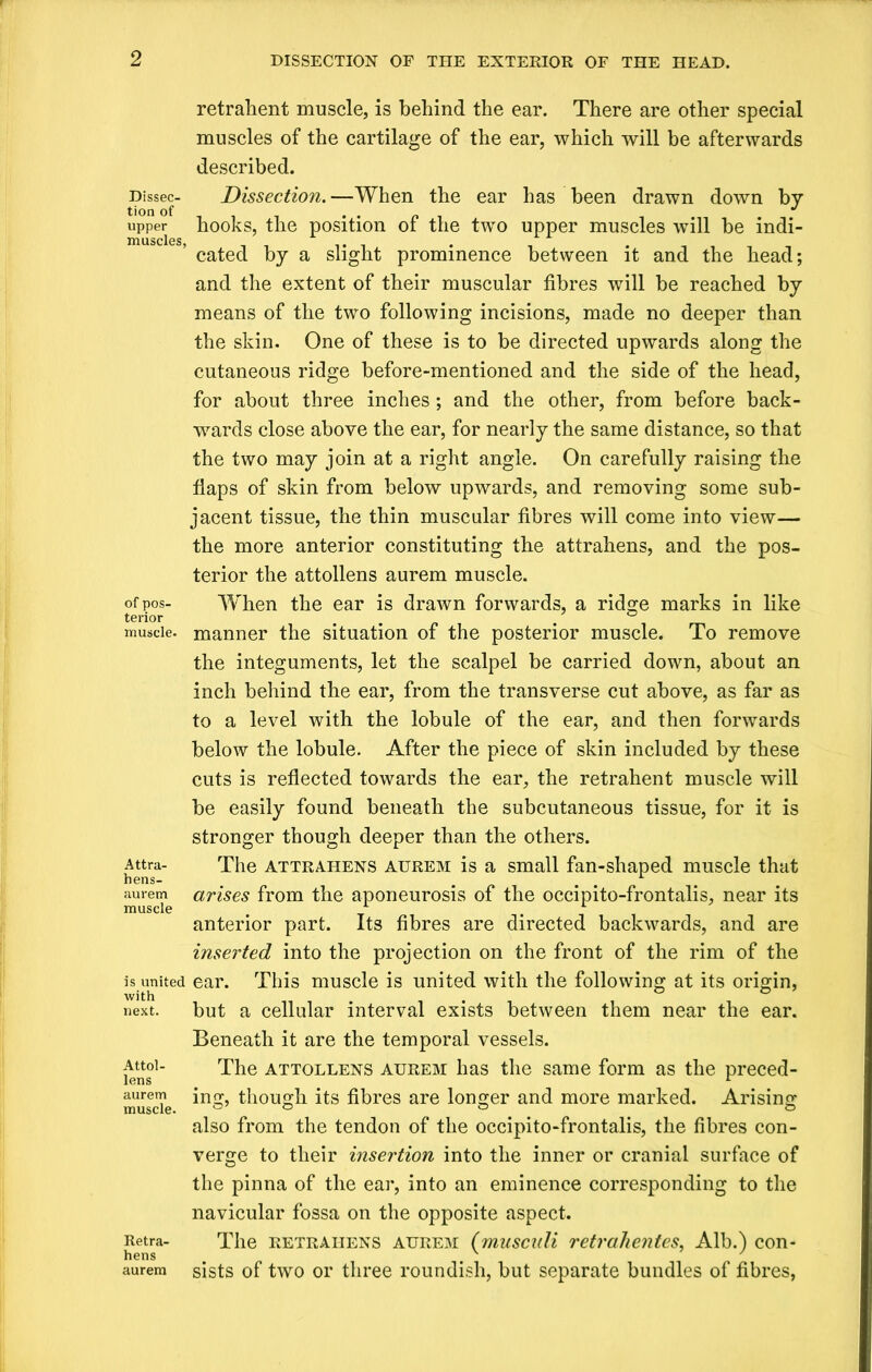 Dissec- tion of upper muscles, of pos- terior muscle. Attra- hens- aurem muscle is united with next. Attol- lens aurem muscle. Retra- hens aurem retrahent muscle, is behind the ear. There are other special muscles of the cartilage of the ear, which will be afterwards described. Dissection.—When the ear has been drawn down by hooks, the position of the two upper muscles will be indi- cated by a slight prominence between it and the head; and the extent of their muscular fibres will be reached by means of the two following incisions, made no deeper than the skin. One of these is to be directed upwards along the cutaneous ridge before-mentioned and the side of the head, for about three inches; and the other, from before back- wards close above the ear, for nearly the same distance, so that the two may join at a right angle. On carefully raising the flaps of skin from below upwards, and removing some sub- jacent tissue, the thin muscular fibres will come into view— the more anterior constituting the attrahens, and the pos- terior the attollens aurem muscle. When the ear is drawn forwards, a ridge marks in like manner the situation of the posterior muscle. To remove the integuments, let the scalpel be carried down, about an inch behind the ear, from the transverse cut above, as far as to a level with the lobule of the ear, and then forwards below the lobule. After the piece of skin included by these cuts is reflected towards the ear, the retrahent muscle will be easily found beneath the subcutaneous tissue, for it is stronger though deeper than the others. The attrahens aurem is a small fan-shaped muscle that arises from the aponeurosis of the occipito-frontalis, near its anterior part. Its fibres are directed backwards, and are inserted into the projection on the front of the rim of the ear. This muscle is united with the following at its origin, but a cellular interval exists between them near the ear. Beneath it are the temporal vessels. The attollens aurem has the same form as the preced- ing, though its fibres are longer and more marked. Arising also from the tendon of the occipito-frontalis, the fibres con- verge to their insertion into the inner or cranial surface of the pinna of the ear, into an eminence corresponding to the navicular fossa on the opposite aspect. The retrahens aurem (musculi retralientes, Alb.) con- sists of two or three roundish, but separate bundles of fibres,