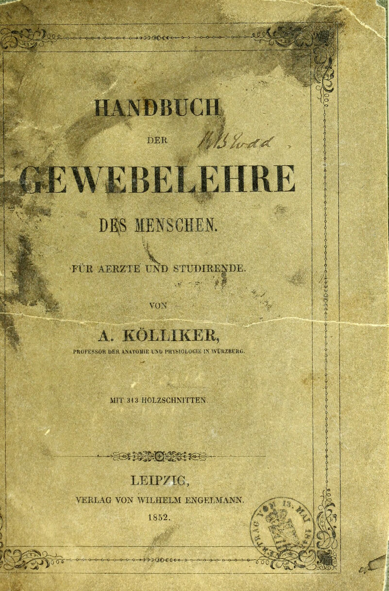 DER FÜR AERZTE UND STUDIRENDE A. KOLIilKER PROFESSOfi DER ANATOMIE UND PHYbIOLOGlE IN WÜRZBERG, MIT 313 HOLZSCHNITTEN. '(T<Ts- LEIPZIG, VERLAG VON ^LHELM ENGELMANN. 1852. b ^