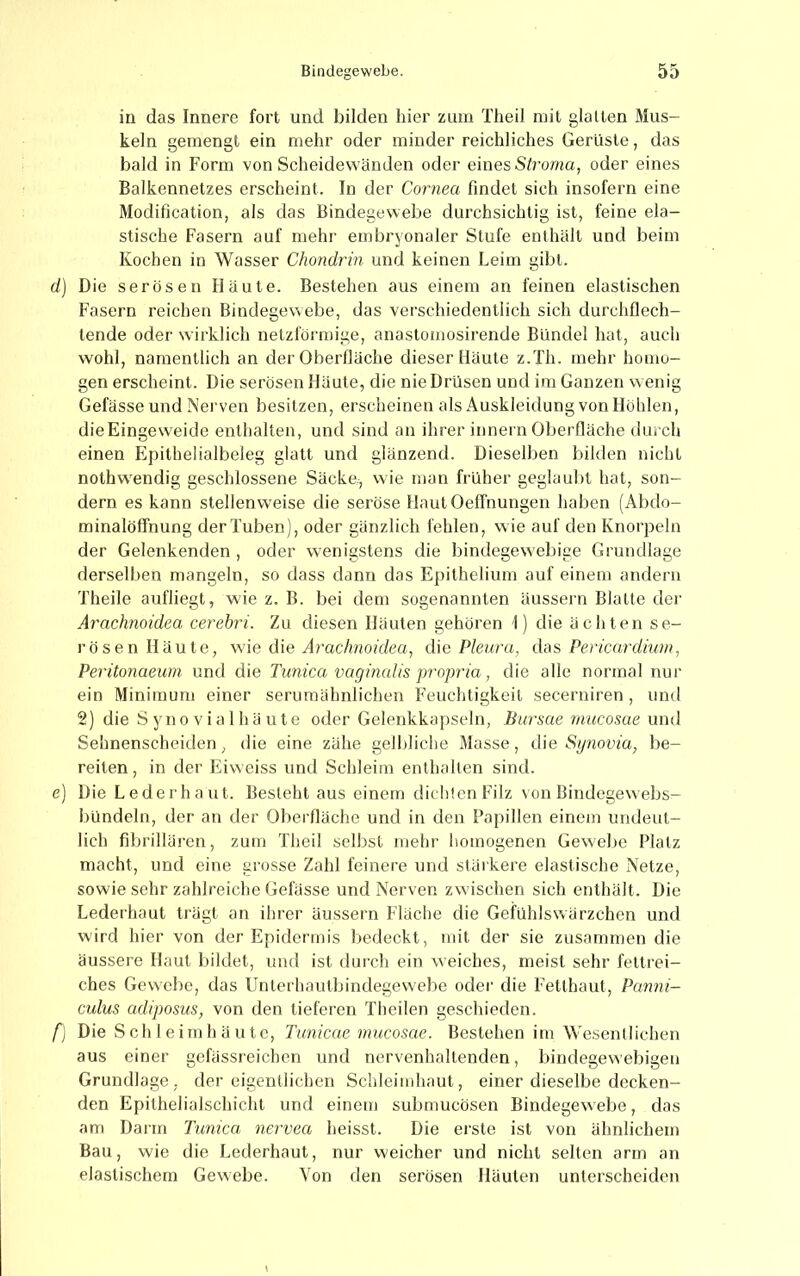 in das Innere fort und bilden hier zürn Theil mit glatten Mus- keln gemengt ein mehr oder minder reichliches Gerüste, das bald in Form von Scheidewänden oder eines Sh'oma, oder eines Balkennetzes erscheint. In der Cornea findet sich insofei'n eine Modification, als das Bindegewebe durchsichtig ist, feine ela- stische Fasern auf mehr embryonaler Stufe enthält und beim Kochen in Wasser Chondrin und keinen Leim gibt. d] Die serösen Häute. Bestehen aus einem an feinen elastischen Fasern reichen Bindegewebe, das vei’schiedentlich sich durchflech- tende oder wii’klich netzförmige, anaslornosii’ende Bündel hat, auch wohl, namentlich an der Oberfläche dieser Häute z.Th. mehr homo- gen erscheint. Die serösen Häute, die nie Drüsen und ira Ganzen wenig Gefässe und Nerven besitzen, erscheinen als Auskleidung von Höhlen, dieEingeweide enthalten, und sind an ihrer innern Oberfläche durch einen Epitheiialbeleg glatt und glänzend. Dieselben bilden nicht nothw'endig geschlossene Säcke., wie man früher geglaubt hat, son- dern es kann stellenweise die seröse IlautOeffnungen haben (Abdo- minalöffnung der Tuben), oder gänzlich fehlen, wie auf den Knorpeln der Gelenkenden, oder wenigstens die bindegewebige Grundlage derselben mangeln, so dass dann das Epithelium auf einem andern Theile aufliegt, wie z. B. bei dem sogenannten äussern Blatte der Arachnoidea cerebri. Zu diesen Häuten gehören I) die ächten se- rösen Häute, wie die Arachnoidea., die Pleura, das Pericardiwn, Peritonaeum und die Ttmica vaginalis propria, die alle normal nur ein Minimum einer serumähnlichen Feuchtigkeit secerniren, und 2) die S yn 0 V i a 1 h ä u te oder Gelenkkapseln, Burscte mucosae und Sehnenscheiden, die eine zähe gelbliche Masse, d\e Sijnovia, be- reiten, in der Eiweiss und Schleim enthalten sind. e] Die Le der haut. Besieht aus einem dichten Filz von Bindegewebs- bündeln, der an der Oberfläche und in den Papillen einem undeut- lich fibrillären, zum Theil selbst mehr homogenen Gewebe Platz macht, und eine grosse Zahl feinere und stärkere elastische Netze, sowie sehr zahlreiche Gefässe und Nerven zwischen sich enthält. Die Lederhaut trägt an ihrer äussern Fläclie die Gefühlswärzchen und wird hier von der Epidermis bedeckt, mit der sie zusammen die äussere Haut bildet, und ist durch ein weiches, meist sehr fettrei- ches Gewebe, das Unterhautbindegew'ebc oder die Fetlhaut, Panni- culus adiposus, von den tieferen Theilen geschieden. f] Die Sch 1 eimh ä u te, Tunicae mucosae. Bestehen im Wesentlichen aus einer gefässreichen und nervenhallenden, bindegewebigen Grundlage, der eigentlichen Schleimhaut, einer dieselbe decken- den Epithelialschicht und einem submucösen Bindegewebe, das am Darm Tnnica nervea heisst. Die erste ist von ähnlichem Bau, wie die Lederhaut, nur weicher und nicht selten arm an elastischem Gewebe. Von den serösen Häuten unterscheiden