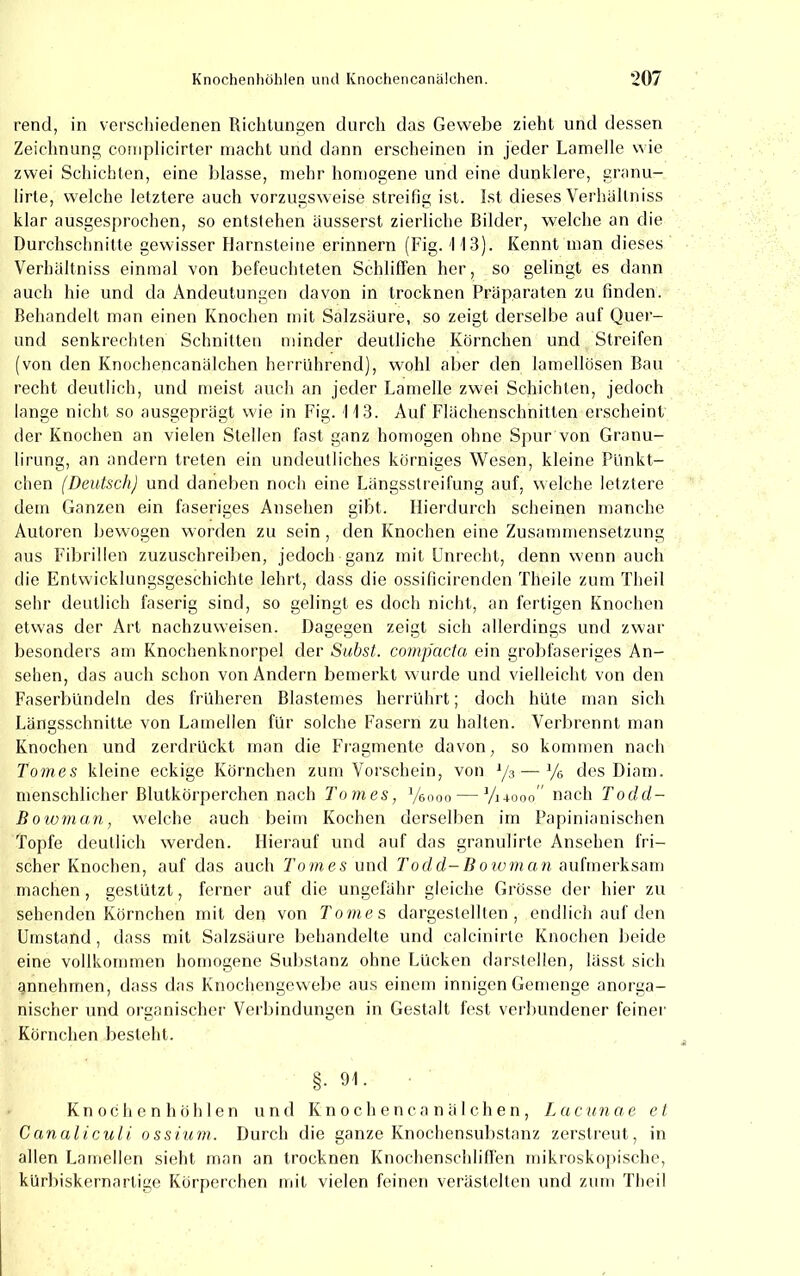 rend, in verschiedenen Richtungen durch das Gewebe zieht und dessen Zeichnung coniplicirter macht und dann erscheinen in jeder Lamelle wie zwei Schichten, eine blasse, mehr homogene und eine dunklere, granu- lirte, welche letztere auch vorzugsweise streifig ist. Ist dieses Verhällniss klar ausgesprochen, so entstehen äusserst zierliche Bilder, welche an die Durchschnitte gewisser Harnsteine erinnern (Fig. 113). Kennt man dieses Verhältniss einmal von befeuchteten Schliffen her, so gelingt es dann auch hie und da Andeutungen davon in trocknen Präparaten zu finden. Behandelt man einen Knochen mit Salzsäure, so zeigt derselbe auf Quer- und senkrechten Schnitten minder deutliche Körnchen und Streifen (von den Knochencanälchen herrührend), wohl aber den lamellösen Bau recht deutlich, und meist auch an jeder Lamelle zwei Schichten, jedoch lange nicht so ausgeprägt wie in Fig. 113. Auf Flächenschnitten erscheint der Knochen an vielen Stellen fast ganz homogen ohne Spur von Granu- lirung, an andern treten ein undeutliches körniges Wesen, kleine Pünkt- chen (Deutsch) und daneben noch eine Längsstreifung auf, welche letztere dem Ganzen ein faseriges Ansehen gibt. Hierdurch scheinen manche Autoren bewogen worden zu sein , den Knochen eine Zusammensetzung aus Fdbrillen zuzuschreiben, jedoch ganz mit Unrecht, denn wenn auch die Entwicklungsgeschichte lehrt, dass die ossificirenden Theile zum Theil sehr deutlich faserig sind, so gelingt es doch nicht, an fertigen Knochen etwas der Art nachzuweisen. Dagegen zeigt sich allerdings und zwar besonders am Knochenknorpel der Subst. compacta ein grobfaseriges An- sehen, das auch schon von Andern bemerkt wurde und vielleicht von den Faserbündeln des früheren Blastemes herrührt; doch hüte man sich Längsschnitte von Lamellen für solche Fasern zu halten. Verbrennt man Knochen und zerdrückt man die Fh'agmente davon, so kommen nach Tomes kleine eckige Körnchen zum Vorschein, von */3 — Ye des Diam. menschlicher Blutkörperchen nach Tomes, Veoon — V14000” nach Todd- Boioman, welche auch beim Kochen derselben im Papinianischen Topfe deutlich werden. Hierauf und auf das granulirte Ansehen fri- scher Knochen, auf das auch Z’o/nes und Todd-Bowman üwUnevksfww machen , gestützt, ferner auf die ungefähr gleiche Grösse der hier zu sehenden Körnchen mit den von Tomes dargestellten, endlich auf den Utnstand, dass mit Salzsäure behandelte und calcinirte Knochen beide eine vollkommen homogene Substanz ohne Lücken darstellen, lässt sich gnnehmen, dass das Knochengewebe aus einem innigen Getnenge anorga- nischer und organischer Verbindungen in Gestalt fest verbundener feiner Körnchen besteht. §. 91. KnochenhöhIen und Knochencanälchen, Lacunoe et Canaliculi ossium. Durch die ganze Knochensubstanz zerstreut, in allen Lamellen sieht man an trocknen Knochenschliff'en mikrosko])ische, kürbiskernartige Körperchen mit vielen feinen verästelten und zum Theil