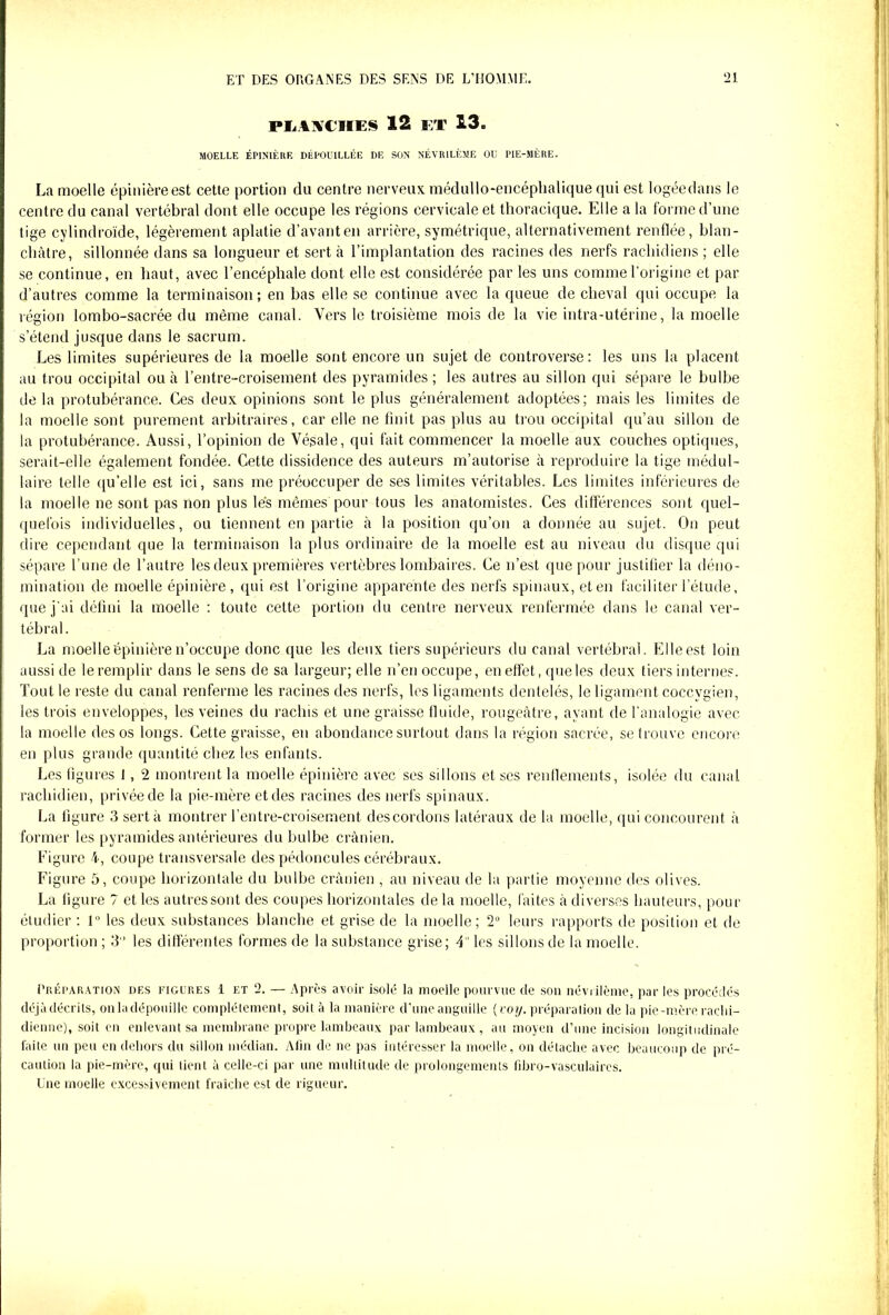 PLANCHES 12 ET 13. MOELLE ÉPINIÈRE DÉPOUILLÉE DE SON NÉVIULÈME OU PIE-MÈRE. La moelle épinière est cette portion du centre nerveux médullo-encéphalique qui est logéedans le centre du canal vertébral dont elle occupe les régions cervicale et thoracique. Elle a la forme d’une tige cylindroïde, légèrement aplatie d’avanten arrière, symétrique, alternativement renflée, blan- châtre, sillonnée dans sa longueur et sert à l’implantation des racines des nerfs rachidiens ; elle se continue, en haut, avec l’encéphale dont elle est considérée par les uns comme l’origine et par d’autres comme la terminaison; en bas elle se continue avec la queue de cheval qui occupe la région lombo-sacrée du même canal. Vers le troisième mois de la vie intra-utérine, la moelle s’étend jusque dans le sacrum. Les limites supérieures de la moelle sont encore un sujet de controverse: les uns la placent au trou occipital ou à l’entre-croisement des pyramides ; les autres au sillon qui sépare le bulbe delà protubérance. Ces deux opinions sont le plus généralement adoptées; mais les limites de la moelle sont purement arbitraires, car elle ne finit pas plus au trou occipital qu’au sillon de la protubérance. Aussi, l’opinion de Vésale, qui fait commencer la moelle aux couches optiques, serait-elle également fondée. Cette dissidence des auteurs m’autorise à reproduire la tige médul- laire telle qu’elle est ici, sans me préoccuper de ses limites véritables. Les limites inférieures de la moelle ne sont pas non plus lés mêmes pour tous les anatomistes. Ces différences sont quel- quefois individuelles, ou tiennent en partie à la position qu’on a donnée au sujet. On peut dire cependant que la terminaison la plus ordinaire de la moelle est au niveau du disque qui sépare l’une de l’autre les deux premières vertèbres lombaires. Ce n’est que pour justifier la déno- mination de moelle épinière, qui est l’origine apparente des nerfs spinaux, et en faciliter l’étude, que j'ai défini la moelle : toute cette portion du centre nerveux renfermée dans le canal ver- tébral. La moelle épinière n’occupe donc que les deux tiers supérieurs du canal vertébral. Elle est loin aussi de le remplir dans le sens de sa largeur; elle n’en occupe, en effet, que les deux tiers internes. Tout le reste du canal renferme les racines des nerfs, les ligaments dentelés, le ligament coccvgien, les trois enveloppes, les veines du rachis et une graisse fluide, rougeâtre, ayant de l’analogie avec la moelle des os longs. Cette graisse, en abondance surtout dans la région sacrée, se trouve encore en plus grande quantité chez les enfants. Les figures J, 2 montrent la moelle épinière avec ses sillons et ses renflements, isolée du canal rachidien, privée de la pie-mère et des racines des nerfs spinaux. La figure 3 sert à montrer Centre-croisement, des cordons latéraux de la moelle, qui concourent à former les pyramides antérieures du bulbe crânien. Figure 4, coupe transversale des pédoncules cérébraux. Figure ô, coupe horizontale du bulbe crânien , au niveau de la partie moyenne des olives. La figure 7 et les autres sont des coupes horizontales de la moelle, faites à diverses hauteurs, pour étudier : 1° les deux substances blanche et grise de la moelle; 2° leurs rapports de position et de proportion ; 3 les différentes formes de la substance grise; 4 les sillons de la moelle. Préparation des figures 1 et 2. — Après avoir isolé la moelle pourvue de son névrilème, par les procédés déjà décrits, on la dépouille complètement, soit à la manière d’une anguille (roi/, préparation de la pie-mère rachi- dienne), soit en enlevant sa membrane propre lambeaux par lambeaux , au moyen d’une incision longitudinale faite un peu en dehors du sillon médian. Afin de ne pas intéresser la moelle, on détache avec beaucoup de pré- caution la pie-mère, qui lient à celle-ci par une multitude de prolongements fibro-vasculaires. Une moelle excessivement fraîche est de rigueur.