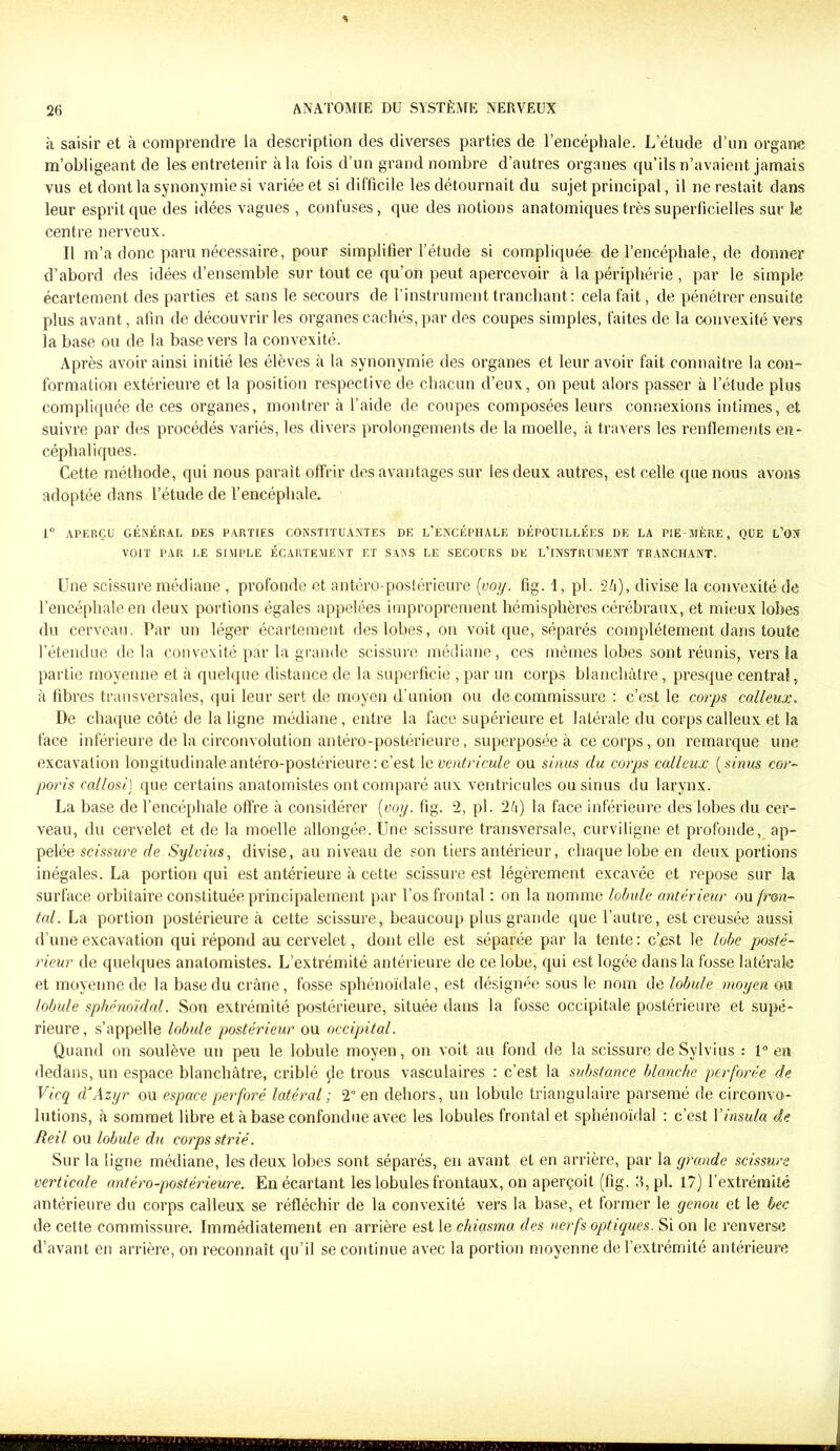 à saisir et à comprendre la description des diverses parties de l’encéphale. L’étude d’un organe m’obligeant de les entretenir à la fois d’un grand nombre d’autres organes qu’ils n’avaient jamais vus et dont la synonymie si variée et si difficile les détournait du sujet principal, il ne restait dans leur esprit que des idées vagues , confuses, que des notions anatomiques très superficielles sur le centre nerveux. Il m’a donc paru nécessaire, pour simplifier l’étude si compliquée de l’encéphale, de donner d’abord des idées d’ensemble sur tout ce qu’on peut apercevoir à la périphérie , par le simple écartement des parties et sans le secours de l’instrument tranchant: cela fait, de pénétrer ensuite plus avant, afin de découvrir les organes cachés, par des coupes simples, faites de la convexité vers la base ou de la base vers la convexité. Après avoir ainsi initié les élèves à la synonymie des organes et leur avoir fait connaître la con- formation extérieure et la position respective de chacun d’eux, on peut alors passer à l’étude plus compliquée de ces organes, montrer à l’aide de coupes composées leurs connexions intimes, et suivre par des procédés variés, les divers prolongements de la moelle, à travers les renflements en- céphaliques. Cette méthode, qui nous paraît offrir des avantages sur les deux autres, est celle que nous avons adoptée dans l’étude de l’encéphale. 1° APERÇU GÉNÉRAL DES PARTIES CONSTITUANTES DE L'ENCÉPHALE DÉPOUILLÉES DE LA PIE-MÈRE, QUE L’ON VOIT PAR LE SIMPLE ÉCARTEMENT ET SANS LE SECOURS DE L’INSTRUMENT TRANCHANT. Une scissure médiane , profonde et antéro-postérieure {voy. fig. 1, pl. 21\), divise la convexité de l’encéphale en deux portions égales appelées improprement hémisphères cérébraux, et mieux lobes du cerveau. Par un léger écartement des lobes, on voit que, séparés complètement dans toute l’étendue delà convexité par la grande scissure médiane, ces mêmes lobes sont réunis, vers la partie moyenne et à quelque distance de la superficie , par un corps blanchâtre, presque central, à fibres transversales, qui leur sert de moyen d’union ou de commissure : c’est le corps calleux. De chaque côté de la ligne médiane, entre la face supérieure et latérale du corps calleux et la face inférieure de la circonvolution antéro-postérieure, superposée à ce corps, on remarque une excavation longitudinale antéro-postérieure: c’est le ventricule ou sinus du corps calleux (sinus cor- poris callosi) que certains anatomistes ont comparé aux ventricules ou sinus du larynx. La base de l’encéphale offre à considérer {voy. fig. 2, pl. 2â) la face inférieure des lobes du cer- veau, du cervelet et de la moelle allongée. Une scissure transversale, curviligne et profonde, ap- pelée scissure de Sylvius, divise, au niveau de son tiers antérieur, chaque lobe en deux portions inégales. La portion qui est antérieure à cette scissure est légèrement excavée et repose sur la surface orbitaire constituée principalement par l’os frontal : on la nomme lobule antérieur ou fron- tal. La portion postérieure à cette scissure, beaucoup plus grande que l’autre, est creusée aussi d’une excavation qui répond au cervelet, dont elle est séparée par la tente: c’,est le lobe posté- rieur de quelques anatomistes. L’extrémité antérieure de ce lobe, qui est logée dans la fosse latérale et moyenne de la base du crâne, fosse sphénoïdale, est désignée sous le nom de lobule moyen ou lobule sphénoïdal. Son extrémité postérieure, située dans la fosse occipitale postérieure et supé- rieure , s’appelle lobule postérieur ou occipital. Quand on soulève un peu le lobule moyen, on voit au fond de la scissure de Sylvius : 1° en dedans, un espace blanchâtre, criblé çle trous vasculaires : c’est la substance blanche perforée de Vicq à‘Azyr ou espace perforé latéral ; T en dehors, un lobule triangulaire parsemé de circonvo- lutions, à sommet libre et à base confondue avec les lobules frontal et sphénoïdal : c’est Yinsula de Reil ou lobule du corps strié. Sur la ligne médiane, les deux lobes sont séparés, en avant et en arrière, par la grande scissure verticale antéro-postérieure. En écartant les lobules frontaux, on aperçoit (fig. R, pl. 17) l’extrémité antérieure du corps calleux se réfléchir de la convexité vers la base, et former le genou et le bec de cette commissure. Immédiatement en arrière est le chiasma des nerfs optiques. Si on le renverse d’avant en arrière, on reconnaît qu’il se continue avec la portion moyenne de l’extrémité antérieure