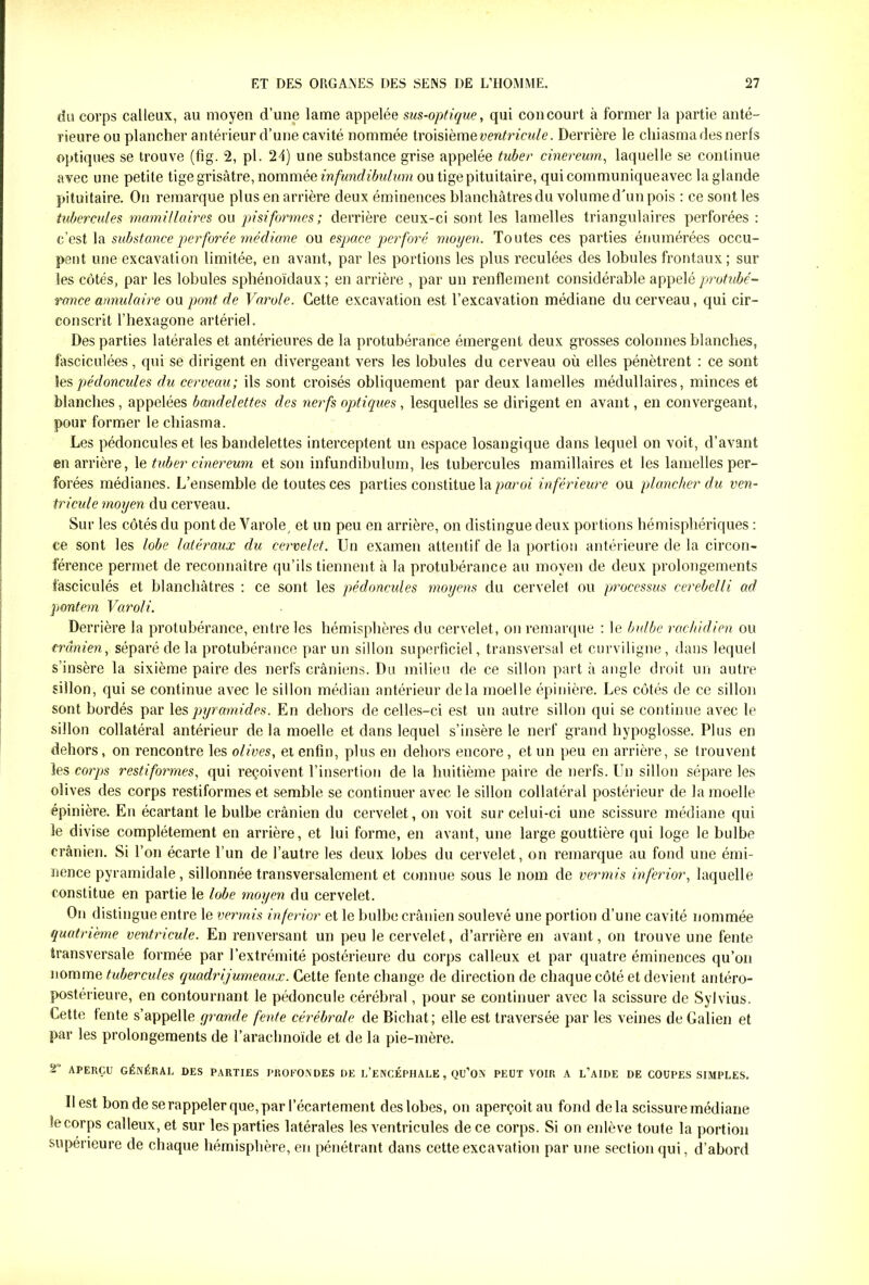 du corps calleux, au moyen d’une lame appelée sus-optique, qui concourt à former la partie anté- rieure ou plancher antérieur d’une cavité nommée troisième ventricule. Derrière le chiasma des nerfs optiques se trouve (fig. 2, pl. 24) une substance grise appelée tuber cinereum, laquelle se continue avec une petite tige grisâtre, nommée infundibulum ou tige pituitaire, qui communique avec la glande pituitaire. On remarque plus en arrière deux éminences blanchâtres du volume d'un pois : ce sont les tubercules mamillaires ou pisiformes; derrière ceux-ci sont les lamelles triangulaires perforées : c’est la substance perforée médiane ou espace perforé moyen. Toutes ces parties énumérées occu- pent une excavation limitée, en avant, par les portions les plus reculées des lobules frontaux; sur les côtés, par les lobules sphénoïdaux; en arrière , par un renflement considérable appelé protubé- rance annulaire on pont de Varole. Cette excavation est l’excavation médiane du cerveau, qui cir- conscrit l’hexagone artériel. Des parties latérales et antérieures de la protubérance émergent deux grosses colonnes blanches, fâsciculées, qui se dirigent en divergeant vers les lobules du cerveau où elles pénètrent : ce sont les pédoncules du cerveau; ils sont croisés obliquement par deux lamelles médullaires, minces et blanches, appelées bandelettes des nerfs optiques, lesquelles se dirigent en avant, en convergeant, pour former le chiasma. Les pédoncules et les bandelettes interceptent un espace losangique dans lequel on voit, d’avant en arrière, le tuber cinereum et son infundibulum, les tubercules mamillaires et les lamelles per- forées médianes. L’ensemble de toutes ces parties constitue la paroi inférieure ou plancher du ven- tricule moyen du cerveau. Sur les côtés du pont de Varole, et un peu en arrière, on distingue deux portions hémisphériques : ce sont les lobe latéraux du cervelet. Un examen attentif de la portion antérieure de la circon- férence permet de reconnaître qu’ils tiennent à la protubérance au moyen de deux prolongements îasciculés et blanchâtres : ce sont les pédoncules moyens du cervelet ou processus cerebelli ad pontem Varoli. Derrière la protubérance, entre les hémisphères du cervelet, on remarque : le bulbe rachidien ou crânien, séparé de la protubérance par un sillon superficiel, transversal et curviligne, dans lequel s’insère la sixième paire des nerfs crâniens. Du milieu de ce sillon part à angle droit un autre sillon, qui se continue avec le sillon médian antérieur delà moelle épinière. Les côtés de ce sillon sont bordés par les pyramides. En dehors de celles-ci est un autre sillon qui se continue avec le sillon collatéral antérieur de la moelle et dans lequel s’insère le nerf grand hypoglosse. Plus en dehors, on rencontre les olives, et enfin, plus en dehors encore, et un peu en arrière, se trouvent les corps restiformes, qui reçoivent l’insertion de la huitième paire de nerfs. Un sillon sépare les olives des corps restiformes et semble se continuer avec le sillon collatéral postérieur de la moelle épinière. En écartant le bulbe crânien du cervelet, on voit sur celui-ci une scissure médiane qui le divise complètement en arrière, et lui forme, en avant, une large gouttière qui loge le bulbe crânien. Si l’on écarte l’un de l’autre les deux lobes du cervelet, on remarque au fond une émi- nence pyramidale, sillonnée transversalement et connue sous le nom de vermis inferior, laquelle constitue en partie le lobe moyen du cervelet. On distingue entre le vermis inferior et le bulbe crânien soulevé une portion d’une cavité nommée quatrième ventricule. En renversant un peu le cervelet, d’arrière en avant, on trouve une fente transversale formée par l’extrémité postérieure du corps calleux et par quatre éminences qu’on nomme tubercules quadrijumeaux. Cette fente change de direction de chaque côté et devient antéro- postérieure, en contournant le pédoncule cérébral, pour se continuer avec la scissure de Sylvius. Cette fente s’appelle grande fente cérébrale de Bichat; elle est traversée par les veines de Galien et par les prolongements de l’arachnoïde et de la pie-mère. T APERÇU GÉNÉRAL DES PARTIES PROFONDES DE L’ENCÉPHALE , QU’ON PEUT VOIR A L’AIDE DE COUPES SIMPLES. llest bon de se rappeler que, par l’écartement des lobes, on aperçoit au fond delà scissure médiane le corps calleux, et sur les parties latérales les ventricules de ce corps. Si on enlève toute la portion supérieure de chaque hémisphère, en pénétrant dans cette excavation par une section qui, d’abord