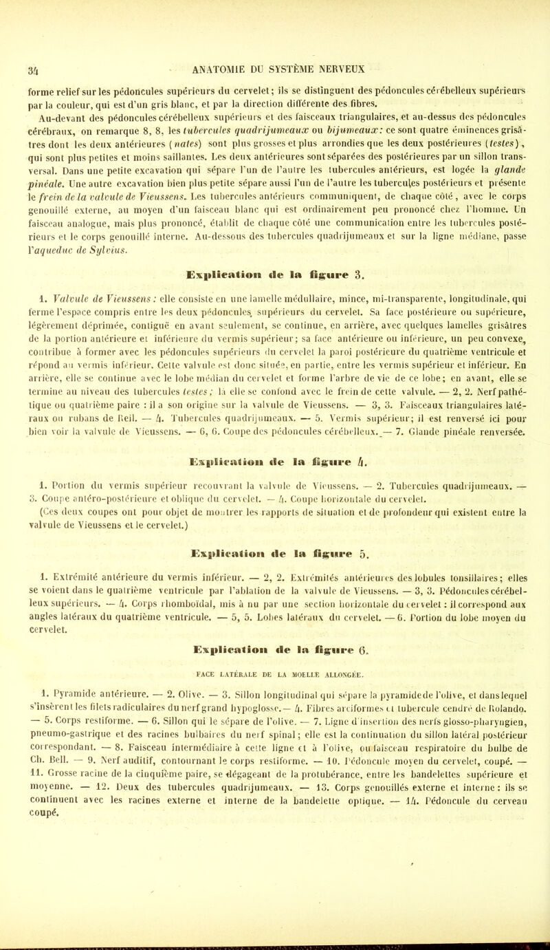 forme relief sur les pédoncules supérieurs du cervelet; ils se distinguent des pédoncules cérébelleux supérieurs par la couleur, qui est d’un gris blanc, et par la direction différente des fibres. Au-devant des pédoncules cérébelleux supérieurs et des faisceaux triangulaires, et au-dessus des pédoncules cérébraux, on remarque 8, 8, les tubercules quadrijumeaux ou bijumeaux: ce sont quatre éminences grisâ- tres dont les deux antérieures (notes) sont plus grosses et plus arrondies que les deux postérieures (lestes), qui sont plus petites et moins saillantes. Les deux antérieures sont séparées des postérieures par un sillon trans- versal. Dans une petite excavation qui sépare l'un de l’autre les tubercules antérieurs, est logée la glande pinéale. Une autre excavation bien plus petite sépare aussi l’un de l’autre les tubercules postérieurs et présente le frein delà valvule de Vieussens» Les tubercules antérieurs communiquent, de chaque côté, avec le corps genouillé externe, au moyen d'un faisceau blanc qui est ordinairement peu prononcé chez l’homme. Un faisceau analogue, mais plus prononcé, établit de chaque côté une communication entre les tubercules posté- rieurs et le corps genouillé interne. Au-dessous des tubercules quadrijumeaux et sur la ligne médiane, passe Yaqueduc de Sylvius. Explication de la figure 3. 1. Valvule de Vieussens: elle consiste en une lamelle médullaire, mince, mi-transparente, longitudinale, qui ferme l’espace compris entre les deux pédoncules, supérieurs du cervelet. Sa face postérieure ou supérieure, légèrement déprimée, contiguë en avant seulement, se continue, en arrière, avec quelques lamelles grisâtres de la portion antérieure et inférieure du vermis supérieur; sa face antérieure ou inférieure, un peu convexe, contribue â former avec les pédoncules supérieurs du cervelet la paroi postérieure du quatrième ventricule et répond au vermis inférieur. Cette valvule est donc située, eh partie, entre les vermis supérieur et inférieur. En arrière, elle se continue avec le lobe médian du cervelet et forme l’arbre de vie de ce lobe; en avant, elle se termine au niveau des tubercules lestes ; la elle se confond avec le frein de cette valvule. — 2, 2. Nerf pathé- tique ou quatrième paire : il a son origine sur la valvule de Vieussens. — 3, 3. Faisceaux triangulaires laté- raux ou rubans de if ci I. — h. Tubercules quadrijumeaux. — 5. Vermis supérieur; il est renversé ici pour bien voir la valvule de Vieussens. — 6, G. Coupe des pédoncules cérébelleux._— 7. Glande pinéale renversée. Explication «le la figure Zj. 1. Portion du vermis supérieur recouvrant la valvule de Vieussens. — 2. Tubercules quadrijumeaux. — 3. Coupe antéro-postérieure et oblique du cervelet. — L\. Coupe horizontale du cervelet. (Ces deux coupes ont pour objet de montrer les rapports de situation et de profondeur qui existent entre la valvule de Vieussens et le cervelet.) Explication «le la figure 5. 1. Extrémité antérieure du vermis inférieur. — 2, 2. Extrémités antérieures des lobules tonsillaires ; elles se voient dans le quatrième ventricule par l’ablation de la valvule de Vieussens.—3, 3. Pédoncules cérébel- leux supérieurs. — Zi. Corps rhomboïdal, mis à nu par une section horizontale du cervelet; il correspond aux angles latéraux du quatrième ventricule. — 5, 5. Loties latéraux du cervelet. — G. Portion du lobe moyen du cervelet. Explication «le la figure 6. FACE LATÉRALE DE LA MOELLE ALLONGÉE. 1. Pyramide antérieure. — 2. Olive. — 3. Sillon longitudinal qui sépare la pyramidede l’olive, et danslequel s’insèrent les filets radiculaires du nerf grand hypoglosse.— h. Fibres arciformes ci tubercule cendré de Rolanclo. — 5. Corps restiforme. — 6. Sillon qui le sépare de l’olive. — 7. Ligne d insertion des nerfs glosso-pharyngien, pneumo-gastrique et des racines bulbaires du nerf spinal; elle est la continuation du sillon latéral postérieur correspondant. —8. Faisceau intermédiaire à cette ligne et à l’olive, ou faisceau respiratoire du bulbe de Ch. Bell. — 9. Nerf auditif, contournant le corps restiforme. — 10. Pédoncule moyen du cervelet, coupé. — 11. Grosse racine de la cinquième paire, se dégageant de la protubérance, entre les bandelettes supérieure et moyenne. — 12. Deux des tubercules quadrijumeaux. — 13. Corps gcnouillés externe et interne ; ils se continuent avec les racines externe et interne de la bandelette optique. — 14. Pédoncule du cerveau coupé.