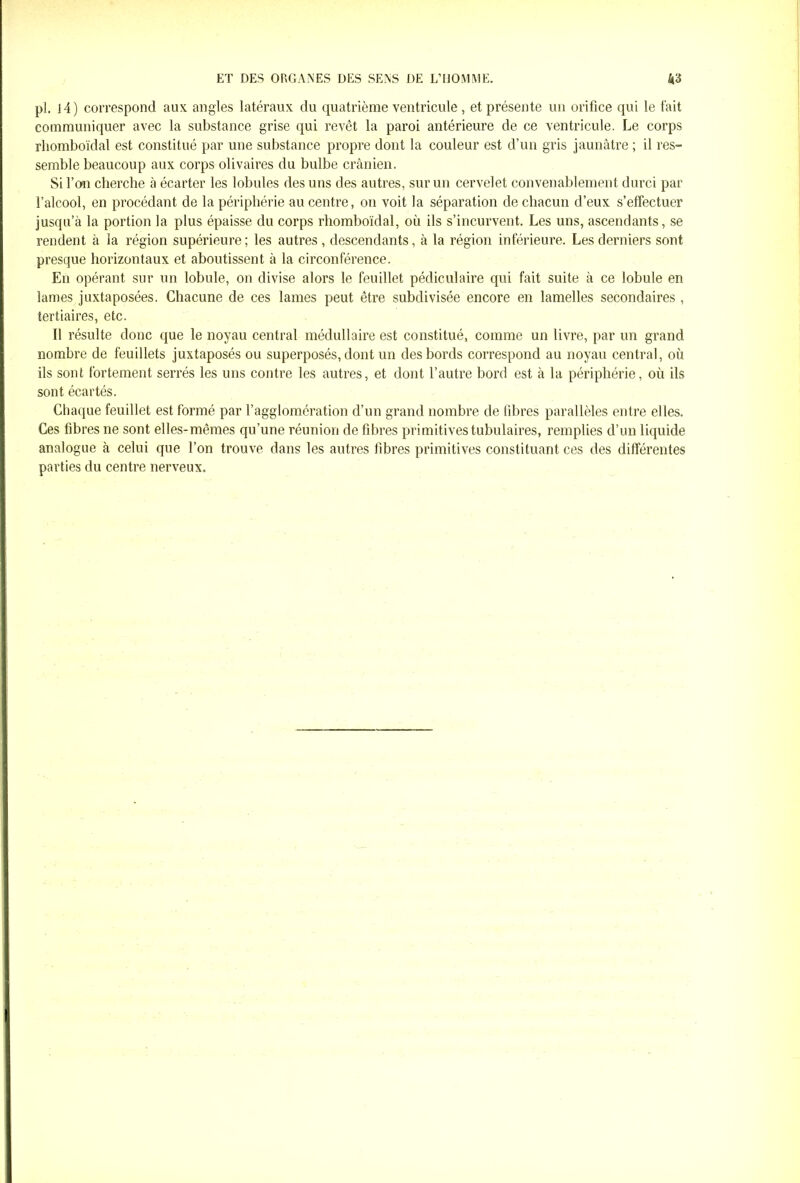 pi. 14) correspond aux angles latéraux du quatrième ventricule, et présente un orifice qui le fait communiquer avec la substance grise qui revêt la paroi antérieure de ce ventricule. Le corps rhomboïdal est constitué par une substance propre dont la couleur est d’un gris jaunâtre ; il res- semble beaucoup aux corps olivaires du bulbe crânien. Si l’on cherche à écarter les lobules des uns des autres, sur un cervelet convenablement durci par l’alcool, en procédant de la périphérie au centre, on voit la séparation de chacun d’eux s’effectuer jusqu’à la portion la plus épaisse du corps rhomboïdal, où ils s’incurvent. Les uns, ascendants, se rendent à la région supérieure; les autres, descendants, à la région inférieure. Les derniers sont presque horizontaux et aboutissent à la circonférence. En opérant sur un lobule, on divise alors le feuillet pédiculaire qui fait suite à ce lobule en lames juxtaposées. Chacune de ces lames peut être subdivisée encore en lamelles secondaires, tertiaires, etc. Il résulte donc que le noyau central médullaire est constitué, comme un livre, par un grand nombre de feuillets juxtaposés ou superposés, dont un des bords correspond au noyau central, où ils sont fortement serrés les uns contre les autres, et dont l’autre bord est à la périphérie, où ils sont écartés. Chaque feuillet est formé par l’agglomération d’un grand nombre de fibres parallèles entre elles. Ces fibres ne sont elles-mêmes qu’une réunion de fibres primitives tubulaires, remplies d’un liquide analogue à celui que l’on trouve dans les autres fibres primitives constituant ces des différentes parties du centre nerveux.