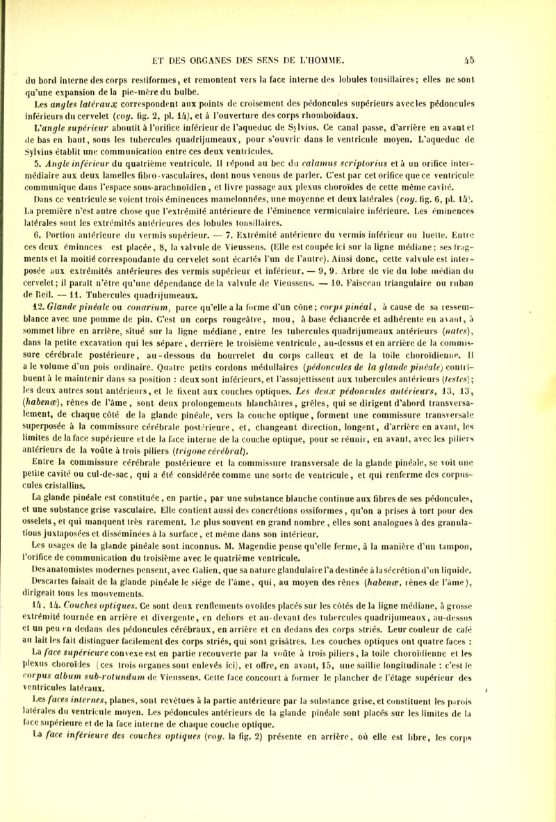 du bord interne des corps resliformes, et remontent vers la face interne des lobules tonsiilaires; elles ne sont qu’une expansion delà pie-mère du bulbe. Les angles latéraux correspondent aux points de croisement des pédoncules supérieurs avec les pédoncules inférieurs du cervelet (cog. fig. 2, pl. 14), et à l’ouverture des corps rhomboïdaux. L'angle supérieur aboutit à l’orifice inférieur de l’aqueduc de Sjlvius. Ce canal passe, d’arrière en avant et de bas en haut, sous les tubercules quadrijumeaux, pour s’ouvrir dans le ventricule moyen. L’aqueduc de Sylvius établit une communication entre ces deux ventricules. 5. Angle inférieur An quatrième ventricule. 11 répond au bec du calamus scriptorius et à un orifice inter- médiaire aux deux lamelles fibro-vasculaires, dont nous venons de parler. C’est par cet orifice que ce ventricule communique dans l’espace sous-arachnoïdien , et livre passage aux plexus choroïdes de cette même cavité. Dans ce ventricule se voient trois éminences mamelonnées, une moyenne et deux latérales (coy. fig. 6, pl. 14). La première n’est autre chose que l’extrémité antérieure de l’éminence vermiculaire inférieure. Les éminences latérales sont les extrémités antérieures des lobules tonsiilaires. C. Portion antérieure du vermis supérieur. — 7. Extrémité antérieure du vermis inférieur ou luette. Entre ces deux éminnees est placée, 8, la valvule de Vieussens. (Elle est coupée ici sur la ligne médiane; ses frag- ments et la moitié correspondante du cervelet sont écartés l’un de l’autre). Ainsi donc, cette valvule est inter- posée aux extrémités antérieures des vermis supérieur et inférieur. — 9, 9. Arbre de vie du lobe médian du cervelet; il paraît n’êlre qu’une dépendance delà valvule de Vieussens. — 10. Faisceau triangulaire ou ruban de Reil. — 11. Tubercules quadrijumeaux. 12. Glande pinéale ou conarium, parce qu’elle a la forme d’un cône; corpspinéal, à cause de sa ressem- blance avec une pomme de pin. C’est un corps rougeâtre, mou, à base écliancrée et adhérente en avant, à sommet libre en arrière, situé sur la ligne médiane , entre les tubercules quadrijumeaux antérieurs (nalcs), dans la petite excavation qui les sépare, derrière le troisième ventricule, au-dessus et en arrière de la commis- sure cérébrale postérieure, au-dessous du bourrelet du corps calleux et de la toile choroïdienne. 11 a le volume d’un pois ordinaire. Quatre petits cordons médullaires (pédoncules de la glande pinéale) contri- buent à le maintenir dans sa position : deux sont inférieurs, et l’assujettissent aux tubercules antérieurs (lestes); les deux autres sont antérieurs, et le fixent aux couches optiques. Les deux pédoncules antérieurs, 13, 13, (habenœ), rênes de l’âme, sont deux prolongements blanchâtres, grêles, qui se dirigent d’abord transversa- lement, de chaque côté de la glande pinéale, vers la couche optique, forment une commissure transversale superposée à la commissure cérébrale postérieure, et, changeant direction, longent, d’arrière en avant, les limites de la face supérieure et de la face interne de la couche optique, pour se réunir, en avant, avec les piliers antérieurs de la voûte à trois piliers (trigone cérébral). Entre la commissure cérébrale postérieure et la commissure transversale de la glande pinéale, se voit une petite cavité ou cul-de-sac, qui a été considérée comme une sorte de ventricule, et qui renferme des corpus- cules cristallins. La glande pinéale est constituée , en partie, par une substance blanche continue aux fibres de ses pédoncules, et une substance grise vasculaire. Elle contient aussi des concrétions ossiformes, qu’on a prises à tort pour des osselets, et qui manquent très rarement. Le plus souvent en grand nombre , elles sont analogues à des granula- tions juxtaposées et disséminées à la surface, et même dans son intérieur. Les usages de la glande pinéale sont inconnus. M. Magendie pense qu’elle ferme, à la manière d’un tampon, l’orifice de communication du troisième avec le quatrième ventricule. Desanatomistes modernes pensent, avec Galien, que sa nature glandulaire l’a destinée à la sécrétion d’un liquide. Descartes faisait de la glande pinéale le siège de l’âme, qui, au moyen des rênes (habenæ, rênes de l’âme), dirigeait tous les mouvements. 14, 14. Couches optiques. Ce sont deux renflements ovoïdes placés sur les côtés de la ligne médiane, à grosse extrémité tournée en arrière et divergente, en dehors et au-devant des tubercules quadrijumeaux, au-dessus et un peu en dedans des pédoncules cérébraux, en arrière et en dedans des corps striés. Leur couleur de calé an lait les fait distinguer facilement des corps striés, qui sont grisâtres. Les couches optiques ont quatre faces : La face supérieure convexe est en partie recouverte par la voûte à trois piliers, la toile choroïdienne et les plexus choroïdes (ces trois organes sont enlevés ici), et offre, en avant, 15, une saillie longitudinale : c’est le corpus album sub-rotundum de Vieussens. Celte l'ace concourt à former le plancher de l’étage supérieur des ventricules latéraux. Les faces internes, planes, sont revêtues à la partie antérieure par la substance grise, et constituent les parois latérales du ventricule moyen. Les pédoncules antérieurs de la glande pinéale sont placés sur les limites de la lace supérieure et de la face interne de chaque couche optique. La face inférieure des couches optiques (,voy. la fig. 2) présente en arrière, où elle est libre, les corps