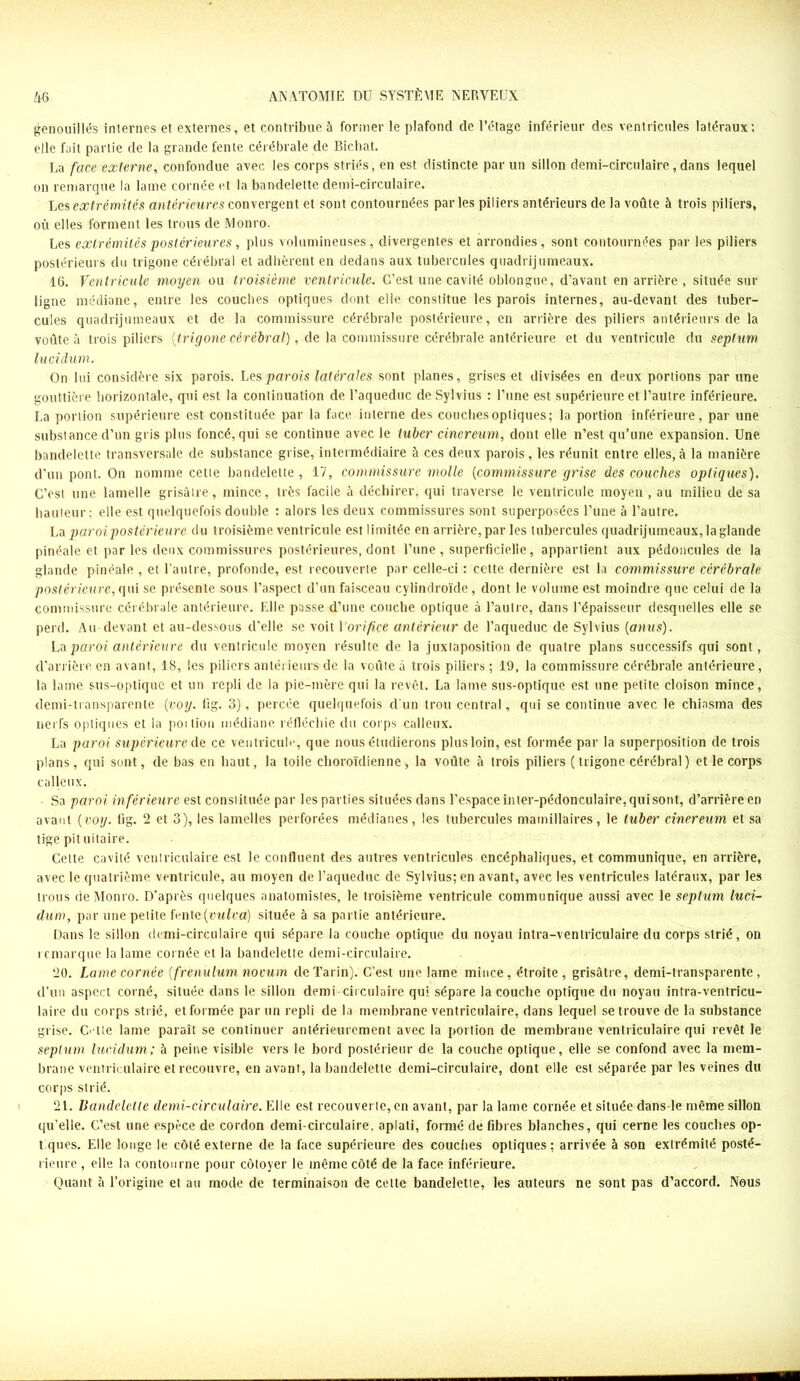 genouillés internes et externes, et contribue à former le plafond de l’étage inférieur des ventricules latéraux; elle fait partie de la grande fente cérébrale de Bichat. Ua face externe, confondue avec les corps striés, en est distincte par un sillon demi-circulaire , dans lequel on remarque la lame cornée et la bandelette demi-circulaire. Les extrémités antérieures convergent et sont contournées par les piliers antérieurs de la voûte à trois piliers, où elles forment les trous de Monro. Les extrémités postérieures, plus volumineuses, divergentes et arrondies, sont contournées par les piliers postérieurs du trigone cérébral et adhèrent en dedans aux tubercules quadrijumeaux. 16. Ventricule moyen ou troisième ventricule. C’est une cavité oblongue, d’avant en arrière, située sur ligne médiane, entre les couches optiques dont elle constitue les parois internes, au-devant des tuber- cules quadrijumeaux et de la commissure cérébrale postérieure, en arrière des piliers antérieurs de la voûte à trois piliers {trigone cérébral), de la commissure cérébrale antérieure et du ventricule du septum lucidum. On lui considère six parois. Les parois latérales sont planes, grises et divisées en deux portions par une gouttière horizontale, qui est la continuation de l’aqueduc de Sylvius : l’une est supérieure et l’autre inférieure. La portion supérieure est constituée par la face interne des couches optiques; la portion inférieure, par une substance d’un gris plus foncé, qui se continue avec le tuber cinereum, dont elle n’est qu’une expansion. Une bandelette transversale de substance grise, intermédiaire à ces deux parois, les réunit entre elles,à la manière d’un pont. On nomme cette bandelette, 17, commissure molle (commissure grise des couches optiques). C’est une lamelle grisâtre, mince, très facile à déchirer, qui traverse le ventricule moyen , au milieu de sa hauteur; elle est quelquefois double : alors les deux commissures sont superposées l’une à l’autre. La paroi postérieure du troisième ventricule est limitée en arrière, par les tubercules quadrijumeaux, la glande pinéale et par les deux commissures postérieures, dont l’une , superficielle, appartient aux pédoncules de la glande pinéale , et l’autre, profonde, est recouverte par celle-ci : cette dernière est la commissure cérébrale postérieure, qui se présente sous l’aspect d’un faisceau cylindroïde , dont le volume est moindre que celui de la commissure cérébrale antérieure. Elle passe d’une couche optique à l’autre, dans l’épaisseur desquelles elle se perd. Au devant et au-dessous d’elle se voit l'orifice antérieur de l’aqueduc de Sylvius [anus). La paroi antérieure du ventricule moyen résulte de la juxtaposition de quatre plans successifs qui sont, d'arrière en avant, 18, les piliers antérieurs de la voûte à trois piliers ; 19, la commissure cérébrale antérieure, la lame sus-optique et un repli de la pie-mère qui la revêt. La lame sus-optique est une petite cloison mince, demi-transparente (voy. hg. 3), percée quelquefois d'un trou central, qui se continue avec le chiasma des nerfs optiques et la poi lion médiane réfléchie du corps calleux. La paroi supérieure de ce ventricule, que nous étudierons plus loin, est formée par la superposition de trois plans, qui sont, de bas en haut, la toile clioroïdienne , la voûte à trois piliers ( trigone cérébral ) et le corps calleux. Sa paroi in férieure est constituée par les parties situées dans l’espace inter-pédonculaire, qui sont, d’arrière en avant {voy. lig. 2 et 3), les lamelles perforées médianes, les tubercules mamillaires, le tuber cinereum et sa tige pit uitaire. Celte cavité ventriculaire est le confluent des autres ventricules encéphaliques, et communique, en arrière, avec le quatrième ventricule, au moyen de l’aqueduc de Sylvius; en avant, avec les ventricules latéraux, par les trous de Monro. D’après quelques anatomistes, le troisième ventricule communique aussi avec le septum luci- dum, par une petite fente (cuira) située à sa partie antérieure. Dans le sillon demi-circulaire qui sépare la couche optique du noyau intra-ventriculaire du corps strié, on remarque la lame cornée et la bandelette demi-circulaire. 20. Lame cornée [frenulum novum de Tarin). C’est une lame mince, étroite, grisâtre, demi-transparente, d'un aspect corné, située dans le sillon demi circulaire qui sépare la couche optique du noyau intra-ventricu- laire du corps strié, et formée par un repli de la membrane ventriculaire, dans lequel se trouve de la substance grise. Culte lame paraît se continuer antérieurement avec la portion de membrane ventriculaire qui revêt le septum lucidum; à peine visible vers le bord postérieur de la couche optique, elle se confond avec la mem- brane ventriculaire et recouvre, en avant, la bandelette demi-circulaire, dont elle est séparée par les veines du corps strié. 21. Bandelette demi-circulaire. Elle est recouverte, en avant, par la lame cornée et située dans-le même sillon qu’elle. C’est une espèce de cordon demi-circulaire, aplati, formé de fibres blanches, qui cerne les couches op- tiques. Elle longe le côté externe de la face supérieure des couches optiques; arrivée à son extrémité posté- rieure , elle la contourne pour côtoyer le même côté de la face inférieure. Quant â l’origine et au mode de terminaison de celle bandelette, les auteurs ne sont pas d’accord. Nous