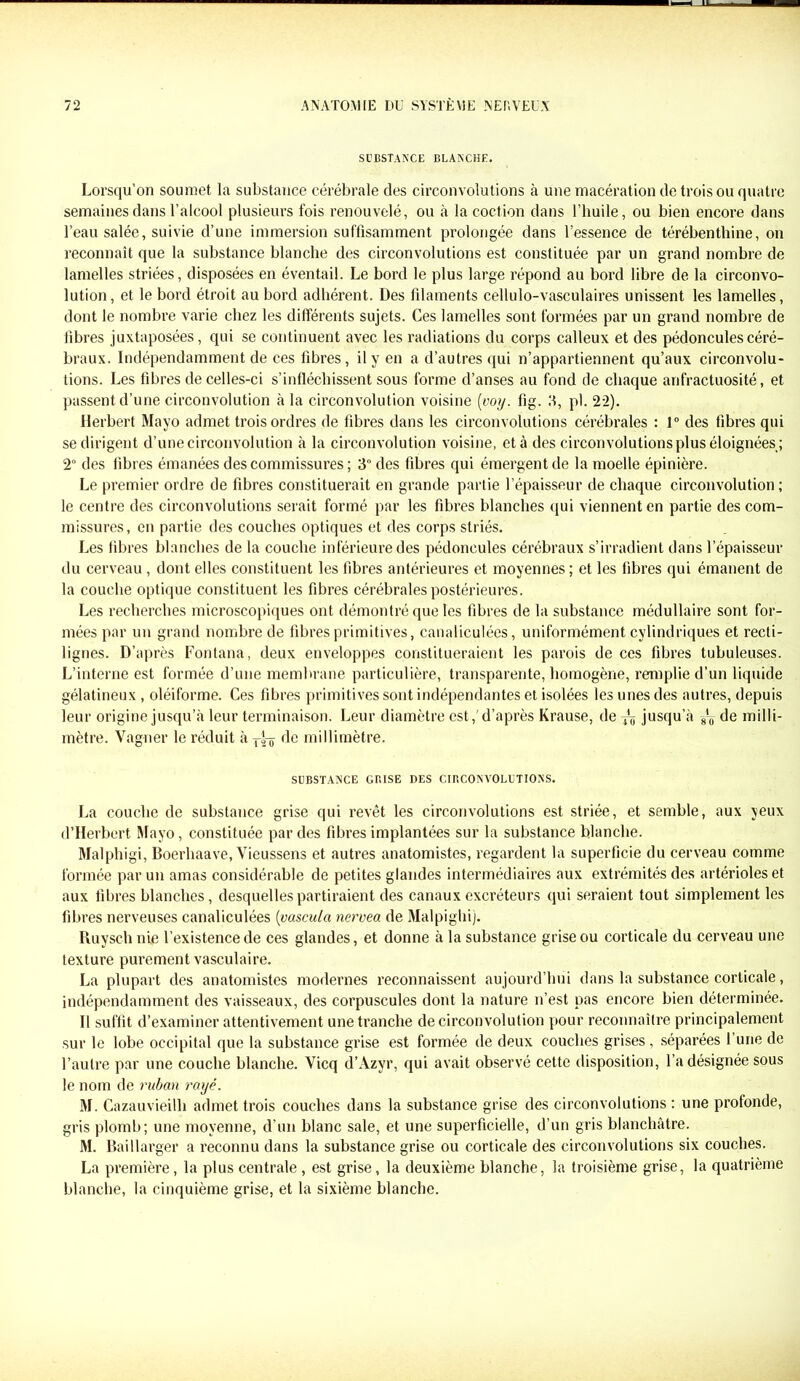 SUBSTANCE BLANCHE. Lorsqu’on soumet la substance cérébrale des circonvolutions à une macération de trois ou quatre semaines dans l’alcool plusieurs fois renouvelé, ou à la coction dans l’huile, ou bien encore dans l’eau salée, suivie d’une immersion suffisamment prolongée dans l’essence de térébenthine, on reconnaît que la substance blanche des circonvolutions est constituée par un grand nombre de lamelles striées, disposées en éventail. Le bord le plus large répond au bord libre de la circonvo- lution, et le bord étroit au bord adhérent. Des filaments cellulo-vasculaires unissent les lamelles, dont le nombre varie chez les différents sujets. Ces lamelles sont formées par un grand nombre de libres juxtaposées, qui se continuent avec les radiations du corps calleux et des pédoncules céré- braux. Indépendamment de ces libres, il y en a d’autres qui n’appartiennent qu’aux circonvolu- tions. Les fibres de celles-ci s’infléchissent sous forme d’anses au fond de chaque anfractuosité, et passent d’une circonvolution à la circonvolution voisine (voij. fig. fl, pl. 22). Herbert Mayo admet trois ordres de fibres dans les circonvolutions cérébrales : 1° des fibres qui se dirigent d’une circonvolution à la circonvolution voisine, et à des circonvolutions plus éloignées; 2° des libres émanées des commissures ; 3° des fibres qui émergent de la moelle épinière. Le premier ordre de fibres constituerait en grande partie l’épaisseur de chaque circonvolution; le centre des circonvolutions serait formé par les fibres blanches qui viennent en partie des com- missures, en partie des couches optiques et des corps striés. Les libres blanches de la couche inférieure des pédoncules cérébraux s’irradient dans l’épaisseur du cerveau , dont elles constituent les fibres antérieures et moyennes; et les fibres qui émanent de la couche optique constituent les fibres cérébrales postérieures. Les recherches microscopiques ont démontré que les fibres de la substance médullaire sont for- mées par un grand nombre de fibres primitives, canaliculées, uniformément cylindriques et recti- lignes. D’après Fontana, deux enveloppes constitueraient les parois de ces fibres tubuleuses. L’interne est formée d’une membrane particulière, transparente, homogène, remplie d’un liquide gélatineux , oléiforme. Ces fibres primitives sont indépendantes et isolées les unes des autres, depuis leur origine jusqu’à leur terminaison. Leur diamètre est,'d’après Krause, de jusqu’à -8\- de milli- mètre. Vaguer le réduit à de millimètre. SUBSTANCE GRISE DES CIRCONVOLUTIONS. La couche de substance grise qui revêt les circonvolutions est striée, et semble, aux yeux d’Herbert Mayo, constituée par des fibres implantées sur la substance blanche. Malphigi, Boerhaave, Vieussens et autres anatomistes, regardent la superficie du cerveau comme formée par un amas considérable de petites glandes intermédiaires aux extrémités des artérioles et aux fibres blanches, desquelles partiraient des canaux excréteurs qui seraient tout simplement les fibres nerveuses canaliculées (vascula nervea de Malpighij. Ruysch nie l’existence de ces glandes, et donne à la substance grise ou corticale du cerveau une texture purement vasculaire. La plupart des anatomistes modernes reconnaissent aujourd’hui dans la substance corticale, indépendamment des vaisseaux, des corpuscules dont la nature n’est pas encore bien déterminée. Il suffit d’examiner attentivement une tranche de circonvolution pour reconnaître principalement sur le lobe occipital que la substance grise est formée de deux couches grises , séparées 1 une de l’autre par une couche blanche. Vicq d’Azyr, qui avait observé cette disposition, l’a désignée sous le nom de ruban rayé. M. Cazauvieilh admet trois couches dans la substance grise des circonvolutions : une profonde, gris plomb; une moyenne, d’un blanc sale, et une superficielle, d’un gris blanchâtre. M. Baillarger a reconnu dans la substance grise ou corticale des circonvolutions six couches. La première, la plus centrale , est grise, la deuxième blanche, la troisième grise, la quatrième blanche, la cinquième grise, et la sixième blanche.