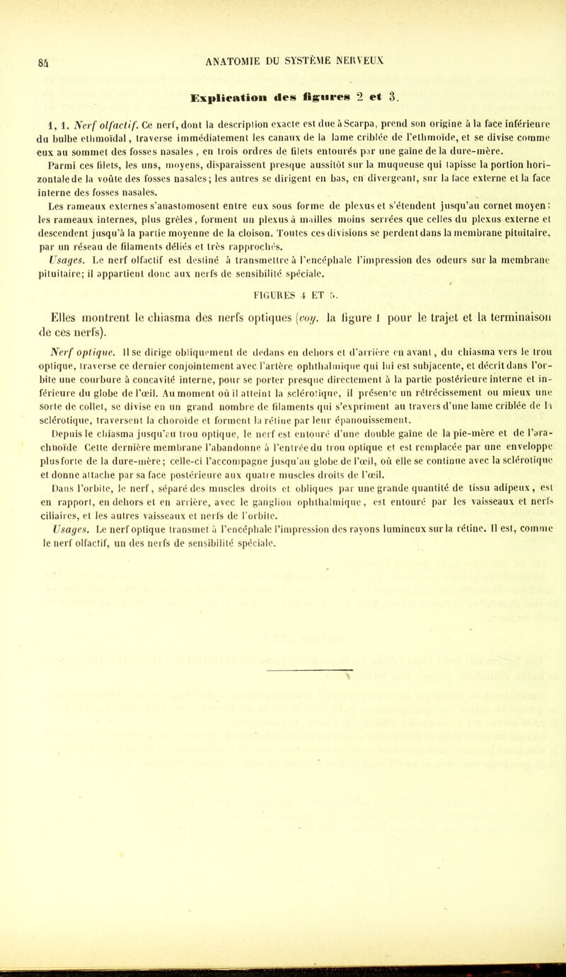 Explication des figures 2 et 3. 1, l. Nerf olfactif. Ce nerf, dont la description exacte est due à Scarpa, prend son origine à la face inférieure du bulbe ethmoïdal, traverse immédiatement les canaux de la lame criblée de l’ethmoïde, et se divise comme eux au sommet des fosses nasales , en trois ordres de filets entourés par une gaine de la dure-mère. Parmi ces filets, les uns, moyens, disparaissent presque aussitôt sur la muqueuse qui tapisse la portion liori- zontalede la voûte des fosses nasales; les autres se dirigent en bas, en divergeant, sur la lace externe et la face interne des fosses nasales. Les rameaux externes s’anastomosent entre eux sous forme de plexus et s’étendent jusqu’au cornet moyen: les rameaux internes, plus grêles, forment un plexus à mailles moins serrées que celles du plexus externe et descendent jusqu’à la partie moyenne de la cloison. Toutes ces divisions se perdent dans la membrane pituitaire, par un réseau de filaments déliés et très rapprochés. Usages. Le nerf olfactif est destiné à transmettre à l’encéphale l’impression des odeurs sur la membrane pituitaire; il appartient donc aux nerfs de sensibilité spéciale. FIGURES 4 ET 5. Elles montrent le chiasma des nerfs optiques (voy. la ligure 1 pour le trajet et la terminaison de ces nerfs). Nerf optique. Use dirige obliquement de dedans en dehors et d’arrière en avant, du chiasma vers le trou optique, traverse ce dernier conjointement avec l’artère ophthal inique qui lui est subjacente, et décrit dans l’or- bite une courbure à concavité interne, pour se porter presque directement à la partie postérieure interne et in- férieure du globe de l’œil. Au moment où il atteint la sclérotique, il présente un rétrécissement ou mieux une sorte de collet, se divise en un grand nombre de filaments qui s’expriment au travers d’une lame criblée de h sclérotique, traversent la choroïde et forment la rétine par leur épanouissement. Depuis le chiasma jusqu’au trou optique, le nerf est entouré d’une double gaine de la pie-mère et de l’ara- chnoïde Celte dernière membrane l’abandonne à l’entrée du trou optique et est remplacée par une enveloppe plus forte de la dure-mère; celle-ci l'accompagne jusqu’au globe de l’œil, où elle se continue avec la sclérotique et donne attache par sa face postérieure aux quatre muscles droits de l’œil. Dans l’orbite, le nerf, séparé des muscles droits et obliques par une grande quantité de tissu adipeux, est en rapport, en dehors et en arrière, avec le ganglion ophthalmique, est entouré par les vaisseaux et nerfs ciliaires, et les autres vaisseaux et nerfs de l’orbite. Usages. Le nerf optique transmet à l’encéphale l’impression des rayons lumineux sur la rétine. Il est, comme le nerf olfactif, un des nerfs de sensibilité spéciale.