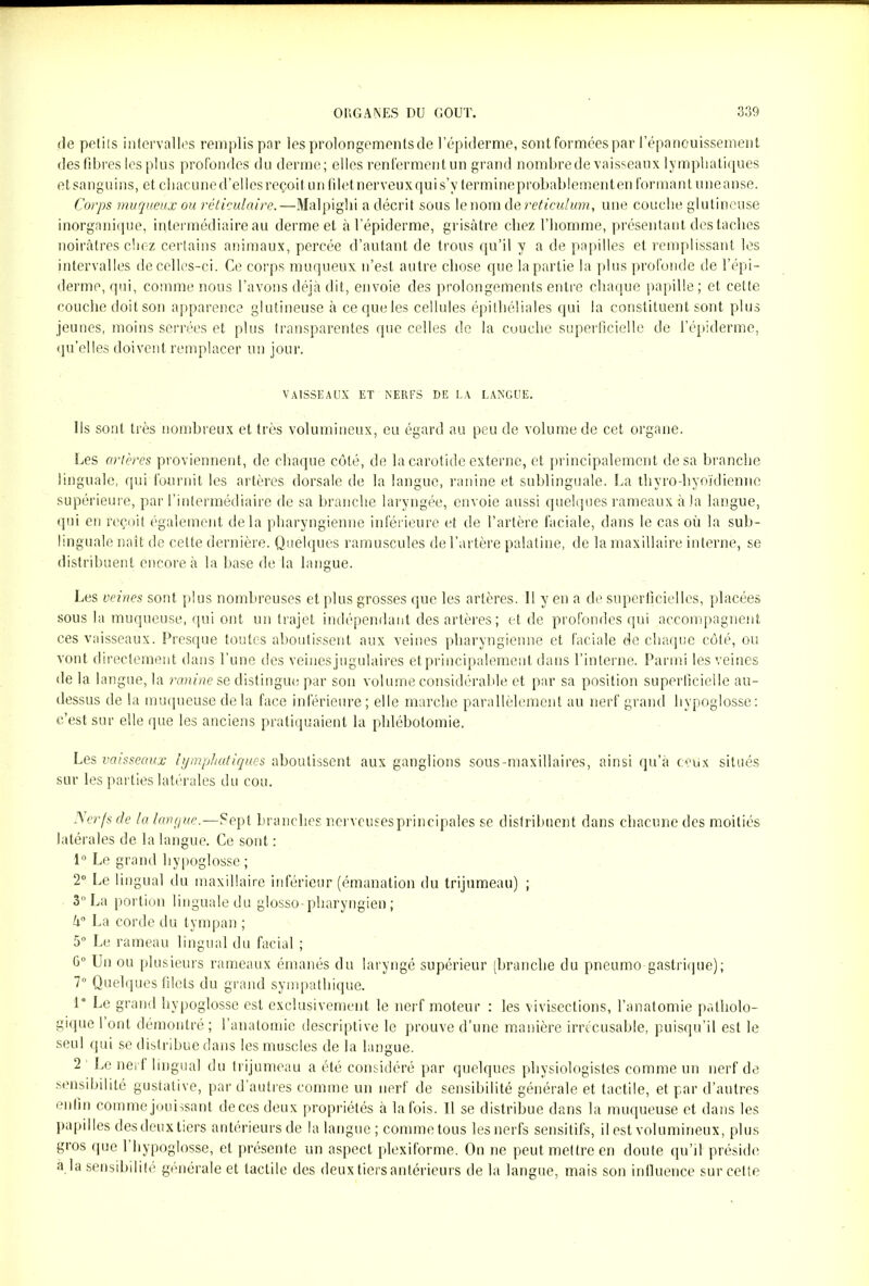 de petits intervalles remplis par les prolongements de l’épiderme, sont formées par l’épanouissement des fibres les plus profondes du derme; elles renferment un grand nombre de vaisseaux lymphatiques et sanguins, et chacune d’elles reçoit un filet nerveux qui s’y termine probablement en formant une anse. Corps muqueux ou réticulaire.—Malpighi a décrit sous lenom de réticulum, une couche glutineuse inorganique, intermédiaire au derme et à l’épiderme, grisâtre chez l’homme, présentant des taches noirâtres chez certains animaux, percée d’autant de trous qu’il y a de papilles et remplissant les intervalles de celles-ci. Ce corps muqueux n’est autre chose que la partie la plus profonde de l’épi- derme, qui, comme nous l’avons déjà dit, envoie des prolongements entre chaque papille; et cette couche doit son apparence glutineuse à ce que les cellules épithéliales qui la constituent sont plus jeunes, moins serrées et plus transparentes que celles de la couche superficielle de l’épiderme, qu’elles doivent remplacer un jour. VAISSEAUX ET NERFS DE LA LANGUE. Ils sont très nombreux et très volumineux, eu égard au peu de volume de cet organe. Les artères proviennent, de chaque côté, de la carotide externe, et principalement de sa branche linguale, qui fournit les artères dorsale de la langue, ranine et sublinguale. La thyro-hyoïdienne supérieure, par l’intermédiaire de sa branche laryngée, envoie aussi quelques rameaux à la langue, qui en reçoit également delà pharyngienne inférieure et de l’artère faciale, dans le cas où la sub- linguale naît de cette dernière. Quelques ramuscules de l’artère palatine, de la maxillaire interne, se distribuent encore à la base de la langue. Les veines sont plus nombreuses et plus grosses que les artères. Il y en a de superficielles, placées sous la muqueuse, qui ont un trajet indépendant des artères ; et de profondes qui accompagnent ces vaisseaux. Presque toutes aboutissent aux veines pharyngienne et faciale de chaque côté, ou vont directement dans l’une des veinesjugulaires et principalement dans l’interne. Parmi les veines delà langue, la ranine se distingue par son volume considérable et par sa position superficielle au- dessus de la muqueuse delà face inférieure; elle marche parallèlement au nerf grand hypoglosse: c’est sur elle que les anciens pratiquaient la phlébotomie. Les vaisseaux lymphatiques aboutissent aux ganglions sous-maxillaires, ainsi qu’à ceux situés sur les parties latérales du cou. Nerfs de la langue.—Sept branches nervcusesprincipales se distribuent dans chacune des moitiés latérales de la langue. Ce sont : 1° Le grand hypoglosse ; 2° Le lingual du maxillaire inférieur (émanation du trijumeau) ; 3° La portion linguale du glosso-pharyngien ; â° La corde du tympan ; 5° Le rameau lingual du facial ; 6° Un ou plusieurs rameaux émanés du laryngé supérieur (branche du pneumo gastrique); 7° Quelques filets du grand sympathique. 1° Le grand hypoglosse est exclusivement le nerf moteur : les vivisections, l’anatomie patholo- gique 1 ont démontré ; l’anatomie descriptive le prouve d’une manière irrécusable, puisqu’il est le seul qui se distribue dans les muscles de la langue. 2 Le nerf lingual du trijumeau a été considéré par quelques physiologistes comme un nerf de sensibilité gustative, par d’autres comme un nerf de sensibilité générale et tactile, et par d’autres enfin comme jouissant de ces deux propriétés à la fois. Il se distribue dans la muqueuse et dans les papilles desdeuxtiers antérieurs de la langue; comme tous les nerfs sensitifs, il est volumineux, plus gros que 1 hypoglosse, et présente un aspect plexiforme. On ne peut mettre en doute qu’il préside a la sensibilité générale et tactile des deux tiers antérieurs de la langue, mais son influence sur cette