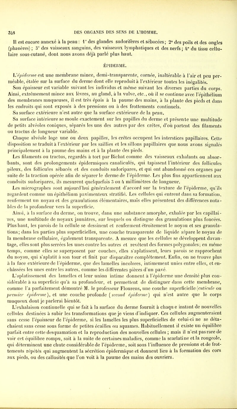 !l est encore annexé à la peau : 1“ des glandes sudorifères et sébacées; 2° des poils et des ongles (phanères) ; 3° des vaisseaux sanguins, des vaisseaux lymphatiques et des nerfs; hn du tissu cellu- laire sous-cutané, dont nous avons déjà parlé plus haut. ÉPIDERME. L'épiderme est une membrane mince, demi-transparente, cornée, inaltérable à l’air et peu per- méable, étalée sur la surface du derme dont elle reproduit à l’extérieur toutes les inégalités. Son épaisseur est variable suivant les individus et même suivant les diverses parties du corps. Ainsi, extrêmement mince aux lèvres, au gland, à la vulve, etc., où il se continue avec l’épithélium des membranes muqueuses, il est très épais à la paume des mains, à la plante des pieds et dans les endroits qui sont exposés à des pressions ou à des frottements continuels. Sa surface extérieure n’est autre que la surface extérieure de la peau. Sa surface intérieure se moule exactement sur les papilles du derme et présente une multitude de petits alvéoles coniques, séparés les uns des autres par des crêtes, d’où partent des filaments ou tractus de longueur variable. Chaque alvéole loge une ou deux papilles, les crêtes occupent les interstices papillaires. Cette disposition se traduit à l’extérieur par les saillies et les sillons papillaires que nous avons signalés principalement à la paume des mains et à la plante des pieds. Les filaments ou tractus, regardés à tort par Bichat comme des vaisseaux exhalants ou absor- bants, sont des prolongements épidermiques canaliculés, qui tapissent l’intérieur des follicules pileux, des follicules sébacés et des conduits sudoripares, et qui ont abandonné ces organes par suite de la traction opérée afin de séparer le derme de l’épiderme. Les plus fins appartiennent aux conduits sudoripares, ils mesurent quelquefois 3 ou h millimètres de longueur. Les micrographes sont aujourd’hui généralement d’accord sur la texture de l’épiderme, qu’ils regardent comme un épithélium pavimenteux stratifié. Les cellules qui entrent dans sa formation, renferment un noyau et des granulations élémentaires, mais elles présentent des différences nota- bles de la profondeur vers la superficie. Ainsi, à la surface du derme, on trouve, dans une substance amorphe, exhalée par les capillai- res, une multitude de noyaux jaunâtres, sur lesquels on distingue des granulations plus foncées. Plus haut, les parois de la cellule se dessinent et renferment étroitement le noyau et ses granula- tions; dans les parties plus superficielles, une couche transparente de liquide sépare le noyau de la membrane cellulaire, également transparente. A mesure que les cellules se développent davan- tage, elles sont plus serrées les unes contre les autres et revêtent des formes polygonales; en même temps, comme elles se superposent par couches, elles s'aplatissent, leurs parois se rapprochent du noyau, qui s’aplatit à son tour et finit par disparaître complètement. Enfin, on ne trouve plus à la face extérieure de l’épiderme, que des lamelles incolores, intimement unies entre elles, et en- châssées les unes entre les autres, comme les différentes pièces d’un pavé. L’aplatissement des lamelles et leur union intime donnent à l’épiderme une densité plus con- sidérable à sa superficie qu’à sa profondeur, et permettent de distinguer dans cette membrane, comme l’a parfaitement démontré M. le professeur Flourens, une couche superficielle [cuticule ou premier épiderme), zi une couche profonde (second épiderme) qui n’est autre que le corps muqueux dont je parlerai bientôt. L’exhalaison continuelle qui se fait à la surface du derme fournit à chaqu e instant de nouvelles cellules destinées à subir les transformations que je viens d’indiquer. Ces cellules augmenteraient sans cesse l’épaisseur de l’épiderme, si les lamelles les plus superficielles de celui-ci ne se déta- chaient sans cesse sous forme de petites écailles ou squames. Habituellement il existe un équilibre parfait entre cette desquamation et la reproduction des nouvelles cellules ; mais il n’est pas rare de voir cet équilibre rompu, soit à la suite de certaines maladies, comme la scarlatine et la rougeole, qui déterminent une chute considérable de l’épiderme, soit sous l’influence de pressions et de Irot- tements répétés qui augmentent la sécrétion épidermique et donnent lieu à la formation des cors aux pieds, ou des callosités que l’on voit à la paume des mains des ouvriers.