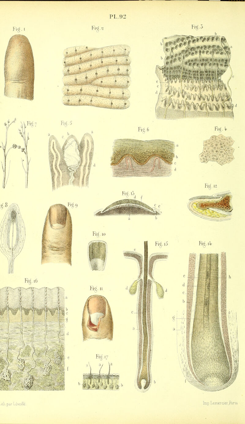 PL. 12 ,uli par [.éveillé lmp I.emertier.Pans