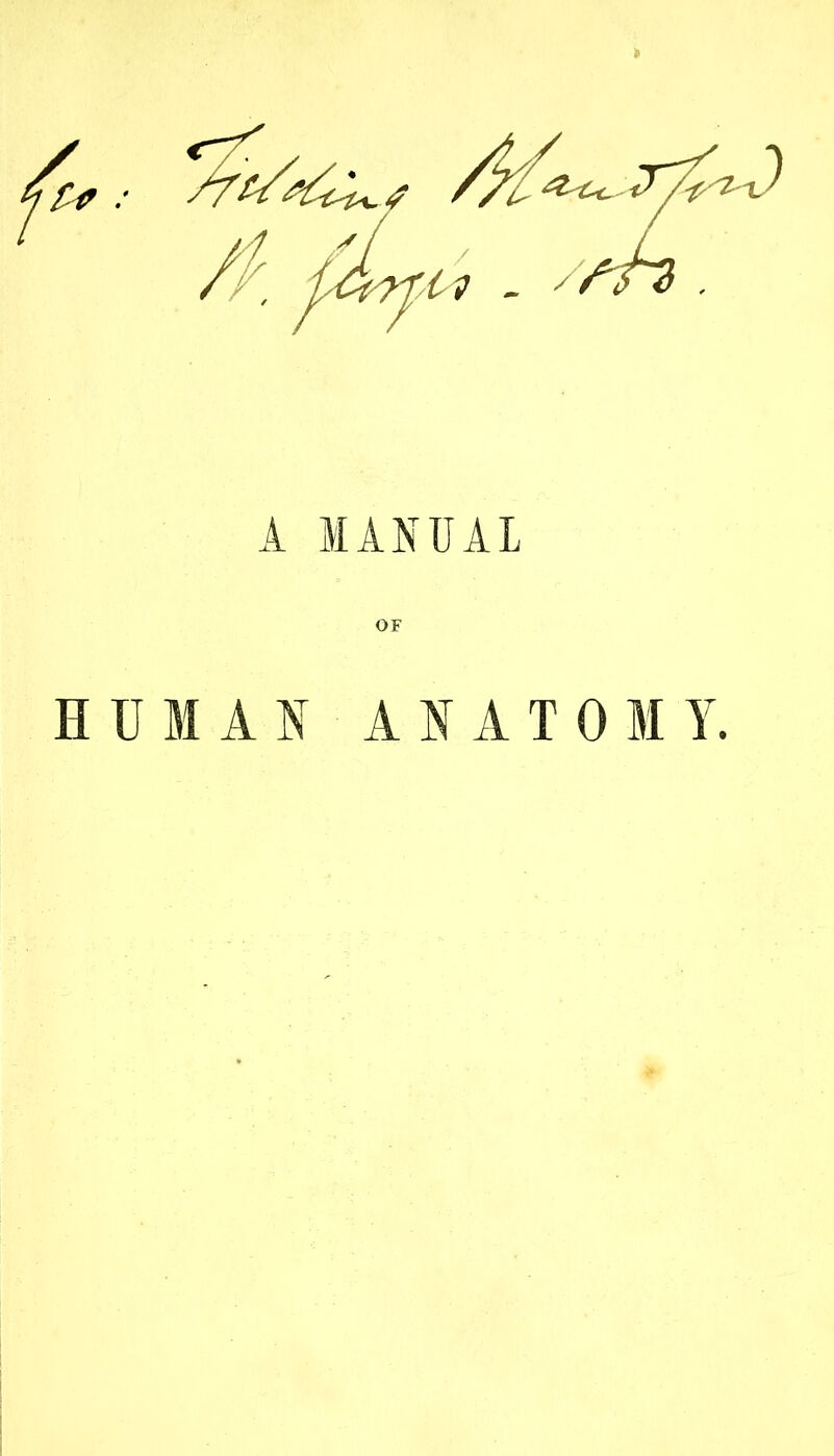 A MANUAL OF HUMAN ANATOMY.