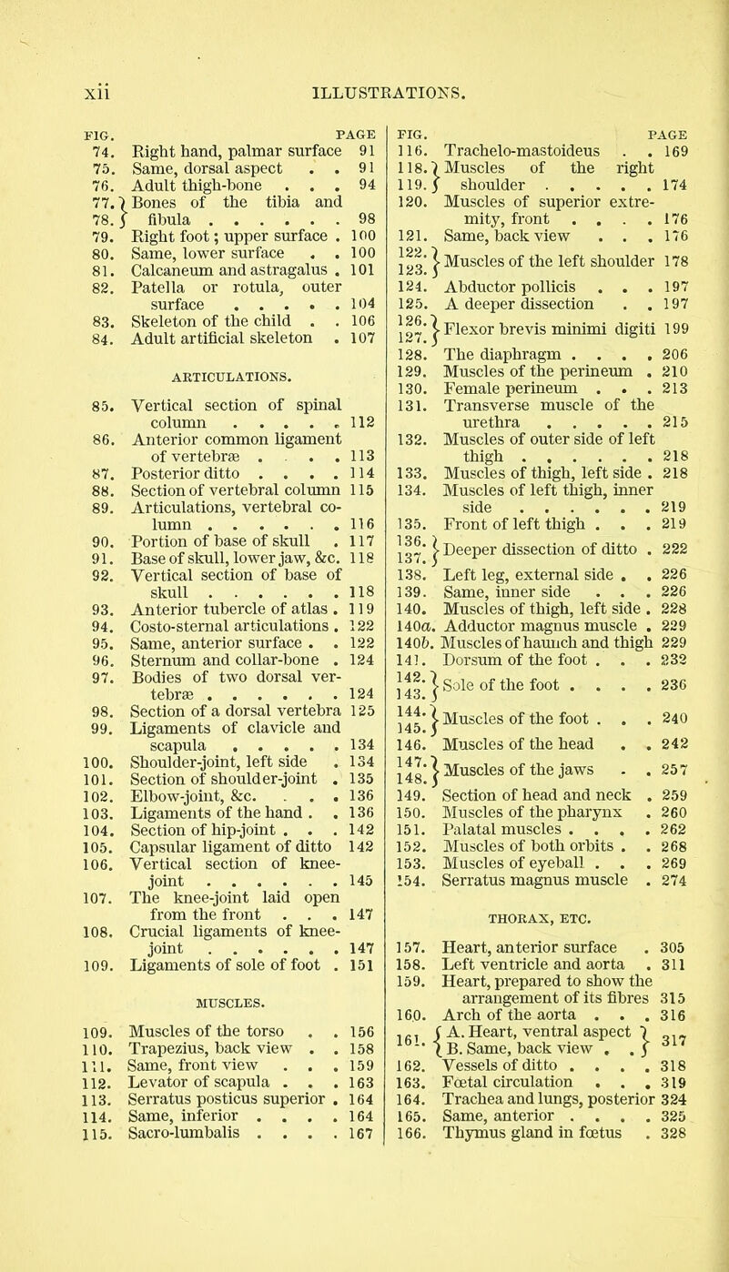 FIG. PAGE 74. Right hand, palmar surface 91 75. Same, dorsal aspect . . 91 76. Adult thigh-bone . . . 94 77.; l Bones of the tibia and 78. f fibula 98 79. Right foot; upper surface . 100 80. Same, lower surface . . 100 81. Calcaneum and astragalus . 101 82. Patella or rotula, outer surface 104 83. Skeleton of the child . . 106 84. Adult artificial skeleton 107 ARTICULATIONS. 85. Vertical section of spinal column ..... 112 86. Anterior common ligament of vertebrae ... 113 87. Posterior ditto .... 114 88. Section of vertebral column 115 89. Articulations, vertebral co- lumn 116 90. Portion of base of skull 117 91. Base of skull, lower jaw, &c. 118 92. Vertical section of base of skull 118 93. Anterior tubercle of atlas . 119 94. Costo-sternal articulations . 122 95. Same, anterior surface . . 122 96. Sternum and collar-bone . 124 97. Bodies of two dorsal ver- tebrae ...... 124 98. Section of a dorsal vertebra 125 99. Ligaments of clavicle and scapula 134 100. Shoulder-joint, left side 134 101. Section of shoulder-joint . 135 102. Elbow-joint, &c. . . 136 103. Ligaments of the hand . . 136 104. Section of hip-joint . . . 142 105. Capsular ligament of ditto 142 106. Vertical section of knee- joint 145 107. The knee-joint laid open from the front . . 147 108. Crucial ligaments of knee- joint 147 109. Ligaments of sole of foot . 151 MUSCLES. 109. Muscles of the torso . . 156 110. Trapezius, back view . . 158 111. Same, front view . . 159 112. Levator of scapula . 163 113. Serratus posticus superior . 164 114. Same, inferior .... 164 115. Sacro-lumbalis .... 167 FIG. PAGE 116. Trachelo-mastoideus . .169 118.1 Muscles of the right 119. j shoulder 174 120. Muscles of superior extre- mity, front . . . .176 121. Same, back view . . . 176 123*} Muscles the left shoulder 178 124. Abductor pollicis . . .197 125. A deeper dissection . .197 | | Flexor brevis minimi digiti 199 128. The diaphragm .... 206 129. Muscles of the perineum . 210 130. Female perineum . . .213 131. Transverse muscle of the urethra 215 132. Muscles of outer side of left thigh . . . . . .218 133. Muscles of thigh, left side . 218 134. Muscles of left thigh, inner side 219 135. Front of left thigh . . .219 | j- Deeper dissection of ditto . 222 138. Left leg, external side . .226 139. Same, inner side . . . 226 140. Muscles of thigh, left side . 228 140a. Adductor magnus muscle . 229 140b. Muscles of haunch and thigh 229 141. Dorsum of the foot . . . 232 143* ^ S°le °f the foot . . . .236 1 Muscles of the foot . . . 240 145. 5 146. Muscles of the head . .242 1| Muscles of the jaws . . 257 149. Section of head and neck . 259 150. Muscles of the pharynx . 260 151. Palatal muscles . . . . 262 152. Muscles of both orbits . .268 153. Muscles of eyeball . . . 269 154. Serratus magnus muscle . 274 THORAX, ETC. 157. Heart, anterior surface . 305 158. Left ventricle and aorta . 311 159. Heart, prepared to show the arrangement of its fibres 315 160. Arch of the aorta . . .316 f A. Heart, ventral aspect 7 *' l B. Same, back view . . j 6 162. Vessels of ditto .... 318 163. Foetal circulation . . .319 164. Trachea and lungs, pos terior 3 24 165. Same, anterior .... 325 166. Thymus gland in foetus . 328