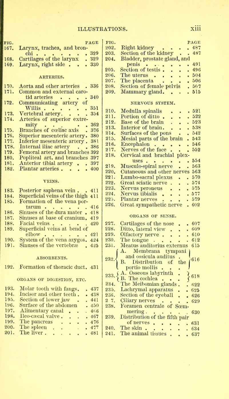 FIG. PAGE 167. Larynx, trachea, and bron- chi 329 168. Cartilages of the larynx . 329 169. Larynx, right side . . . 330 ARTERIES. 170. Aorta and other arteries . 336 171. Common and external caro- tid arteries .... 340 172. Communicating artery of Willis 351 173. Vertebral artery. . . . 354 174. Arteries of superior extre- mity ... . . 362 175. Branches of coeliac axis . 376 176. Superior mesenteric artery. 380 177. Inferior mesenteric artery . 381 178. Internal iliac artery . . 386 179. Femoral artery and branches 392 180. Popliteal art. and branches 397 181. Anterior tibial artery . .397 182. Plantar arteries . . . .400 VEINS. 183. Posterior saphena vein . . 411 184. Superficial veins of the thigh 411 185. Formation of the vena por- tarum 416 186. Sinuses of the dura mater . 418 187. Sinuses at base of cranium. 419 188. Facial veins. 420 189. Superficial veins at bend of elbow 421 190. System of the vena azygos. 424 191. Sinuses of the vertebraj . 425 ABSORBENTS. 192. Formation of thoracic duct. 431 ORGANS OF DIGESTION, ETC. 193. Molar tooth with fangs. . 437 194. Incisor and other teeth . . 438 195. Section of lower jaw . .441 196. Surface of the abdomen . 450 197. Alimentary canal . . . 466 198. Ueo-ca^cal valve .... 467 199. The pancreas .... 476 200. The spleen , . . . 477 201. The liver 481 FIG. PAGE 202. Bight kidney . . . . 487 203. Section of the kidney . . 487 204. Bladder, prostate gland, and penis . . . . 491 205. Section of testis . . 496 206. The uterus .... . 504 207. The placenta . 506 208. Section of female pelvis . 507 209. Mammary gland. . 515 NERVOUS SYSTEM. 210. Medulla spinalis . 521 211. Portion of ditto . . . . 522 212. Base of the brain . 523 213. Interior of brain. . 538 214. Surfaces of the pons . 542 215. Mesial parts of the brain . 543 216. Encephalon .... . 546 217. Nerves of the face . . 552 218. Cervical and brachial plex- uses . 554 219. Musculo-spiral nerve . . 563 220. Cutaneous and other nerves 563 221. Lumbo-sacral plexus . . 570 222. Great sciatic nerve . . 574 223. Nervus peroneus . 575 224. Nervus tibialis . . . . 577 225. Plantar nerves . . . 579 226. Great sympathetic nerve . 602 ORGANS OF SENSE. 227. Cartilages of the nose . . 607 228. Ditto, lateral view . . 609 229. Olfactory nerve . . 610 230. The tongue .... . 612 231. Meatus auditorius externus 615 {A. Membrana tympani j and ossicula auditus . I „ B. Distribution of the I portio mollis . . . / O„o i A. Osseous labyrinth . 7.,0 •|B. The cochlea . . . y618 234. The Meibomian glands . . 622 235. Lachrymal apparatus . . 625 236. Section of the eyeball . . 626 2 7. Ciliary nerves . . . .629 238. Foramen centrale of Soem- mering 630 239. Distribution of the fifth pair of nerves 631 240. The skin 634 241. The animal tissues . . . 637