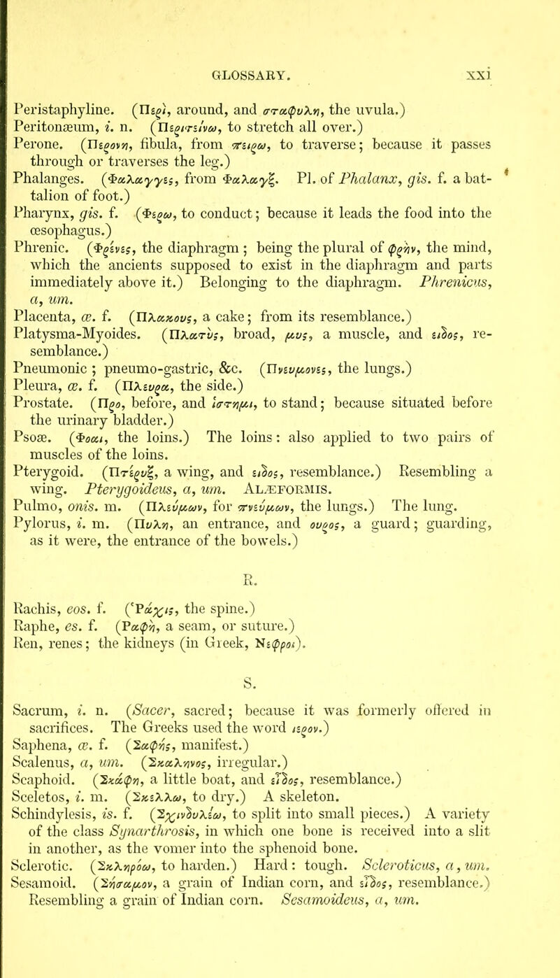 Peristaphyline. around, and trra.<puXy, the uvula.) Peritonaeum, i. n. (EU^m/viw, to stretch all over.) Perone. (Tlioovyi, fibula, from <7ru^w, to traverse; because it passes through or traverses the leg.) Phalanges. ($e&Xozyys$, from $xXccy%. PI. of Phalanx, gis. f. a bat- talion of foot.) Pharynx, gis. f. (3>som, to conduct; because it leads the food into the oesophagus.) Phrenic, (^svs?, the diaphragm ; being the plural of <pgijv, the mind, which the ancients supposed to exist in the diaphragm and parts immediately above it.) Belonging to the diaphragm. Phrenicus, a, um. Placenta, ce. f. (nXaxous, a cake; from its resemblance.) Platysma-Myoides. (UXarvbroad, f*v;, a muscle, and tibo?, re- semblance.) Pneumonic ; pneumo-gastric, &c. (nvwpovis, the lungs.) Pleura, ce. f. (UXsv^a, the side.) Prostate, (n^a, before, and Itrrnph to stand; because situated before the urinary bladder.) Psose. the loins.) The loins: also applied to two pairs of muscles of the loins. Pterygoid. (Tlra wing, and siboi, resemblance.) Resembling a wing. Pterygoideus, a, um. Al.eformis. Pulmo, onis. m. (Tl.Xivy.uv, for vrvivyuv, the lungs.) The lung. Pylorus, i. m. (nvXn, an entrance, and ougo$, a guard; guarding, as it were, the entrance of the bowels.) Raehis, eos. f. the spine.) Raphe, es. f. (Poapb, a seam, or suture.) Ren, renes; the kidneys (in Greek, Ns<ppot). S. Sacrum, i. n. (Sacer, sacred; because it was formerly offered in sacrifices. The Greeks used the word ngov.) Saphena, ce. f. (2utph;, manifest.) Scalenus, a, um. (2xa.X^vo?, irregular.) Scaphoid. (2xricQv, a little boat, and u^os, resemblance.) Sceletos, i. m. (JZxiXXu, to dry.) A skeleton. Schindylesis, is. f. (2^tvbvxlu, to split into small pieces.) A variety of the class Synarthrosis, in which one bone is received into a slit in another, as the vomer into the sphenoid bone. Sclerotic. (gZxXnp'ou, to harden.) Hard: tough. Scleroticus, a ,um. Sesamoid. (?,n<ra.yov, a grain of Indian corn, and u'bos, resemblance.) Resembling a grain of Indian corn. Sesamoideus, a, um.