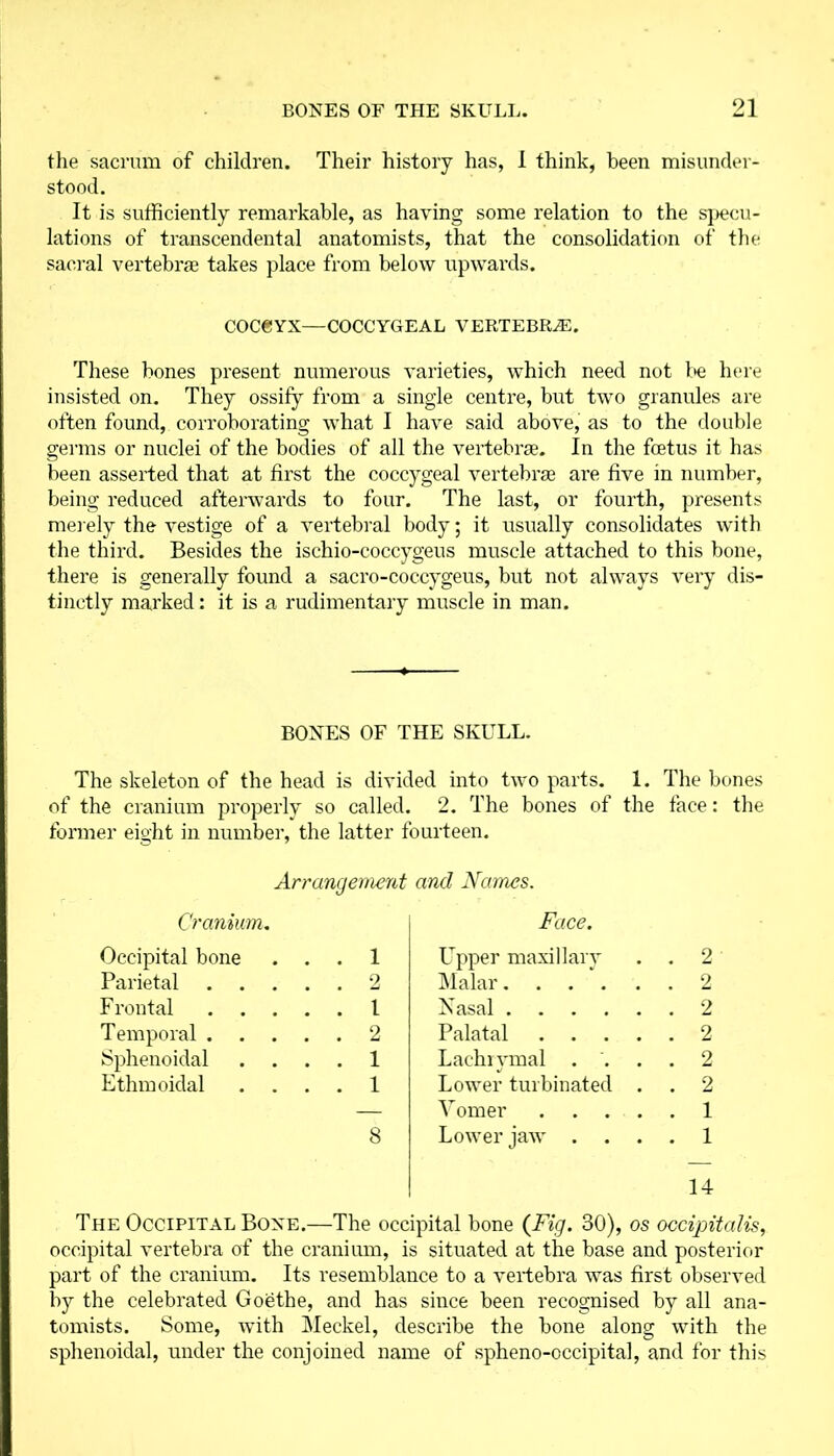 the sacrum of children. Their history has, I think, been misunder- stood. It is sufficiently remarkable, as having some relation to the specu- lations of transcendental anatomists, that the consolidation of the sacral vertebrae takes place from below upwards. COCeYX—COCCYGEAL VERTEBRAE. These bones present numerous varieties, which need not be here insisted on. They ossify from a single centre, but two granules are often found, corroborating what I have said above, as to the double germs or nuclei of the bodies of all the vertebrae. In the foetus it has been asserted that at first the coccygeal vertebrae are five in number, being reduced afterwards to four. The last, or fourth, presents merely the vestige of a vertebral body; it usually consolidates with the third. Besides the ischio-coccygeus muscle attached to this bone, there is generally found a sacro-coccygeus, but not always very dis- tinctly marked: it is a rudimentary muscle in man. BONES OF THE SKULL. The skeleton of the head is divided into two parts. 1. The bones of the cranium properly so called. 2. The bones of the face former eight in number, the latter fourteen. Arrangement and Names. Cranium. Face. Occipital bone . . . 1 Upper maxillary . 2 Parietal . . . . 2 Malar. . . \ . 2 F rontal .... . 1 Nasal . 2 Temporal . . . . . 2 Palatal .... . 2 Sphenoidal . 1 Laehiymal . . . 2 Ethmoidal . 1 Lower turbinated . . 2 — Vomer .... . 1 8 Lower jaw . . 1 14 The Occipital Bone.—The occipital bone (Fig. 30), os occipitalis, occipital vertebra of the cranium, is situated at the base and posterior part of the cranium. Its resemblance to a vertebra was first observed by the celebrated Goethe, and has since been recognised by all ana- tomists. Some, with Meckel, describe the bone along with the sphenoidal, under the conjoined name of spheno-occipital, and for this