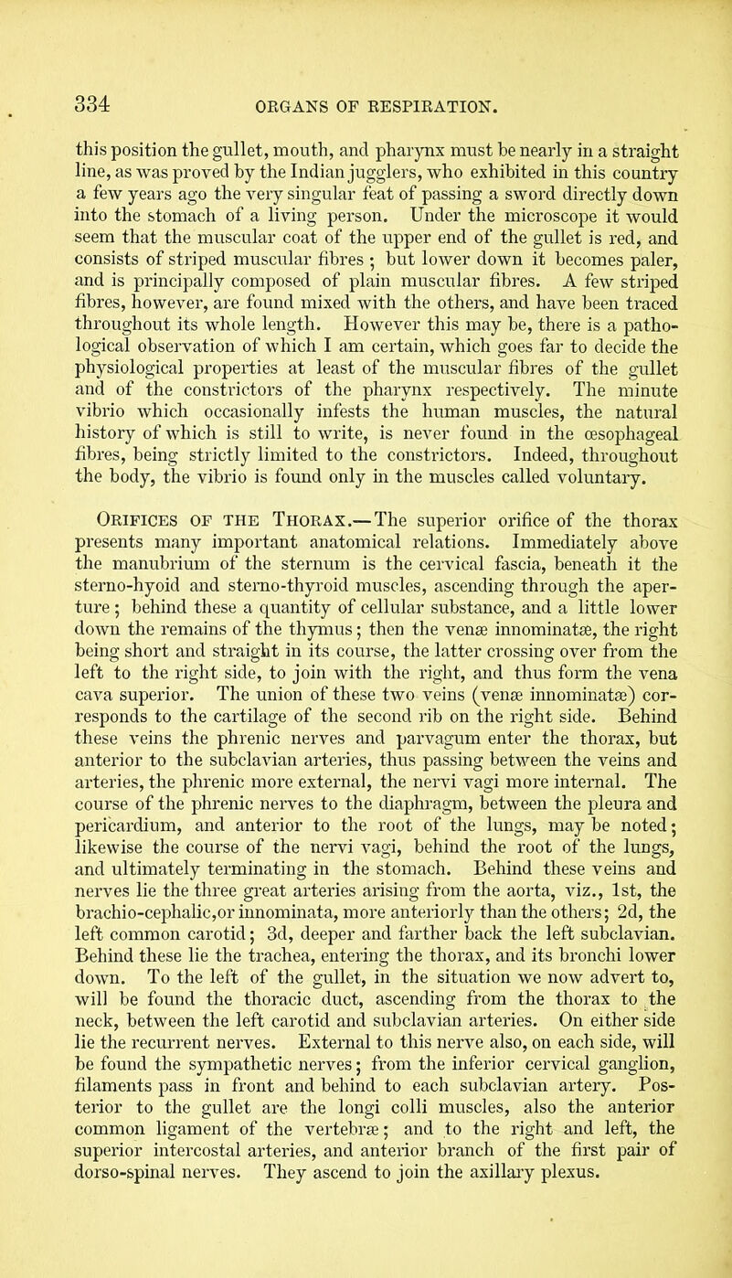 this position the gullet, mouth, and pharynx must be nearly in a straight line, as was proved by the Indian jugglers, who exhibited in this country a few years ago the very singular feat of passing a sword directly down into the stomach of a living person. Under the microscope it would seem that the muscular coat of the upper end of the gullet is red, and consists of striped muscular fibres ; but lower down it becomes paler, and is principally composed of plain muscular fibres. A few striped fibres, however, are found mixed with the others, and have been traced throughout its whole length. However this may be, there is a patho- logical observation of which I am certain, which goes far to decide the physiological properties at least of the muscular fibres of the gullet and of the constrictors of the pharynx respectively. The minute vibrio which occasionally infests the human muscles, the natural history of which is still to write, is never found in the oesophageal fibres, being strictly limited to the constrictors. Indeed, throughout the body, the vibrio is found only in the muscles called voluntary. Orifices of the Thorax.— The superior orifice of the thorax presents many important anatomical relations. Immediately above the manubrium of the sternum is the cervical fascia, beneath it the sterno-hyoid and sterno-thyroid muscles, ascending through the aper- ture ; behind these a quantity of cellular substance, and a little lower down the remains of the thymus; then the venae innominatse, the right being short and straight in its course, the latter crossing over from the left to the right side, to join with the right, and thus form the vena cava superior. The union of these two veins (venae innominatae) cor- responds to the cartilage of the second rib on the right side. Behind these veins the phrenic nerves and parvagum enter the thorax, but anterior to the subclavian arteries, thus passing between the veins and arteries, the phrenic more external, the nervi vagi more internal. The course of the phrenic nerves to the diaphragm, between the pleura and pericardium, and anterior to the root of the lungs, may be noted; likewise the course of the nervi vagi, behind the root of the lungs, and ultimately terminating in the stomach. Behind these veins and nerves lie the three great arteries arising from the aorta, viz., 1st, the bradiio-cephalic,or innominata, more anteriorly than the others; 2d, the left common carotid; 3d, deeper and farther back the left subclavian. Behind these lie the trachea, entering the thorax, and its bronchi lower down. To the left of the gullet, in the situation we now advert to, will be found the thoracic duct, ascending from the thorax to the neck, between the left carotid and subclavian arteries. On either side lie the recurrent nerves. External to this nerve also, on each side, will be found the sympathetic nerves; from the inferior cervical ganglion, filaments pass in front and behind to each subclavian artery. Pos- terior to the gullet are the longi colli muscles, also the anterior common ligament of the vertebrae; and to the right and left, the superior intercostal arteries, and anterior branch of the first pair of dorso-spinal nerves. They ascend to join the axillary plexus.