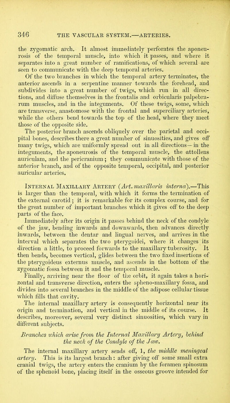 the zygomatic arch. It almost immediately perforates the aponeu- rosis of the temporal muscle, into which it passes, and where it separates into a great number of ramifications, of which several are seen to communicate with the deep temporal arteries. Of the two branches in which the temporal artery terminates, the anterior ascends in a serpentine manner towards the forehead, and subdivides into a great number of twigs, which run in all direc- tions, and diffuse themselves in the frontalis and orbicularis palpebra- rum muscles, and in the integuments. Of these twigs, some, which are transverse, anastomose with the frontal and superciliary arteries, while the others bend towards the top of the head, where they meet those of the opposite side. The posterior branch ascends obliquely over the parietal and occi- pital bones, describes there a great number of sinuosities, and gives off many twigs, which are uniformly spread out in all directions— in the integuments, the aponeurosis of the temporal muscle, the attollens auriculam, and the pericranium; they communicate with those of the anterior branch, and of the opposite temporal, occipital, and posterior auricular arteries. Internal Maxillary Artery (Art. maxillaris interna).—This is larger than the temporal, with which it forms the termination of the external carotid; it is remarkable for its complex course, and for the great number of important branches which it gives off to the deep parts of the face. Immediately after its origin it passes behind the neck of the condyle of the jaw, bending inwards and downwards, then advances directly inwards, between the dentar and lingual nerves, and arrives in the interval which separates the two pterygoidei, where it changes its direction a little, to proceed forwards to the maxillary tuberosity. It then bends, becomes vertical, glides between the two fixed insertions of the pterygoideus externus muscle, and ascends in the bottom of the zygomatic fossa between it and the temporal muscle. Finally, arriving near the floor of the orbit, it again takes a hori- zontal and transverse direction, enters the spheno-maxillary fossa, and divides into several branches in the middle of the adipose cellular tissue which fills that cavity. The internal maxillary artery is consequently horizontal near its origin and termination, and vertical in the middle of its course. It describes, moreover, several very distinct sinuosities, which vary in different subjects. Branches which arise from the Internal Maxillary Artery, behind the neck of the Condyle of the Jaw. The internal maxillary artery sends off, 1, the middle meningeal artery. This is its largest branch: after giving off some small extra cranial twigs, the artery enters the cranium by the foramen spinosum of the sphenoid bone, placing itself in the osseous groove intended for