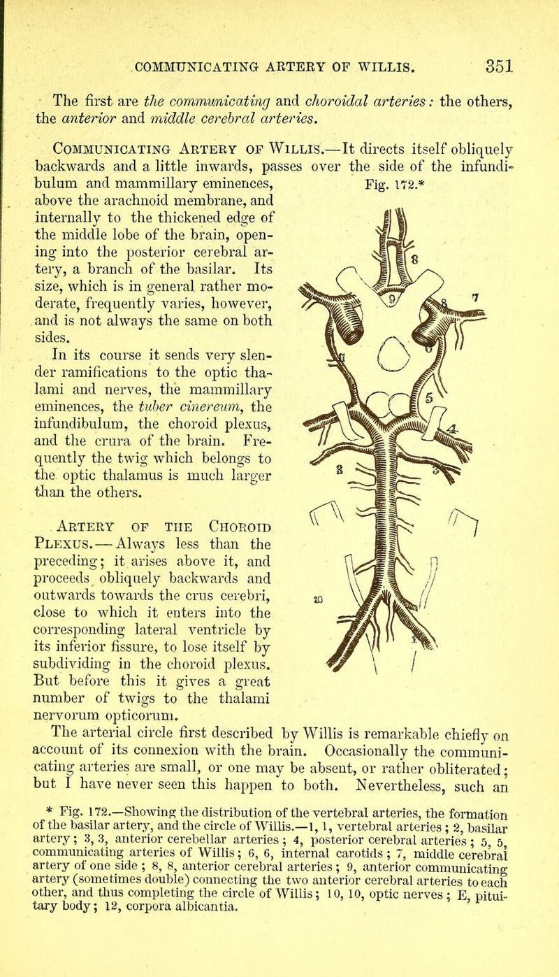 The first are the communicating and choroidal arteries: the others, the anterior and middle cerebral arteries. Communicating Artery of Willis.—It directs itself obliquely backwards and a little inwards, passes over the side of the infundi- Fig. 172* bulum and mammillary eminences, above the arachnoid membrane, and internally to the thickened edge of the middle lobe of the brain, open- ing into the posterior cerebral ar- tery, a branch of the basilar. Its size, which is in general rather mo- derate, frequently varies, however, and is not always the same on both sides. In its course it sends very slen- der ramifications to the optic tha- lami and nerves, the mammillary eminences, the tuber cinereum, the infundibulum, the choroid plexus, and the crura of the brain. Fre- quently the twig which belongs to the optic thalamus is much larger than the others. Artery of tiie Choroid Plexus. — Always less than the preceding; it arises above it, and proceeds obliquely backwards and outwards towards the crus cerebri, close to which it enters into the corresponding lateral ventricle by its inferior fissure, to lose itself by subdividing in the choroid plexus. But before this it gives a great number of twigs to the thalami nervorum, opticorum. The arterial circle first described by Willis is remarkable chiefly on account of its connexion with the brain. Occasionally the communi- cating arteries are small, or one may be absent, or rather obliterated; but I have never seen this happen to both. Nevertheless, such an * Fig. 172.—Showing the distribution of the vertebral arteries, the formation of the basilar artery, and the circle of Willis.—1,1, vertebral arteries ; 2, basilar artery; 3, 3, anterior cerebellar arteries; 4, posterior cerebral arteries ; 5, 5 communicating arteries of Willis; 6, 6, internal carotids; 7, middle cerebral artery of one side ; 8, 8, anterior cerebral arteries ; 9, anterior communicating artery (sometimes double) connecting the two anterior cerebral arteries to each other, and thus completing the circle of Willis; 10, 10, optic nerves ; E pitui- tary body; 12, corpora albicantia.