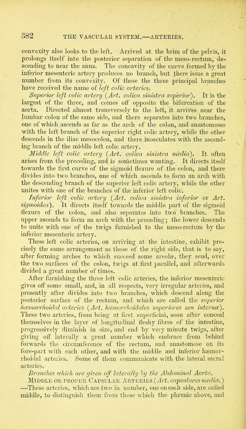 convexity also looks to the left. Arrived at the brim of the pelvis, it prolongs itself into the posterior separation of the meso- rectum, de- scending to near the anus. The concavity of the curve formed by the inferior mesenteric artery produces no branch, but there issue a great number from its convexity. Of these the three principal branches have received the name of left colic arteries. Superior left colic artery (.Art. colica sinistra superior). It is the largest of the three, and comes off opposite the bifurcation of the aorta. Directed almost transversely to the left, it arrives near the lumbar colon of the same side, and there separates into two branches, one of which ascends as far as the arch of the colon, and anastomoses with the left branch of the superior right colic artery, while the other descends in the iliac mesocolon, and there inosculates with the ascend- ing branch of the middle left colic artery. Middle left colic artery (Art. colica sinistra media)i It often arises from the preceding, and is sometimes wanting. It directs itself towards the first curve of the sigmoid flexure of-the colon, and there divides into two branches, one of which ascends to form an arch with the descending branch of the superior left colic artery, while the other unites with one of the branches of the inferior left colic. Inferior left colic artery (Art. colica sinistra inferior or Art. sigmoidea). It directs itself towai'ds the middle part of the sigmoid flexure of the colon, and also separates into two branches. The upper ascends to form an arch with the preceding; the lower descends to unite with one of the twigs furnished to the meso-rectum by the inferior mesenteric artery. These left colic arteries, on arriving at the intestine, exhibit pre- cisely the same arrangement as those of the right side, that is to say, after forming arches to which succeed some areola1, they send, over the two surfaces of the colon, twigs at first parallel, and afterwards divided a great number of times. After furnishing the three left colic arteries, the inferior mesenteric gives off some small, and, in all respects, very irregular arteries, and presently after divides into two branches, which descend along the posterior surface of the rectum, and which are called the superior hcemorrhoidal arteries (Art. hcemorrhoidales superiores sen internee). These two arteries, from being at first superficial, soon after conceal themselves in the layer of longitudinal fleshy fibres of the intestine, progressively diminish in size, and end by very minute twigs, after giving off laterally a great number which embrace from behind forwards the circumference of the rectum, and anastomose on its fore-part with each other, and with the middle and inferior haemor- rhoidal arteries. Some of them communicate with the lateral sacral arteries. Branches which are given off laterally by the Abdominal Aorta. Middle or proper Capsular Arteries (Art. capsulares medico.) —These arteries, which are two in number, one on each side, are called middle, to distinguish them from those which the phrenic above, and