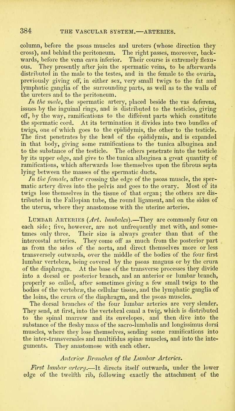column, before the psoas muscles and ureters (whose direction they cross), and behind the peritoneum. The right passes, moreover, back- wards, before the vena cava inferior. Their course is extremely flexu- ous. They presently after join the spermatic veins, to be afterwards distributed in the male to the testes, and in the female to the ovaria, previously giving off, in either sex, very small twigs to the fat and lymphatic ganglia of the surrounding parts, as well as to the walls of the ureters and to the peritoneum. In the male, the spermatic artery, placed beside the vas deferens, issues by the inguinal rings, and is distributed to the testicles, giving off, by the way, ramifications to the different parts which constitute the spermatic cord. At its termination it divides into two bundles of twigs, one of which goes to the epididymis, the other to the testicle. The first penetrates by the head of the epididymis, and is expanded in that body, giving some ramifications to the tunica albuginea and to the substance of the testicle. The others penetrate into the testicle by its upper edge, and give to the tunica albuginea a great quantity of ramifications, which afterwards lose themselves upon the fibrous septa lying between the masses of the spermatic ducts. In the female, after crossing the edge of the psoas muscle, the sper- matic artery dives into the pelvis and goes to the ovary. Most of its twigs lose themselves in the tissue of that organ; the others are dis- tributed in the Fallopian tube, the round ligament, and on the sides of the uterus, where they anastomose with the uterine arteries. Lumbar Arteries (Art. lumbales).—They are commonly four on each side; five, however, are not unfrequently met with, and some- times only three. Their size is always greater than that of the intercostal arteries. They come off as much from the posterior part as from the sides of the aorta, and direct themselves more or less transversely outwards, over the middle of the bodies of the four first lumbar vertebrae, being covered by the psoas magnus or by the crura of the diaphragm. At the base of the transverse processes they divide into a dorsal or posterior branch, and an anterior or lumbar branch, properly so called, after sometimes giving a few small twigs to the bodies of the vertebrae, the cellular tissue, and the lymphatic ganglia of the loins, the crura of the diaphragm, and the psoas muscles. The dorsal branches of the four lumbar arteries are very slender. They send, at first, into the vertebral canal a twig, which is distributed to the spinal marrow and its envelopes, and then dive into the substance of the fleshy mass of the sacro-lumbalis and longissimus dorsi muscles, where they lose themselves, sending some ramifications into the inter-transversales and multifidus spinaa muscles, and into the inte- guments. They anastomose with each other. Anterior Branches of the Lumbar Arteries. First lumbar artery.—It directs itself outwards, under the lower edge of the twelfth rib, following exactly the attachment of the