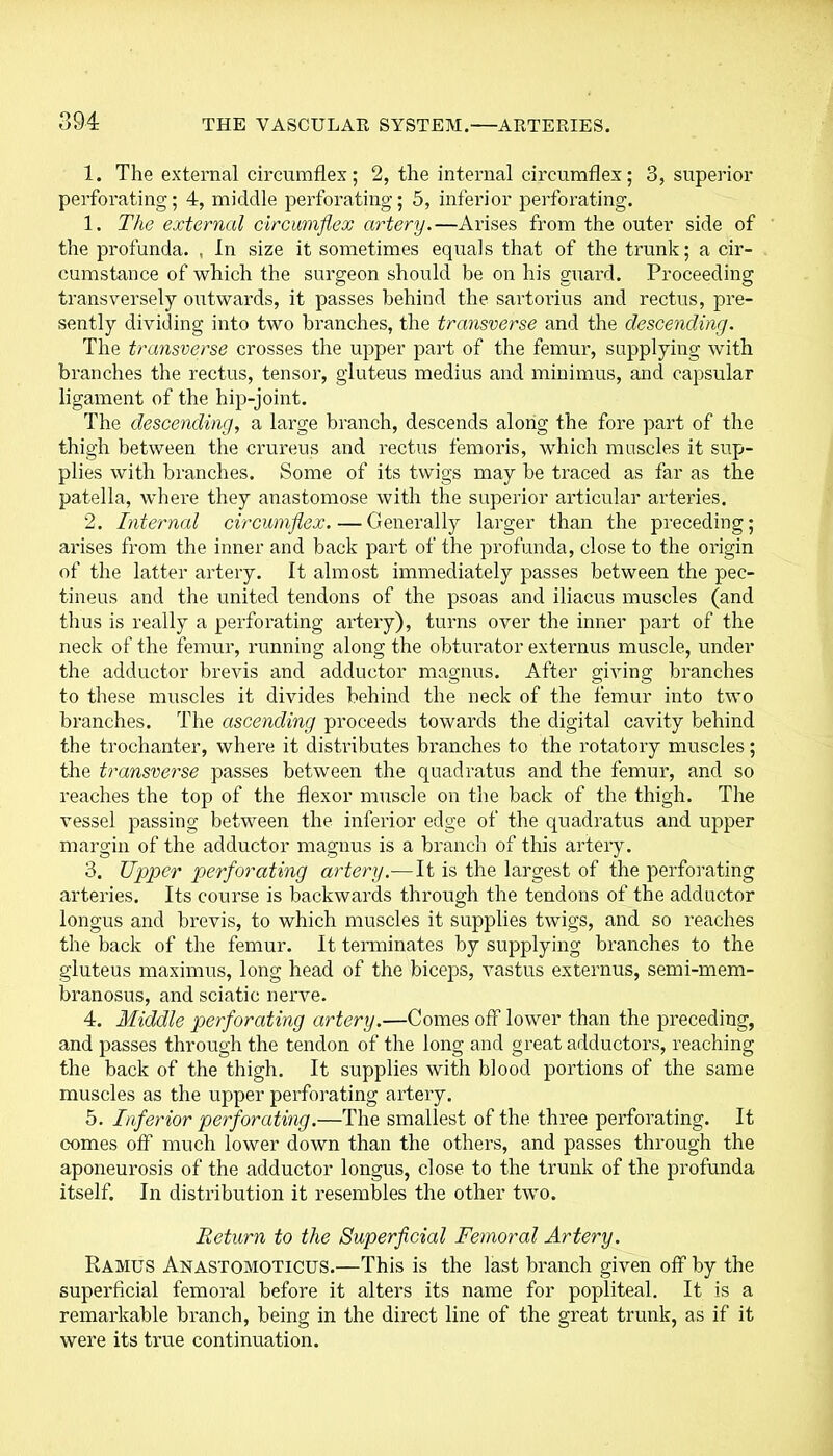 1. The external circumflex; 2, the internal circumflex; 3, superior perforating; 4, middle perforating; 5, inferior perforating. 1. The external circumflex artery.—Arises from the outer side of the profunda. , In size it sometimes equals that of the trunk; a cir- cumstance of which the surgeon should be on his guard. Proceeding transversely outwards, it passes behind the sartorius and rectus, pre- sently dividing into two branches, the transverse and the descending. The transverse crosses the upper part of the femur, supplying with branches the rectus, tensor, gluteus medius and minimus, and capsular ligament of the hip-joint. The descending, a large branch, descends along the fore part of the thigh between the crureus and rectus femoris, which muscles it sup- plies with branches. Some of its twigs may be traced as far as the patella, where they anastomose with the superior articular arteries. 2. Internal circumflex.—Generally larger than the preceding; arises from the inner and back part of the profunda, close to the origin of the latter artery. It almost immediately passes between the pec- tineus and the united tendons of the psoas and iliacus muscles (and thus is really a perforating artery), turns over the inner part of the neck of the femur, running along the obturator externus muscle, under the adductor brevis and adductor magnus. After giving branches to these muscles it divides behind the neck of the femur into two branches. The ascending proceeds towards the digital cavity behind the trochanter, where it distributes branches to the rotatory muscles; the transverse passes between the quadratus and the femur, and so reaches the top of the flexor muscle on the back of the thigh. The vessel passing between the inferior edge of the quadratus and upper margin of the adductor magnus is a branch of this artery. 3. Upper perforating artery.—It is the largest of the perforating arteries. Its course is backwards through the tendons of the adductor longus and brevis, to which muscles it supplies twigs, and so reaches the back of the femur. It terminates by supplying branches to the gluteus maximus, long head of the biceps, vastus externus, semi-mem- branosus, and sciatic nerve. 4. Middle perforating artery.—Comes off lower than the preceding, and passes through the tendon of the long and great adductors, reaching the back of the thigh. It supplies with blood portions of the same muscles as the upper perforating artery. 5. Inferior perforating.—The smallest of the three perforating. It comes off much lower down than the others, and passes through the aponeurosis of the adductor longus, close to the trunk of the profunda itself. In distribution it resembles the other two. Return to the Superficial Femoral Artery. Ramus Anastomoticus.—This is the last branch given off by the superficial femoral before it alters its name for popliteal. It is a remarkable branch, being in the direct line of the great trunk, as if it were its true continuation.