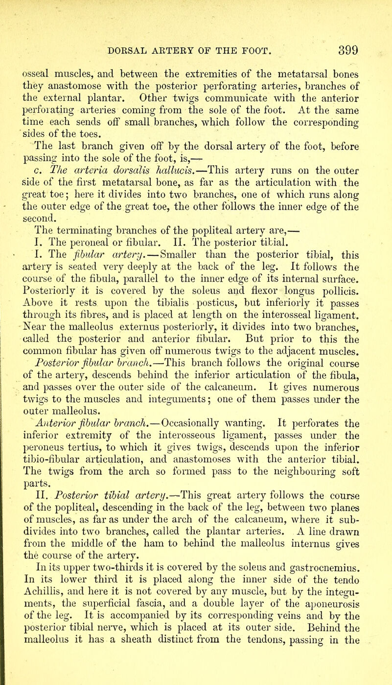 osseal muscles, and between the extremities of the metatarsal bones they anastomose with the posterior perforating arteries, branches of the external plantar. Other twigs communicate with the anterior perforating arteries coming from the sole of the foot. At the same time each sends off small branches, which follow the corresponding sides of the toes. The last branch given olf by the dorsal artery of the foot, before passing into the sole of the foot, is,— c. The arteria dorsalis hallucis.—This artery runs on the outer side of the first metatarsal bone, as far as the articulation with the great toe; here it divides into two branches, one of which runs along the outer edge of the great toe, the other follows the inner edge of the second. The terminating branches of the popliteal artery are,— I. The peroneal or fibular. II. The posterior tibial. I. The fibular artery. — Smaller than the posterior tibial, this artery is seated very deeply at the back of the leg. It follows the course of the fibula, parallel to the inner edge of its internal surface. Posteriorly it is covered by the soleus and flexor longus pollicis. Above it rests upon the tibialis posticus, but inferiorly it passes through its fibres, and is placed at length on the interosseal ligament. Near the malleolus externus posteriorly, it divides into two branches, called the posterior and anterior fibular. But prior to this the common fibular has given off numerous twigs to the adjacent muscles. Posterior fibular branch.—This branch follows the original course of the artery, descends behind the inferior articulation of the fibula, and passes over the outer side of the calcaneum. It gives numerous twigs to the muscles and integuments; one of them passes under the outer malleolus. An terior fibular branch.—Occasionally wanting. It perforates the inferior extremity of the interosseous ligament, passes under the peroneus tertius, to which it gives twigs, descends upon the inferior tibio-fibular articulation, and anastomoses with the anterior tibial. The twigs from the arch so formed pass to the neighbouring soft parts. II. Posterior tibial artery.—This great artery follows the course of the popliteal, descending in the back of the leg, between two planes of muscles, as far as under the arch of the calcaneum, where it sub- divides into two branches, called the plantar arteries. A line drawn from the middle of the ham to behind the malleolus internus gives the course of the artery. In its upper two-thirds it is covered by the soleus and gastrocnemius. In its lower third it is placed along the inner side of the tendo Achillis, and here it is not covered by any muscle, but by the integu- ments, the superficial fascia, and a double layer of the aponeurosis of the leg. It is accompanied by its corresponding veins and by the posterior tibial nerve, which is placed at its outer side. Behind the malleolus it has a sheath distinct from the tendons, passing in the