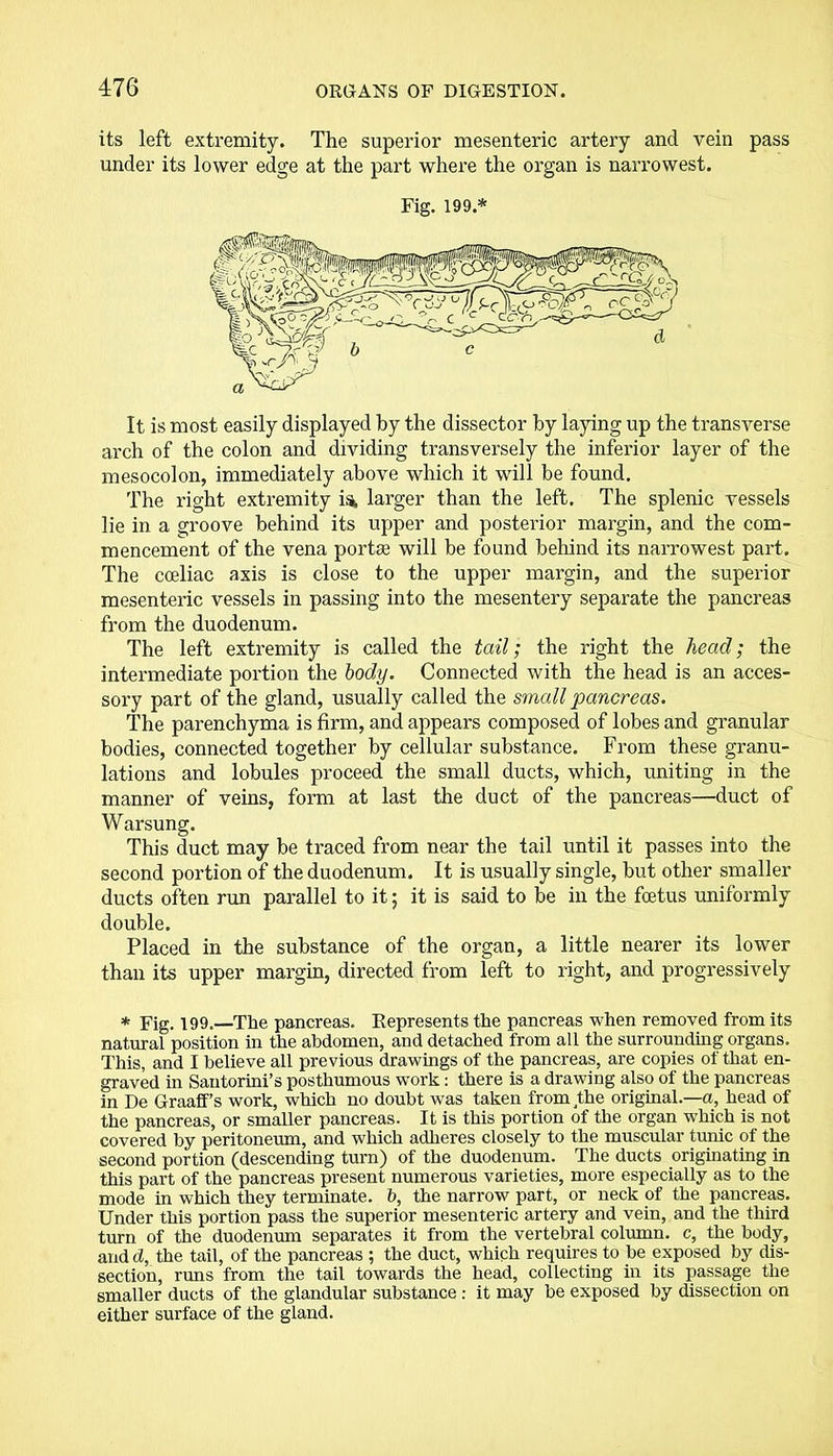 its left extremity. The superior mesenteric artery and vein pass under its lower edge at the part where the organ is narrowest. Fig. 199.* It is most easily displayed by the dissector by laying up the transverse arch of the colon and dividing transversely the inferior layer of the mesocolon, immediately above which it will be found. The right extremity is. larger than the left. The splenic vessels lie in a groove behind its upper and posterior margin, and the com- mencement of the vena portse will be found behind its narrowest part. The coeliac axis is close to the upper margin, and the superior mesenteric vessels in passing into the mesentery separate the pancreas from the duodenum. The left extremity is called the tail; the right the head; the intermediate portion the body. Connected with the head is an acces- sory part of the gland, usually called the small pancreas. The parenchyma is firm, and appears composed of lobes and granular bodies, connected together by cellular substance. From these granu- lations and lobules proceed the small ducts, which, uniting in the manner of veins, form at last the duct of the pancreas—duct of Warsung. This duct may be traced from near the tail until it passes into the second portion of the duodenum. It is usually single, but other smaller ducts often run parallel to it; it is said to be in the foetus uniformly double. Placed in the substance of the organ, a little nearer its lower than its upper margin, directed from left to right, and progressively * Fig. 199.—The pancreas. Represents the pancreas when removed from its natural position in the abdomen, and detached from all the surrounding organs. This, and I believe all previous drawings of the pancreas, are copies of that en- graved in Santorini’s posthumous work: there is a drawing also of the pancreas in De Graaff’s work, which no doubt was taken from the original.—a, head of the pancreas, or smaller pancreas. It is this portion of the organ which is not covered by peritoneum, and which adheres closely to the muscular tunic of the second portion (descending turn) of the duodenum. The ducts .originating in this part of the pancreas present numerous varieties, more especially as to the mode in which they terminate, b, the narrow part, or neck of the pancreas. Under this portion pass the superior mesenteric artery and vein, and the third turn of the duodenum separates it from the vertebral column, c, the body, and d, the tail, of the pancreas ; the duct, which requires to be exposed by dis- section, runs from the tail towards the head, collecting in its passage the smaller ducts of the glandular substance: it may be exposed by dissection on either surface of the gland.