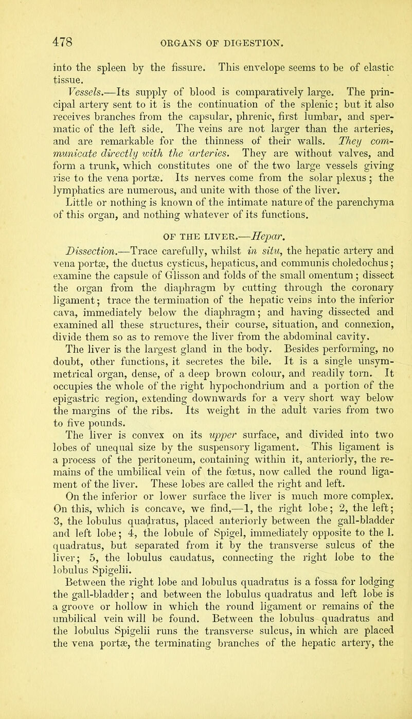 into the spleen by the fissure. This envelope seems to be of elastic tissue. Vessels.—Its supply of blood is comparatively large. The prin- cipal artery sent to it is the continuation of the splenic; but it also receives branches from the capsular, phrenic, first lumbar, and sper- matic of the left side. The veins are not larger than the arteries, and are remarkable for the thinness of their walls. They com- municate directly with the arteries. They are without valves, and form a trunk, which constitutes one of the two large vessels giving rise to the vena portae. Its nerves come from the solar plexus ; the lymphatics are numerous, and unite with those of the liver. Little or nothing is known of the intimate nature of the parenchyma of this organ, and nothing whatever of its functions. OF the liver.—Hepar. Dissection.—Trace carefully, whilst in situ, the hepatic artery and vena portae, the ductus cysticus, hepaticus, and communis choledoehus; examine the capsule of Glisson and folds of the small omentum ; dissect the organ from the diaphragm by cutting through the coronary ligament; trace the termination of the hepatic veins into the inferior cava, immediately below the diaphragm; and having dissected and examined all these structures, their course, situation, and connexion, divide them so as to remove the liver from the abdominal cavity. The liver is the largest gland in the body. Besides performing, no doubt, other functions, it secretes the bile. It is a single unsym- metrical organ, dense, of a deep brown colour, and readily torn. It occupies the whole of the right hypochondrium and a portion of the epigastric region, extending downwards for a very short way below the margins of the ribs. Its weight in the adult varies from two to five pounds. The liver is convex on its upper surface, and divided into two lobes of unequal size by the suspensory ligament. This ligament is a process of the peritoneum, containing within it, anteriorly, the re- mains of the umbilical vein of the foetus, now called the round liga- ment of the liver. These lobes are called the right and left. On the inferior or lower surface the liver is much more complex. On this, which is concave, we find,—1, the right lobe; 2, the left; 3, the lobulus quadratus, placed anteriorly between the gall-bladder and left lobe; 4, the lobule of Spigel, immediately opposite to the 1. quadratus, but separated from it by the transverse sulcus of the liver; 5, the lobulus caudatus, connecting the right lobe to the lobulus Spigelii. Between the right lobe and lobulus quadratus is a fossa for lodging the gall-bladder; and between the lobulus quadratus and left lobe is a groove or hollow in which the round ligament or remains of the umbilical vein will be found. Between the lobulus quadratus and the lobulus Spigelii runs the transverse sulcus, in which are placed the vena portae, the terminating branches of the hepatic artery, the