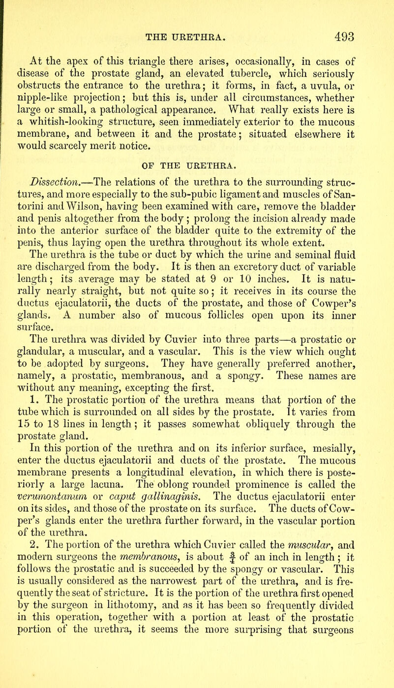 At the apex of this triangle there arises, occasionally, in cases of disease of the prostate gland, an elevated tubercle, which seriously obstructs the entrance to the urethra; it forms, in fact, a uvula, or nipple-like projection; but this is, under all circumstances, whether large or small, a pathological appearance. What really exists here is a whitish-looking structure, seen immediately exterior to the mucous membrane, and between it and the prostate; situated elsewhere it would scarcely merit notice. OF THE URETHRA. Dissection.—-The relations of the urethra to the surrounding struc- tures, and more especially to the sub-pubic ligament and muscles of San- torini and Wilson, having been examined with care, remove the bladder and penis altogether from the body ; prolong the incision already made into the anterior surface of the bladder quite to the extremity of the penis, thus laying open the urethra throughout its whole extent. The urethra is the tube or duct by which the urine and seminal fluid are discharged from the body. It is then an excretory duct of variable length; its average may be stated at 9 or 10 inches. It is natu- rally nearly straight, but not quite so; it receives in its course the ductus ejaculatorii, the ducts of the prostate, and those of Cowper’s glands. A number also of mucous follicles open upon its inner surface. The urethra was divided by Cuvier into three parts—a prostatic or glandular, a muscular, and a vascular. This is the view which ought to be adopted by surgeons. They have generally preferred another, namely, a prostatic, membranous, and a spongy. These names are without any meaning, excepting the first. 1. The prostatic portion of the urethra means that portion of the tube which is surrounded on all sides by the prostate. It varies from 15 to 18 lines in length; it passes somewhat obliquely through the prostate gland. In this portion of the urethra and on its inferior surface, mesially, enter the ductus ejaculatorii and ducts of the prostate. The mucous membrane presents a longitudinal elevation, in which there is poste- riorly a large lacuna. The oblong rounded prominence is called the verumontanum or caput gallinaginis. The ductus ejaculatorii enter on its sides, and those of the prostate on its surface. The ducts of Cow- per’s glands enter the urethra further forward, in the vascular portion of the urethra. 2. The portion of the urethra which Cuvier called the muscular, and modern surgeons the membranous, is about ^ of an inch in length ; it follows the prostatic and is succeeded by the spongy or vascular. This is usually considered as the narrowest part of the urethra, and is fre- quently the seat of stricture. It is the portion of the urethra first opened by the surgeon in lithotomy, and as it has been so frequently divided in this operation, together with a portion at least of the prostatic portion of the urethra, it seems the more surprising that surgeons