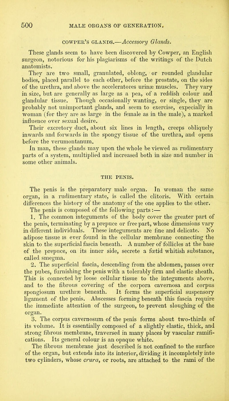 cowper’s glands.—Accessory Glands. These glands seem to have been discovered by Cowper, an English surgeon, notorious for his plagiarisms of the writings of the Dutch anatomists. They are two small, graimlated, oblong, or rounded glandular bodies, placed parallel to each other, before the prostate, on the sides of the urethra, and above the acceleratores urinse muscles. They vary in size, but are generally as large as a pea, of a reddish colour and glandular tissue. Though occasionally wanting, or single, they are probably not unimportant glands, and seem to exercise, expecially in woman (for they are as large in the female as in the male), a marked influence over sexual desire. Their excretory duct, about six lines in length, creeps obliquely inwards and forwards in the spongy tissue of the urethra, and opens before the verumontanum. In man, these glands may upon the whole be viewed as rudimentary parts of a system, multiplied and increased both in size and number in some other animals. THE PENIS. The penis is the preparatory male organ. In woman the same organ, in a rudimentary state, is called the clitoris. With certain differences the history of the anatomy of the one applies to the other. The penis is composed of the following parts:— 1. The common integuments of the body cover the greater part of the penis, terminating by a prepuce or free part, whose dimensions vary in different individuals. These integuments are fine and delicate. No adipose tissue is ever found in the cellular membrane connecting the skin to the superficial fascia beneath. A number of follicles at the base of the prepuce, on its inner side, secrete a foetid whitish substance, called smegma. 2. The superficial fascia, descending from the abdomen, passes over the pubes, furnishing the penis with a tolerably firm and elastic sheath. This is connected by loose cellular tissue to the integuments above, and to the fibrous covering of the corpora cavernosa and corpus spongiosum urethrae beneath. It forms the superficial suspensory ligament of the penis. Abscesses forming beneath this fascia require the immediate attention of the surgeon, to prevent sloughing of the organ. 3. The corpus cavernosum of the penis forms about two-thirds of its volume. It is essentially composed of a slightly elastic, thick, and strong fibrous membrane, traversed in many places by vascular ramifi- cations. Its general colour is an opaque white. The fibrous membrane just described is not confined to the surface of the organ, but extends into its interior, dividing it incompletely into two cylinders, whose crura, or roots, are attached to the rami of the