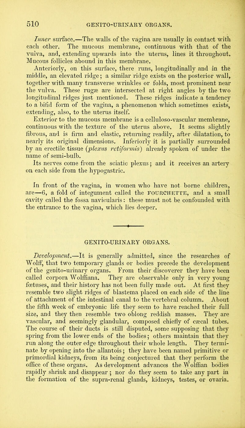 Inner surface.—The walls of the vagina are usually in contact with each other. The mucous membrane, continuous with that of the vulva, and, extending upwards into the uterus, lines it throughout. Mucous follicles abound in this membrane. Anteriorly, on this surface, there runs, longitudinally and in the middle, an elevated ridge; a similar ridge exists on the posterior wall, together with many transverse wrinkles or folds, most prominent near the vulva. These rugae are intersected at right angles by the two longitudinal ridges just mentioned. These ridges indicate a tendency to a bifid form of the vagina, a phenomenon which sometimes exists, extending, also, to the uterus itself. Exterior to the mucous membrane is a celluloso-vascular membrane, continuous with the texture of the uterus above. It seems slightly fibrous, and is firm and elastic, returning readily, after dilatation, to nearly its original dimensions. Interiorly it is partially surrounded by an erectile tissue (plexus retiformis) already spoken of under the name of semi-bulb. Its nerves come from the sciatic plexus; and it receives an artery on each side from the hypogastric. In front of the vagina, in women who have not borne children, are—6, a fold of integument called the fourchette, and a small cavity called the fossa navicularis: these must not be confounded with the entrance to the vagina, which lies deeper. GENITOURINARY ORGANS. Development.—It is generally admitted, since the researches of Wolff, that two temporary glands or bodies precede the development of the genito-urinary organs. From their discoverer they have been called corpora Wolffiana. They are observable only in very young foetuses, and their history has not been fully made out. At first they resemble two slight ridges of blastema placed on each side of the line of attachment of the intestinal canal to the vertebral column. About the fifth week of embryonic life they seem to have reached their full size, and they then resemble two oblong reddish masses. They are vascular, and seemingly glandular, composed chiefly of caecal tubes. The course of their ducts is still disputed, some supposing that they spring from the lower ends of the bodies; others maintain that they run along the outer edge throughout their whole length. They termi- nate by opening into the allantois; they have been named primitive or primordial kidneys, from its being conjectured that they perform the office of these organs. As development advances the Wolffian bodies rapidly shrink and disappear; nor do they seem to take any part in the formation of the supra-renal glands, kidneys, testes, or ovaria.