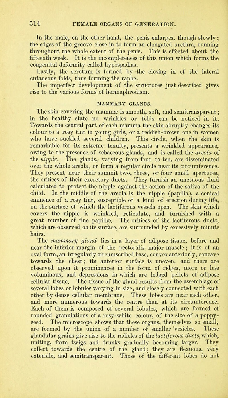 In the male, on the other hand, the penis enlarges, though slowly; the edges of the groove close in to form an elongated urethra, running throughout the whole extent of the penis. This is effected about the fifteenth week. It is the incompleteness of this union which forms the congenital deformity called hypospadias. Lastly, the scrotum is formed by the closing in of the lateral cutaneous folds, thus forming the raphe. The imperfect development of the structures just described gives rise to the various forms of hermaphrodism. MAMMARY GLANDS. The skin covering the mammae is smooth, soft, and semitransparent; in the healthy state no wrinkles or folds can be noticed in it. Towards the central part of each mamma the skin abruptly changes its colour to a rosy tint in young girls, or a reddish-brown one in women who have suckled several children. This circle, when the skin is remarkable for its extreme tenuity, presents a wrinkled appearance, owing to the presence of sebaceous glands, and is called the areola of the nipple. The glands, varying from four to ten, are disseminated over the whole areola, or form a regular circle near its circumference. They present near their summit two, three, or four small apertures, the orifices of their excretory ducts. They furnish an unctuous fluid calculated to protect the nipple against the action of the saliva of the child. In the middle of the areola is the nipple (papilla), a conical eminence of a rosy tint, susceptible of a kind of erection during life, on the surface of which the lactiferous vessels open. The skin which covers the nipple is wrinkled, reticulate, and furnished with a great number of fine papillae. The orifices of the lactiferous ducts, which are observed on its surface, are surrounded by excessively minute hairs. The mammary gland lies in a layer of adipose tissue, before and near the inferior margin of the pectoralis major muscle; it is of an oval form, an irregularly circumscribed base, convex anteriorly, concave towards the chest; its anterior surface is uneven, and there are observed upon it prominences in the form of ridges, more or less voluminous, and depressions in which are lodged pellets of adipose cellular tissue. The tissue of the gland results from the assemblage of several lobes or lobules varying in size, and closely connected with each other by dense cellular membrane. These lobes are near each other, and more numerous towards the centre than at its circumference. Each of them is composed of several lobules, which are formed of rounded granulations of a rosy-white colour, of the size of a poppy- seed. The microscope shows that these organs, themselves so small, are formed by the union of a number of smaller vesicles. These glandular grains give rise to the radicles of the lactiferous ducts, which, uniting, form twigs and trunks gradually becoming larger. They collect towards the centre of the gland; they are flexuous, very extensile, and semitransparent. Those of the different lobes do not