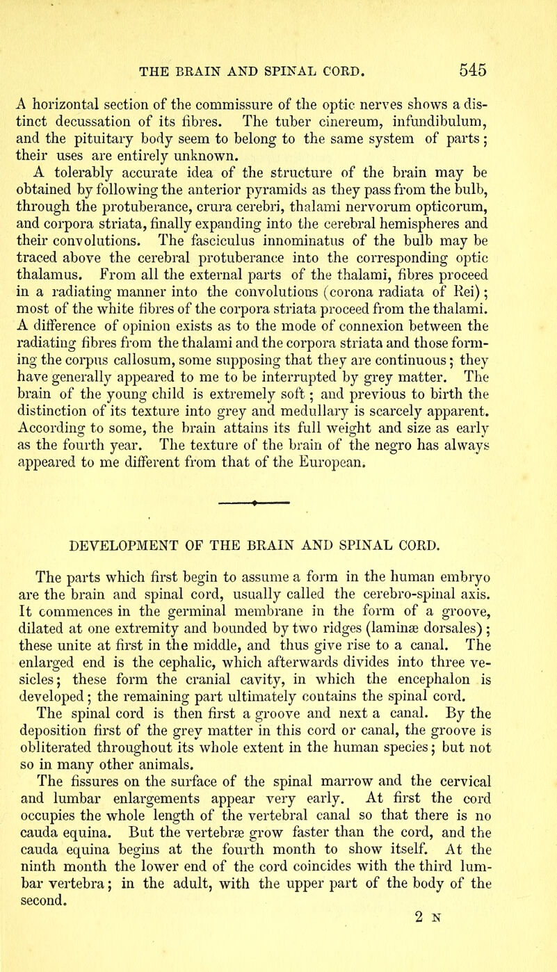 A horizontal section of the commissure of the optic nerves shows a dis- tinct decussation of its fibres. The tuber cinereum, infundibulum, and the pituitary body seem to belong to the same system of parts; their uses are entirely unknown. A tolerably accurate idea of the structure of the brain may be obtained by following the anterior pyramids as they pass from the bulb, through the protuberance, crura cerebri, thalami nervorum opticorum, and corpora striata, finally expanding into the cerebral hemispheres and their convolutions. The fasciculus innominatus of the bulb may be traced above the cerebral protuberance into the corresponding optic thalamus. From all the external parts of the thalami, fibres proceed in a radiating manner into the convolutions (corona radiata of Rei); most of the white fibres of the corpora striata proceed from the thalami. A difference of opinion exists as to the mode of connexion between the radiating fibres from the thalami and the corpora striata and those form- ing the corpus callosum, some supposing that they are continuous; they have generally appeared to me to be interrupted by grey matter. The brain of the young child is extremely soft; and previous to birth the distinction of its texture into grey and medullary is scarcely apparent. According to some, the brain attains its full weight and size as early as the fourth year. The texture of the brain of the negro has always appeared to me different from that of the European. DEVELOPMENT OF THE BRAIN AND SPINAL CORD. The parts which first begin to assume a form in the human embryo are the brain and spinal cord, usually called the cerebro-spinal axis. It commences in the germinal membrane in the form of a groove, dilated at one extremity and bounded by two ridges (laminae dorsales); these unite at first in the middle, and thus give rise to a canal. The enlarged end is the cephalic, which afterwards divides into three ve- sicles; these form the cranial cavity, in which the encephalon is developed; the remaining part ultimately contains the spinal cord. The spinal cord is then first a groove and next a canal. By the deposition first of the grey matter in this cord or canal, the groove is obliterated throughout its whole extent in the human species; but not so in many other animals. The fissures on the surface of the spinal marrow and the cervical and lumbar enlargements appear very early. At first the cord occupies the whole length of the vertebral canal so that there is no cauda equina. But the vertebrae grow faster than the cord, and the cauda equina begins at the fourth month to show itself. At the ninth month the lower end of the cord coincides with the third lum- bar vertebra; in the adult, with the upper part of the body of the second. 2 N