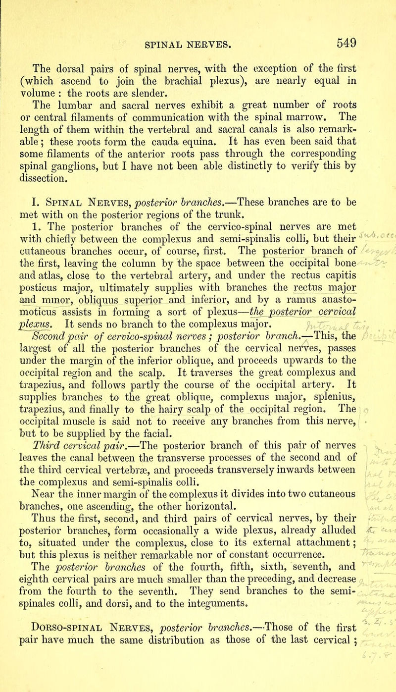 The dorsal pairs of spinal nerves, with the exception of the first (which ascend to join the brachial plexus), are nearly equal in volume : the roots are slender. The lumbar and sacral nerves exhibit a great number of roots or central filaments of communication with the spinal marrow. The length of them within the vertebral and sacral canals is also remark- able ; these roots form the cauda equina. It has even been said that some filaments of the anterior roots pass through the corresponding spinal ganglions, but I have not been able distinctly to verify this by dissection. I. Spinal Nerves, posterior branches.—These branches are to be met with on the posterior regions of the trunk. 1. The posterior branches of the cervico-spinal nerves are met with chiefly between the complexus and semi-spinalis colli, but their cutaneous branches occur, of course, first. The posterior branch of the first, leaving the column by the space between the occipital bone and atlas, close to the vertebral artery, and under the rectus capitis posticus major, ultimately supplies with branches the rectus major and minor, obliquus superior and inferior, and by a ramus anasto- moticus assists in forming a sort of plexus—the posterior cervical It sends no branch to the complexus major. Second pair of cervico-spinal nerves; posterior branch.—This, the largest of all the posterior branches of the cervical nei‘ves, passes under the margin of the inferior oblique, and proceeds upwards to the occipital region and the scalp. It traverses the great complexus and trapezius, and follows partly the course of the occipital artery. It supplies branches to the great oblique, complexus major, splenius, trapezius, and finally to the hairy scalp of the occipital region. The occipital muscle is said not to receive any branches from this nerve, but to be supplied by the facial. Third cervical pair.—The posterior branch of this pair of nerves leaves the canal between the transverse processes of the second and of the third cervical vertebrae, and proceeds transversely inwards between the complexus and semi-spinalis colli. Near the inner margin of the complexus it divides into two cutaneous branches, one ascending, the other horizontal. Thus the first, second, and third pairs of cervical nerves, by their posterior branches, form occasionally a wide plexus, already alluded to, situated under the complexus, close to its external attachment; but this plexus is neither remarkable nor of constant occurrence. The posterior branches of the fourth, fifth, sixth, seventh, and eighth cervical pairs are much smaller than the preceding, and decrease from the fourth to the seventh. They send branches to the semi- spinal es colli, and dorsi, and to the integuments. it Dorso-spinal Nerves, posterior branches.—Those of the first pair have much the same distribution as those of the last cervical ;